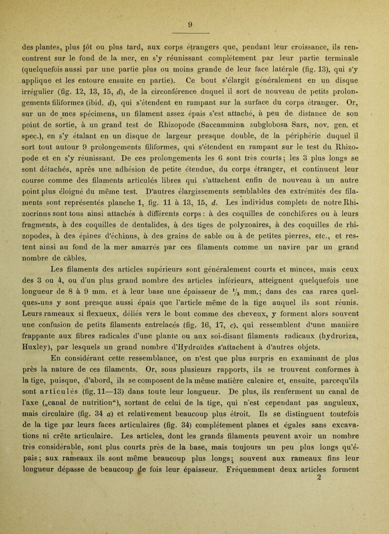 des plantes, plus fôt ou plus tard, aux corps étrangers que, pendant leur croissance, ils ren- contrent sur le fond de la mer, en s’y réunissant complètement par leur partie terminale (quelquefois aussi par une partie plus ou moins grande de leur face latérale (fig. 13), qui s’y applique et les entoure ensuite en partie). Ce bout s’élargit généralement en un disque irrégulier (fig. 12, 13, 15, d), de la circonférence duquel il sort de nouveau de petits prolon- gements filiformes (ibid. d), qui s’étendent en rampant sur la surface du corps étranger. Or, sur un de mes spécimens, un filament assez épais s’est attaché, à peu de distance de son point de sortie, à un grand test de Rhizopode (Saccammina subglobosa Sars, nov. gen. et spec.), en s’y étalant en un disque de largeur presque double, de la périphérie duquel il sort tout autour 9 prolongements filiformes, qui s’étendent en rampant sur le test du Rhizo- pode et en s’y réunissant. De ces prolongements les 6 sont très courts ; les 3 plus longs se sont détachés, après une adhésion de petite étendue, du corps étranger, et continuent leur course comme des filaments articulés libres qui s’attachent enfin de nouveau à un autre point plus éloigné du même test. D’autres élargissements semblables des extrémités des fila- ments sont représentés planche 1, fig. 11 à 13, 15, d. Les individus complets de notre Rhi- zocrinus sont tous ainsi attachés à différents corps : à des coquilles de conchifères ou à leurs fragments, à des coquilles de dentalides, à des tiges de polyzoaires, à des coquilles de rhi- zopodes, à des épines d’échinus, à des grains de sable ou à de petites pierres, etc., et res- tent ainsi au fond de la mer amarrés par ces filaments comme un navire par un grand nombre de câbles. Les filaments des articles supérieurs sont généralement courts et minces, mais ceux des 3 ou 4, ou d’un plus grand nombre des articles inférieurs, atteignent quelquefois une longueur de 8 à 9 mm. et à leur base une épaisseur de '/a mm.; dans des cas rares quel- ques-uns y sont presque aussi épais que l’article même de la tige auquel ils sont réunis. Leurs rameaux si flexueux, déliés vers le bout comme des cheveux, y forment alors souvent une confusion de petits filaments entrelacés (fig. 16, 17, c), qui ressemblent d’une manière frappante aux fibres radicales d’une plante ou aux soi-disant filaments radicaux (hydroriza, Huxley), par lesquels un grand nombre d’Hydroïdes s’attachent à d’autres objets. En considérant cette ressemblance, on n’est que plus surpris en examinant de plus près la nature de ces filaments. Or, sous plusieurs rapports, ils se trouvent conformes à la tige, puisque, d’abord, ils se composent delà même matière calcaire et, ensuite, parcequ’ils sont articulés (fig. 11—13) dans toute leur longueur. De plus, ils renferment un canal de l’axe („canal de nutrition), sortant de celui de la tige, qui n’est cependant pas anguleux, mais circulaire (fig. 34 a) et relativement beaucoup plus étroit. Ils se distinguent toutefois de la tige par leurs faces articulaires (fig. 34) complètement planes et égales sans excava- tions ni crête articulaire. Les articles, dont les grands filaments peuvent avoir un nombre très considérable, sont plus courts près de la base, mais toujours un peu plus longs qu’é- pais ; aux rameaux ils sont même beaucoup plus longs ^ souvent aux rameaux fins leur longueur dépasse de beaucoup de fois leur épaisseur. Fréquemment deux articles forment 2
