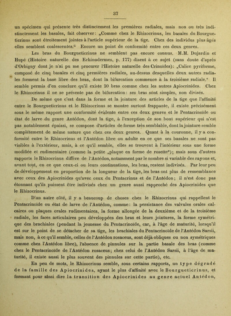 un spécimen qui présente très distinctement les premières radiales, mais non ou très indi- stinctement les basales, fait observer : „Comme chez le Rhizocrinus, les basales du Bourgue- ticrinus sont étroitement jointes à l’article supérieur de la tige. Chez des individus plus âgés elles semblent coalescentes.“ Encore un point de conformité entre ces deux genres. Les bras du Bourgueticrinus ne semblent pas encore connus. M.M. Dujardin et Hupé (Histoire naturelle des Echinodermes, p. 177) disent à ce sujet (sans doute d’après d’Orbigny dont je n’ai pu me procurer l’Histoire naturelle des Crinoïdes) : „Calice pyriforme, composé de cinq basales et cinq premières radiales, au-dessus desquelles deux autres radia- les forment la base libre des bras, dont la bifurcation commence à la troisième radiale. Il semble permis d’en conclure qu’il existe 10 bras comme chez les autres Apiocrinides. Chez le Rhizocrinus il ne se présente pas de bifurcation : ses bras sont simples, non divisés. De même que c’est dans la forme et la jointure des articles de la tige que l’affinité entre le Bourgueticrinus et le Rhizocrinus se montre surtout frappante, il existe précisément sous le même rapport une conformité évidente entre ces deux genres et le Pentacrinoïde ou état de larve du genre Antédon, dont la tige, à l’exception de son bout supérieur qui n’est pas notablement épaissi, se compose d’articles de forme très semblable, dont la jointure semble complètement de même nature que chez ces deux genres. Quant à la couronne, il y a con- formité entre le Rhizocrinus et l’Antédon libre ou adulte en ce que ses basales ne sont pas visibles à l’extérieur, mais, à ce qu’il semble, elles se trouvent à l’intérieur sous une forme modifiée et rudimentaire (comme la petite „plaque en forme de rosette); mais sous d’autres rapports le Rhizocrinus diffère de l’Antédon, notamment par le nombre si variable des rayons et, avant tout, en ce que ceux-ci ou leurs continuations, les bras, restent indivisés. Par leur peu de développement en proportion de la longueur de la tige, les bras ont plus de ressemblance avec ceux des Apiocrinides qu’avec ceux du Pentacrinus et de l’Antédon ; il n’est donc pas étonnant qu’ils puissent être indivisés chez un genre aussi rapproché des Apiocrinides que le Rhizocrinus. D’un autre côté, il y a beaucoup de choses chez le Rhizocrinus qui rappellent le Pentacrinoïde ou état de larve de l’Antédon, comme: la persistance des valvules orales cal- caires ou plaques orales rudimentaires, la forme allongée de la deuxième et de la troisième radiale, les faces articulaires peu développées des bras et leurs jointures, la forme symétri- que des brachiales (pendant la jeunesse du Pentacrinoïde, car, à l’âge de maturité, lorsqu’il est sur le point de se détacher de sa tige, les brachiales du Pentacrinoïde de l’Antédon Sarsii, mais non, à ce qu’il semble, celles de l’Antédon rosaceus, sont déjà obliques ou non symétriques comme chez l’Antédon libre), l’absence de pinnules sur la partie basale des bras (comme chez le Pentacrinoïde de l’Antédon rosaceus; chez celui de l’Antédon Sarsii, à l’âge de ma- turité, il existe aussi le plus souvent des pinnules sur cette partie), etc. En peu de mots, le Rhizocrinus semble, sous certains rapports, un type dégradé de la famille des Apiocrinides, ayant le plus d’affinité avec le Bourgueticrinus, et formant pour ainsi dire la transition des Apiocrinides au genre actuel Antédon,