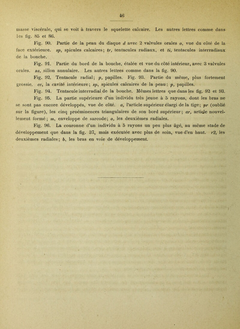 masse viscérale, qui se voit à travers le squelette calcaire. Les autres lettres comme dans les fig. 85 et 86. Fig. 90. Partie de la peau du disque d avec 2 valvules orales o, vue du côté de la face extérieure, sjo, spiculés calcaires; tr, tentacules radiaux, et ti, tentacules interradiaux de la bonche. Fig. 91. Partie du bord de la bouche, étalée et vue du côté intérieur, avec 3 valvules orales, sa, sillon annulaire. Les autres lettres comme dans la fig. 90. Fig. 92. Tentacule radial; p, papilles. Fig. 93. Partie du même, plus fortement grossie, co, la cavité intérieure; sp, spiculés calcaires de la peau; p, papilles. Fig. 94. Tentacule interradial de la bouche. Mêmes lettres que dans les fig. 92 et 93. Fig. 95. La partie supérieure d’un individu très jeune à 5 rayons, dont les bras ne se sont pas encore développés, vue de côté, a, l’article supérieur élargi de la tige; pr (oublié sur la figure), les cinq proéminences triangulaires de son bord supérieur; ar, artide nouvel- lement formé; m, enveloppe de sarcode; o, les deuxièmes radiales. Fig. 96. La couronne d’un individu à 5 rayons un peu plus âgé, au même stade de développement que dans la fig. 37, mais exécutée avec plus de soin, vue d’en haut. r2, les deuxièmes radiales; 6, les bras en voie de développement.