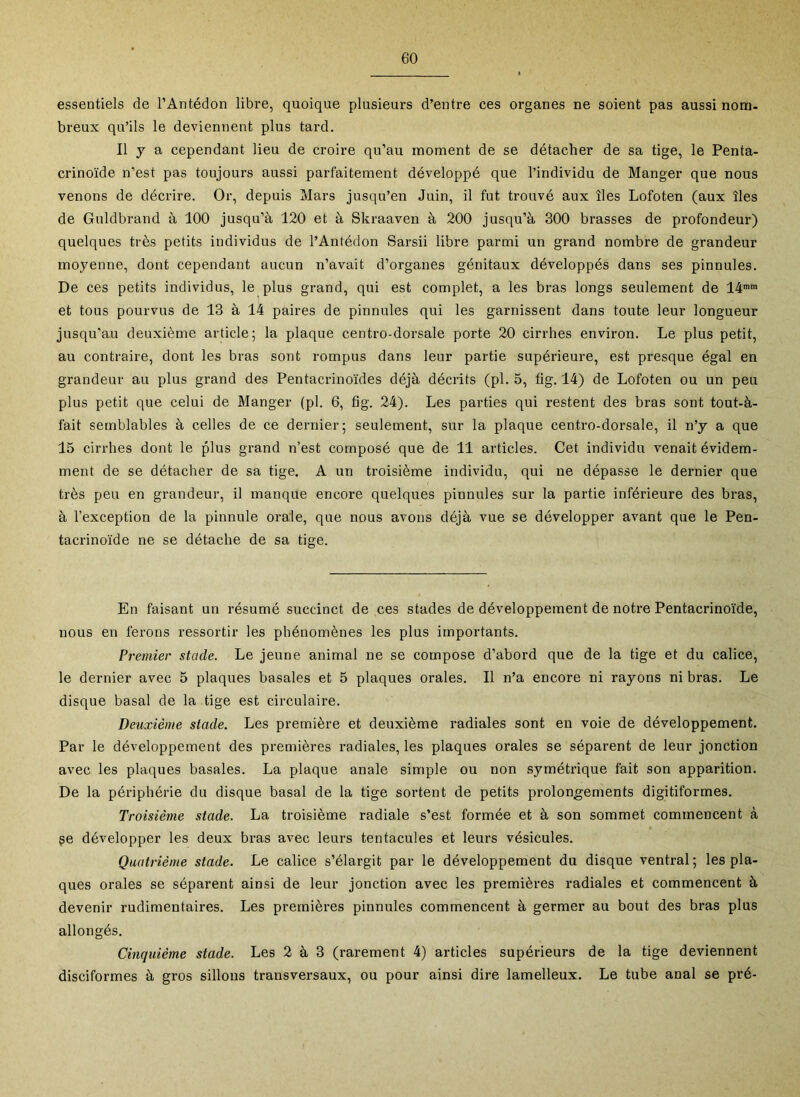 essentiels de l’Antédon libre, quoique plusieurs d’entre ces organes ne soient pas aussi nom- breux qu’ils le deviennent plus tard. Il y a cependant lieu de croire qu’au moment de se détacher de sa tige, le Penta- crinoïde n’est pas toujours aussi parfaitement développé que l’individu de Manger que nous venons de décrire. Or, depuis Mars jusqu’en Juin, il fut trouvé aux îles Lofoten (aux îles de Guldbrand à 100 jusqu’à 120 et à Skraaven à 200 jusqu’à 300 brasses de profondeur) quelques très petits individus de l’Antédon Sarsii libre parmi un grand nombre de grandeur moyenne, dont cependant aucun n’avait d’organes génitaux développés dans ses pinnules. De ces petits individus, le plus grand, qui est complet, a les bras longs seulement de 14“* et tous pourvus de 13 à 14 paires de pinnules qui les garnissent dans toute leur longueur jusqu’au deuxième article; la plaque centro-dorsale porte 20 cirrhes environ. Le plus petit, au contraire, dont les bras sont rompus dans leur partie supérieure, est presque égal en grandeur au plus grand des Pentacrinoïdes déjà décrits (pl. 5, fig. 14) de Lofoten ou un peu plus petit que celui de Manger (pl. 6, fig. 24). Les parties qui restent des bras sont tout-à- fait semblables à celles de ce dernier; seulement, sur la plaque centro-dorsale, il n’y a que 15 cirrhes dont le plus grand n’est composé que de 11 articles. Cet individu venait évidem- ment de se détacher de sa tige. A un troisième individu, qui ne dépasse le dernier que très peu en grandeur, il manque encore quelques pinnules sur la partie inférieure des bras, à l’exception de la pinnule orale, que nous avons déjà vue se développer avant que le Pen- tacrinoïde ne se détache de sa tige. En faisant un résumé succinct de ces stades de développement de notre Pentacrinoïde, nous en ferons ressortir les phénomènes les plus importants. Premier stade. Le jeune animal ne se compose d’abord que de la tige et du calice, le dernier avec 5 plaques basales et 5 plaques orales. Il n’a encore ni rayons ni bras. Le disque basal de la tige est circulaire. Deuxième stade. Les première et deuxième radiales sont en voie de développement. Par le développement des premières radiales, les plaques orales se séparent de leur jonction avec les plaques basales. La plaque anale simple ou non symétrique fait son apparition. De la périphérie du disque basal de la tige sortent de petits prolongements digitiformes. Troisième stade. La troisième radiale s’est formée et à son sommet commencent à ge développer les deux bras avec leurs tentacules et leurs vésicules. Quatrième stade. Le calice s’élargit par le développement du disque ventral; les pla- ques orales se séparent ainsi de leur jonction avec les premières radiales et commencent à devenir rudimentaires. Les premières pinnules commencent à germer au bout des bras plus allongés. Cinquième stade. Les 2 à 3 (rarement 4) articles supérieurs de la tige deviennent disciformes à gros sillons transversaux, ou pour ainsi dire lamelleux. Le tube anal se pré-