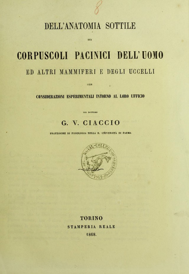 digitised image 1