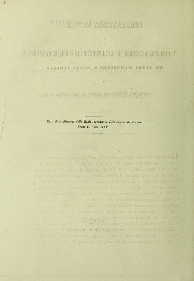 digitised image 2