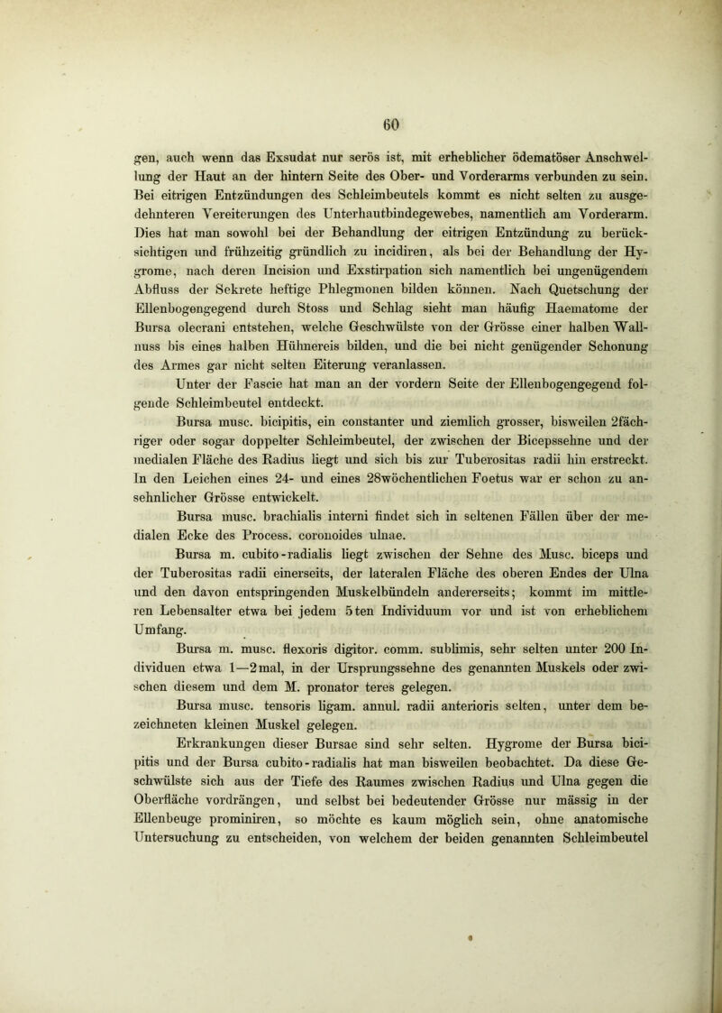 gen, auch wenn das Exsudat nur serös ist, mit erheblicher ödematöser Anschwel- lung der Haut an der hintern Seite des Ober- und Vorderarms verbunden zu sein. Bei eitrigen Entzündungen des Schleimbeutels kommt es nicht selten zu ausge- dehnteren Vereiterungen des Unterhautbindegewebes, namentlich am Vorderarm. Dies hat man sowohl bei der Behandlung der eitrigen Entzündung zu berück- sichtigen und frühzeitig gründlich zu incidiren, als bei der Behandlung der Hy- grome, nach deren Incision und Exstirpation sich namentlich bei ungenügendem Abfluss der Sekrete heftige Phlegmonen bilden können. Nach Quetschung der Ellenbogengegend durch Stoss und Schlag sieht mau häufig Haematome der Bursa olecrani entstehen, welche Geschwülste von der Grösse einer halben Wall- nuss bis eines halben Hühnereis bilden, und die bei nicht genügender Schonung des Armes gar nicht selten Eiterung veranlassen. Unter der Fascie hat man an der vordem Seite der Ellenbogengegend fol- gende Schleimbeutel entdeckt. Bursa musc. bicipitis, ein constanter und ziemlich grosser, bisweilen 2fäch- riger oder sogar doppelter Schleimbeutel, der zwischen der Bicepssehne und der medialen Fläche des Radius liegt und sich bis zur Tuberositas radii hin erstreckt, ln den Leichen eines 24- und eines 28wöchentlichen Foetus war er schon zu an- sehnlicher Grösse entwickelt. Bursa musc. brachialis interni findet sich in seltenen Fällen über der me- dialen Ecke des Process. coronoides ulnae. Bursa m. cubito-radiahs liegt zwischen der Sehne des Musc. biceps und der Tuberositas radii einerseits, der lateralen Fläche des oberen Endes der Ulna lind den davon entspringenden Muskelbündeln andererseits; kommt im mittle- ren Lebensalter etwa bei jedem 5ten Individuum vor und ist von erheblichem Umfang. Bm’sa m. musc. flexoris digitor. comm. sublimis, sehr selten unter 200 In- dividuen etwa 1—2 mal, in der Ursprungssehne des genannten Muskels oder zwi- schen diesem und dem M. pronator teres gelegen. Bursa musc. tensoris ligam. annul. radii anterioris selten, unter dem be- zeichneten kleinen Muskel gelegen. Erkrankungen dieser Bursae sind sehr selten. Hygrome der Bursa bici- pitis und der Bursa cubito - radialis hat man bisweilen beobachtet. Da diese Ge- schwülste sich aus der Tiefe des Raumes zwischen Radius und Ulna gegen die Oberfläche vordrängen, und selbst bei bedeutender Grösse nur mässig in der EUenbeuge prominiren, so möchte es kaum möglich sein, ohne anatomische Untersuchung zu entscheiden, von welchem der beiden genannten Schleimbeutel «