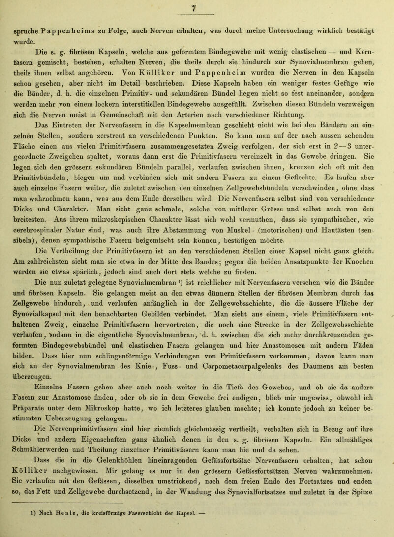 Spruche Pappen heims zu Folge, auch Nerven erlialten, was durch meine Untersuchung wirklich bestätigt wurde. Die s. g. fibrösen Kapseln, welche aus geformtem Bindegewebe mit wenig elastischen — und Kern- fasern gemischt, bestehen, erhalten Nerven, die theils durch sie hindurch zur Synovialmembran gehen, theils ihnen selbst angehören. Von Kölliker und Pappenheim wurden die Nerven in den Kapseln schon gesehen, aber nicht im Detail beschrieben. Diese Kapseln haben ein weniger festes Gefüge wie die Bänder, d. h. die einzelnen Primitiv- und sekundären Bündel liegen nicht so fest aneinander, sondern werden mehr von einem lockern interstitiellen Bindegewebe ausgefüllt. Zwischen diesen Bündeln verzweigen sich die Nerven meist in Gemeinschaft mit den Arterien nach verschiedener Richtung. Das Eintreten der Nervenfasern in die Kapselmembran geschieht nicht wie bei den Bändern an ein- zelnen Stellen, somlern zerstreut an verschiedenen Punkten. So kann man auf der nach aussen sehenden Fläche einen aus vielen Primitivfasern zusammengesetzten Zweig verfolgen, der sich erst in 2 — 3 unter- geordnete Zweigehen spaltet, woraus dann erst die Primitivfasern vereinzelt in das Gewebe dringen. Sie legen sich den grössern sekundären Bündeln parallel, verlaufen zwischen ihnen, kreuzen sich oft mit den Primitivbündeln, biegen um und verbinden sich mit andern Fasern zu einem Geflechte. Es laufen aber auch einzelne Fasern weiter, die zuletzt zwischen den einzelnen Zellgewebsbündeln verschwinden, ohne dass man wahrnehmen kann, was aus dem Ende derselben wird. Die Nervenfasern selbst sind von verschiedener Dicke und Charakter. Man sieht ganz schmale, solche von mittlerer Grösse und selbst auch von den breitesten. Aus ihrem mikroskopischen Charakter lässt sich wohl vermuthen, dass sie sympathischer, wie cerebrospinaler Natur sind, was auch ihre Abstammung von Muskel - (motorischen) und Hautästen (sen- sibeln), denen sympathische Fasern beigemischt sein können, bestätigen möchte. Die Vertheilung der Primitivfasern ist an den verschiedenen Stellen einer Kapsel nicht ganz gleich. Am zahlreichsten sieht man sie etwa in der Mitte des Bandes: gegen die beiden Ansatzpunkte der Knochen werden sie etwas spärlich, jedoch sind auch dort stets welche zu finden. Die nun zuletzt gelegene Synovialmembran i) ist reichlicher mit Nervenfasern versehen wie die Bänder und fibrösen Kapseln. Sie gelangen meist an den etwas dünnem Stellen der fibrösen Membran durch das Zellgewebe hindurch, ,und verlaufen anfänglich in der Zellgewebsschichte, die die äussere Fläche der Synovialkapsel mit den benachbarten Gebilden verbindet. Man sieht aus einem, viele Primitlv’fasern ent- haltenen Zweig, einzelne Primitivfasern hervortreten, die noch eine Strecke ln der Zellgewebsschichte verlaufen, 'sodann in die eigentliche Synovialmembran, d. h. zwischen die sich mehr durchkreuzenden ge- formten Bindegewebsbündel und elastischen Fasern gelangen und hier Anastomosen mit andern Fäden bilden. Dass hier nun schllngenförmige Verbindungen von Primitivfasern verkommen, davon kann man sich an der Synovialmembran des Knie-, Fuss- und Carpometacarpalgelenks des Daumens am besten überzeugen. Einzelne Fasern gehen aber auch noch weiter in die Tiefe des Gewebes, und ob sie da andere Fasern zur Anastomose finden, oder ob sie in dem Gewebe frei endigen, blieb mir ungewiss, obwohl ich Präparate unter dem Mikroskop hatte, wo ich letzteres glauben mochte; ich konnte jedoch zu keiner be- stimmten Ueberzeugung gelangen. Die Nervenprimitivfasern sind hier ziemlich gleicbmässig vertheilt, verhalten sich in Bezug auf ihre Dicke und andern Eigenschaften ganz ähnlich denen in den s. g. fibrösen Kapseln. Ein allmähliges Schtnählerwerden und Theilung einzelner Primitivfasern kann man hie und da sehen. Dass die in die Gelenkhöhlen hineinragenden Gefässfortsätze Nervenfasern erhalten, hat schon Kölliker nachgewiesen. Mir gelang es nur in den grössern Gefässfortsätzen Nerven wahrzunehmen. Sie verlaufen mit den Gefässen, dieselben umstrickend, nach dem freien Ende des Fortsatzes und enden so, das Fett und Zellgewebe durchsetzend, in der Wandung des Synovialfortsatzes und zuletzt in der Spitze 1) Nach He nie, die kreisförmige Faserschicht der Kapsel. —