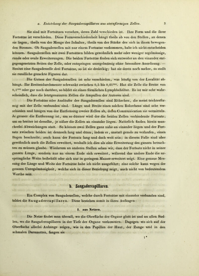 Sie sind mit Fortsätzen versehen, deren Zahl verschieden ist. Ihre Form und die ihrer Fortsätze ist verschieden. Diese Formverschiedenheit hängt theils ab von den Stellen, an denen sie liegen, theils von der Menge des Inhaltes, theils von der Stärke des sich in ihnen bevvegen- den Stromes. Ob Saugaderzellen mit nur einem Fortsatze verkommen, habe ich nicht entscheiden können. Saugaderzellen mit zwei Fortsätzen bilden gewöhnlich mehr oder weniger regelmässige, runde oder ovale Erweiterungen. Die beiden Fortsätze finden sich entweder an den einander ent- gegengesetzten Seiten der Zelle, oder entspringen unregelmässig ohne besondere Anordnung. — Besitzt eine Saugaderzelle drei Fortsätze, so ist sie dreieckig; hat sie deren noch mehre, so stellt sie rundliche gezackte Figuren dar. Die Grösse der Saugaderzellen ist sehr verschieden, was häufig von der Localität ab- hängt. Ihr Breitendurchmesser schwankt zwischen 0,5 bis 0,01'“'“. Hat die Zelle die Breite von 0,1'“' oder gar noch darüber, so bildet sie einen förmlichen Lymphbehälter. Es ist mir sehr wahr- scheinlich, dass die letztgenannten Zellen die Ampullen der Autoren sind. Die Fortsätze oder Ausläufer der Saugaderzeilen sind Röhrchen , die meist trichterför- mig mit der Zelle verbunden sind. Länge und Breite eines solchen Röhrchens sind sehr ver- schieden und hängen von der Entfernung zweier Zellen ab, deren Communication sie vermitteln. Je grösser die Entfernung ist, um so dünner wird der die beiden Zellen verbindende Fortsatz; um so breiter ist derselbe, je näher die Zellen an einander liegen. Natürlich finden hierin man- cherlei Abweichungen statt. So können zwei Zellen ganz nahe an einander liegen und der Fort- satz zwischen beiden ist dennoch lang und dünn, indem er, anstatt gerade zu verlaufen, einen Bogen beschreibt; auch kann der Fortsatz lang und doch weit sein; in diesem Falle sind aber gewöhnlich auch die Zellen erweitert, weshalb ich dies als eine Erweiterung des ganzen betrach- ten zu müssen glaube. Wiederum an anderen Stellen sehen wir, dass der Fortsatz nicht in seiner ganzen Länge, sondern nur an einem Ende sich erweitert, während das andere Ende die ur- sprüngliche Weite beibehält oder sich nur in geringem Maasse erweitert zeigt. Eine genaue Mes- sung der Länge und Weite der Fortsätze habe ich nicht ausgeführt; eine solche kann wegen der grossen Unregelmässigkeit, welche sich in dieser Beziehung zeigt, auch nicht von bedeutendem Werthe sein. b. Sangadercapillaren. Ein Coraplex von Saugaderzellen, welche durch Fortsätze mit einander verbunden sind, bildet die Saugadercapillaren. Diese bestehen somit in ihren Anfängen: 1. aus Netzen. Die Netze findet man überall, wo die Oberfläche der Organe glatt ist und an allen Stel- len, wo die Saugadercapillaren in der Tiefe der Organe Vorkommen. Dagegen wo sich auf der Oberfläche allerlei Anhänge zeigen, wie in den Papillen der Haut, der Zunge und in den schmalen Darmzotten, fangen sie 1