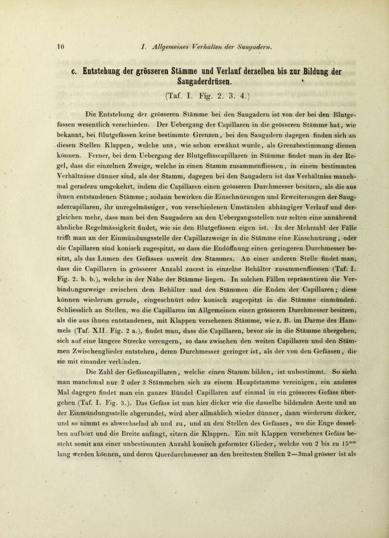 c. Entstehung der grösseren Stämme und Verlauf derselben bis zur Bildung der Saugaderdrüsen. ‘ (Taf. I. Fig. 2. 3. 4.) Die Entstehung der grösseren Stämme bei den Saugadern ist von der bei den Blutge- fässen wesentlich verschieden. Der Uebergang der Capillaren in die grösseren Stämme hat, wie bekannt, bei Blutgefässen keine bestimmte Grenzen, bei den Saugadern dagegen finden sich aii diesen Stellen Klappen, welche uns, wie schon erwähnt wurde, als Grenzbestimmung dienen können. Ferner, bei dem Uebergang der Blutgefässcapillaren in Stämme findet man in der Re- gel, dass die einzelnen Zweige, welche in einen Stamm zusammenfliessen, in einem bestimmten Verhältnisse dünner sind, als der Stamm, dagegen bei den Saugadern ist das Verhältniss manch- mal geradezu umgekehrt, indem die Capillaren einen grösseren Durchmesser besitzen, als die aus ihnen entstandenen Stämme; sodaiin bewirken die Einschnürungen und Erweiterungen der Saug- adercapillaren, ihr unregelmässiger, von verschiedenen Umständen abhängiger Verlauf und der- gleichen mehr, dass man bei den Saugadern an den Uebergangsstellen nur selten eine annährend ähnliche Regelmässigkeit findet, wie sie den Blutgefässen eigen ist. In der Mehrzahl der Fälle trifft man an der Einmündungsstelle der Capillarzweige in die Stämme eine Einschnürung, oder die Capillaren sind konisch zugespitzt, so dass die Endöffnung einen geringeren Durchmesser be- sitzt, als das Lumen des Gefä.sses unweit des Stammes. An einer anderen Stelle findet man, dass die Capillaren in grösserer Anzahl zuerst in einzelne Behälter zusammenfliessen (Taf. I. Fig. 2. b. b.), welche in der Nähe der Stämme liegen. In solchen Fällen repräsentiren die Ver- bindungszweige zwischen dem Behälter und den Stämmen die Enden der Capillaren; diese können wiederum gerade, eingeschnürt oder konisch zugespitzt in die Stämme einmünden. Schliesslich an Stellen, wo die Capillaren im Allgemeinen einen grösseren Durchmesser besitzen, als die aus ihnen entstandenen, mit Klappen versehenen Stämme, wie z. B. im Darme des Ham- mels (Taf. XII. Fig. 2 a.), findet man, dass die Capillaren, bevor sie in die Stämme übergehen, sich auf eine längere Strecke verengern, so dass zwischen den weiten Capillaren und den Stäm- men Zwischenglieder entstehen, deren Durchmesser geringer ist, als der von den Gefässen, die sie mit einander verbinden. Die Zahl der Gefässcapillaren, welche einen Stamm bilden, ist unbestimmt. So sieht man manchmal nur 2 oder 3 Stämmchen sich zu einem Hauptstamme vereinigen, ein anderes Mal dagegen findet man ein ganzes Bündel Capillaren auf einmal in ein grösseres Gefäss über- gehen (Taf. I. Fig. 3.). Das Gefäss ist nun hier dicker wie die dasselbe bildenden Aeste und an der Einmündungsstelle abgerundet, wird aber allmählich wieder dünner, dann wiederum dicker, und so nimmt es abwechselnd ab und zu, und an den Stellen des Gefässes, wo die Enge dessel- ben aufhört und die Breite anfängt, sitzen die Klappen. Ein mit Klappen versehenes Gefäss be- steht somit aus einer unbestimmten Anzahl konisch geformter Glieder, welche von 2 bis zu 15'”' lang \Verden können, und deren Querdurchmesser an den breitesten Stellen 2—3mal grösser ist als