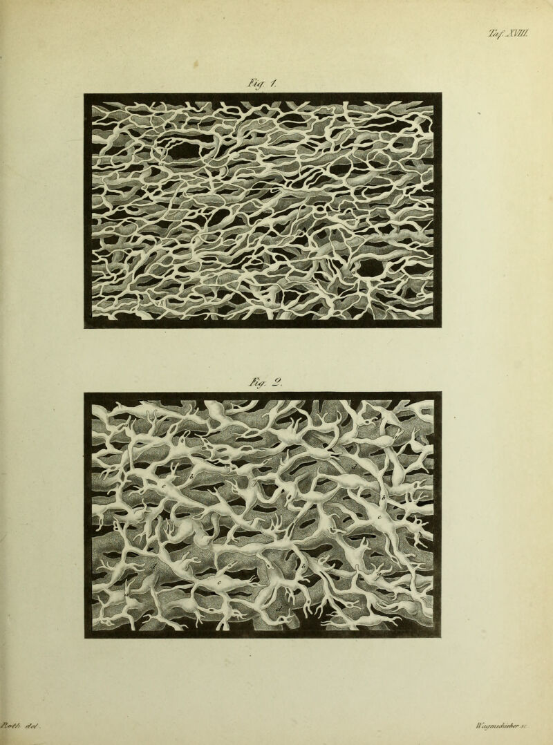 Ft</: 7. [I ^^Ar^^s^l^ur6r^ s.