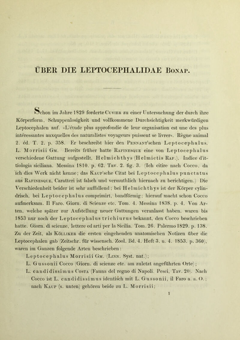 UBER DIE LEPTOCEPHALIDAE Bonap. ^chon im Jahre 1829 forderte Cuvier zu einer Untersuchung der durch ihre Körperform, Schuppenlosigkeit und vollkommene Durchsichtigkeit merkwürdigen Leptocephalen auf. »L’etude plus approfondie de leur Organisation est une des plus interessantes auxquelles des naturalistes voyageurs puissent se livrer«. Regne animal 2. ed. T. 2. p. 358. Er beschreibt hier den PENNANT’schen Leptocephalus, L. Morrisii Gm. Bereits früher hatte Rafinesque eine von Leptocephalus verschiedene Gattung aufgestellt, Helmichthys (Helmictis Raf.). Indice d’it- tiologia siciliana. Messina 1810. p. 62. Tav. 2. fig. 3. (Ich citire nach Cocco, da ich dies Werk nicht kenne; das KAUp’sche Citat bei Leptocephalus punctatus aus Rafinesque, Caratteri ist falsch und vermuthlich hiernach zu berichtigen.) Die Verschiedenheit beider ist sehr auffallend; bei Helmichthys ist der Körper cylin- drisch, bei Leptocephalus comprimirt, bandförmig; hierauf macht schon Cocco aufmerksam. II Laro. Giorn. di Scienze etc. Tom. 4. Messina 1838. p. 4. Von Ar- ten, welche später zur Aufstellung neuer Gattungen veranlasst haben, waren bis 1853 nur noch der Leptocephalus trichiurus bekannt, den Cocco beschrieben hatte. Giorn. di scienze, lettere ed arti per la Sicilia. Tom. 26. Palermo 1829. p. 138. Zu der Zeit, als Kölliker die ersten eingehenden anatomischen Notizen über die Leptocephalen gab (Zeitschr. für wissensch. Zool. Bd. 4. Heft 3. u. 4. 1853. p. 360), waren im Ganzen folgende Arten beschrieben: Leptocephalus Morrisii Gm. (Linn. Syst, nat.); L. Gussonii Cocco (Giorn. di scienze etc. am zuletzt angeführten Orte); L. candidissimus Costa (Launa del regno di Napoli. Pesci, Tav. 20). Nach Cocco istL. candidissimus identisch mit L. Gussonii, il Laro a. a. ().; nach Kaup (s. unten) gehören beide zu L. Morrisii; 1