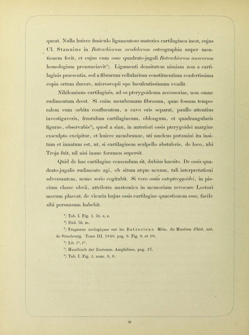 queat. Nulla liuicce funiculo ligamentoso materies cartilaginea inest, cujus Cl. Stannius in Batrachiorum urodelorum osteographia nuper men- tionem fecit, et cujus cum osse quadrato-jugali Batrachiorum anurorum homologiam pronunciavit5). Ligamenti densitatem nimiam non a carti- laginis praesentia, sed a fibrarum cellularium constituentium confertissima copia ortum ducere, microscopii ope luculentissimum evadit. Nihilominus cartilaginis, ad os pterygoideum accessoriae, non omne rudimentum deest. Si enim membranam fibrosam, quae fossam tempo- ralem cum orbita confluentem, a cavo oris separat, paullo attentius investigaveris, frustulum cartilagineum, oblongum, et quadrangularis figurae, observabis6), quod a sinu, in anteriori ossis pterygoidei margine exsculpto excipitur, et liuicce membranae, uti nucleus putamini ita insi- tum et innatum est, ut, si cartilaginem scalpello abstuleris, de loco, ubi Troja fuit, nil nisi inane foramen supersit. Quid de hac cartilagine censendum sit, dubius haesito. De ossis qua- drato-]ugalis rudimento agi, ob situm atque nexum, tali interpretationi adversantem, nemo serio cogitabit. Si vero ossis entopterygoidei, in pis- cium classe obvii, attributa anatomica in memoriam revocare Lectori mecum placeat, de vicaria hujus ossis cartilagine quaestionem esse, facile sibi persuasum habebit. ’) Tab. I. Fig. 1. Iit. e, e. 2) Ibid. Iit. m. 3) Fragmens zoologiques sur les B atra ciens. Mem. du Museum d’hist. nat. de Strasbourg. Tome III. 1840. pag. 9. Fig. 8. et 10. 4) Lit. i, i. 5) Handbuch der Zootomie. Amphibien. pag. 37. 6) Tab. I. Fig. 1. num. 8, 8.