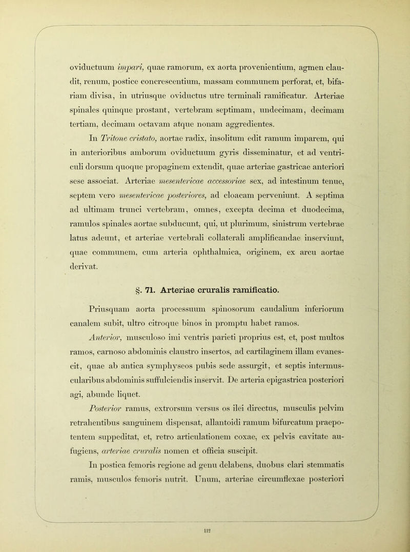oviductuum impari, quae ramorum, ex aorta provenientium, agmen clau- dit, renum, postice concrescentium, massam communem perforat, et, bifa- riam divisa, in utriusque oviductus utre terminali ramificatur. Arteriae spinales quinque prostant, vertebram septimam, undecimam, decimam tertiam, decimam octavam atque nonam aggredientes. In Tritone cristato, aortae radix, insolitum edit ramum imparem, qui in anterioribus amborum oviductuum gyris disseminatur, et ad ventri- culi dorsum quoque propaginem extendit, quae arteriae gastricae anteriori sese associat. Arteriae mesentericae accessoriae sex, ad intestinum tenue, septem vero mesentericae posteriores, ad cloacam perveniunt. A septima ad ultimam trunci vertebram, omnes, excepta decima et duodecima, ramulos spinales aortae subducunt, qui, ut plurimum, sinistrum vertebrae latus adeunt, et arteriae vertebrali collaterali amplificandae inserviunt, quae communem, cum arteria ophthalmica, originem, ex arcu aortae derivat. §. 71. Arteriae cruralis ramificatio. Priusquam aorta processuum spinosorum caudalium inferiorum canalem subit, ultro citroque binos in promptu habet ramos. Anterior, musculoso imi ventris parieti proprius est, et, post multos ramos, carnoso abdominis claustro insertos, ad cartilaginem illam evanes- cit, quae ab antica symphyseos pubis sede assurgit, et septis intermus- cularibus abdominis suffulciendis inservit. De arteria epigastrica posteriori agi, abunde liquet. Posterior ramus, extrorsum versus os ilei directus, musculis pelvim retrahentibus sanguinem dispensat, allantoidi ramum bifurcatum praepo- tentem suppeditat, et, retro articulationem coxae, ex pelvis cavitate au- fugiens, arteriae cruralis nomen et officia suscipit. In postica femoris regione ad genu delabens, duobus clari stemmatis ramis, musculos femoris nutrit. Unum, arteriae circumflexae posteriori