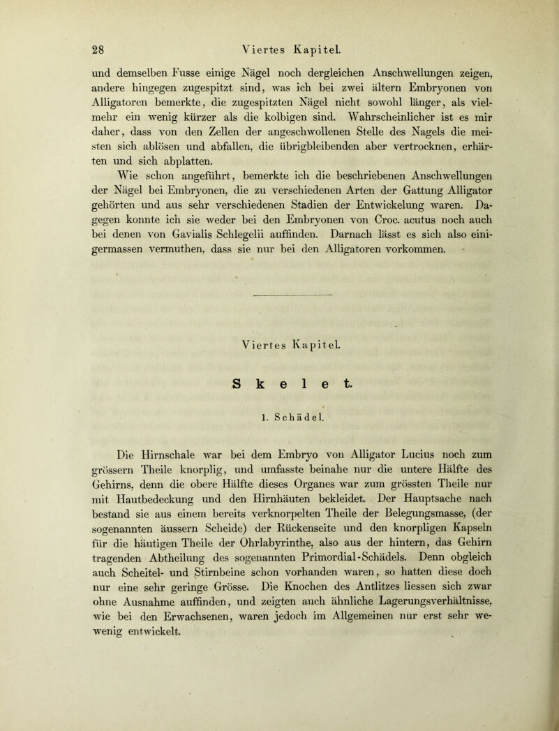 und demselben Fusse einige Nägel noch dergleichen Anschwellungen zeigen, andere hingegen zugespitzt sind, was ich bei zwei altern Embryonen von Alligatoren bemerkte, die zugespitzten Nägel nicht sowohl länger, als viel- mehr ein wenig kürzer als die kolbigen sind. Wahrscheinlicher ist es mir daher, dass von den Zellen der angeschwollenen Stelle des Nagels die mei- sten sich ablösen und abfallen, die übrigbleibenden aber vertrocknen, erhär- ten und sich abplatten. Wie schon angeführt, bemerkte ich die beschriebenen Anschwellungen der Nägel bei Embryonen, die zu verschiedenen Arten der Gattung Alligator gehörten und aus sehr verschiedenen Stadien der Entwickelung waren. Da- gegen konnte ich sie weder bei den Embryonen von Croc. acutus noch auch bei denen von Gavialis Schlegelii auffinden. Darnach lässt es sich also eini- germassen vermuthen, dass sie nur bei den Alligatoren Vorkommen. Viertes Kapitel. Skelet. 1. Schädel. Die Hirnschale war bei dem Embryo von Alligator Lucius noch zum grossem Theile knorplig, und umfasste beinahe nur die untere Hälfte des Gehirns, denn die obere Hälfte dieses Organes war zum grössten Theile nur mit Hautbedeckung und den Hirnhäuten bekleidet Der Hauptsache nach bestand sie aus einem bereits verknorpelten Theile der Belegungsmasse, (der sogenannten äussern Scheide) der Rückenseite und den knorpligen Kapseln für die häutigen Theile der Ohrlabyrinthe, also aus der hintern, das Gehirn tragenden Abtheilung des sogenannten Primordial-Schädels. Denn obgleich auch Scheitel- und Stirnbeine schon vorhanden waren, so hatten diese doch nur eine sehr geringe Grösse. Die Knochen des Antlitzes Hessen sich zwar ohne Ausnahme auffinden, und zeigten auch ähnliche Lagerungsverhältnisse, wie bei den Erwachsenen, waren jedoch im Allgemeinen nur erst sehr we- wenig entwickelt. i