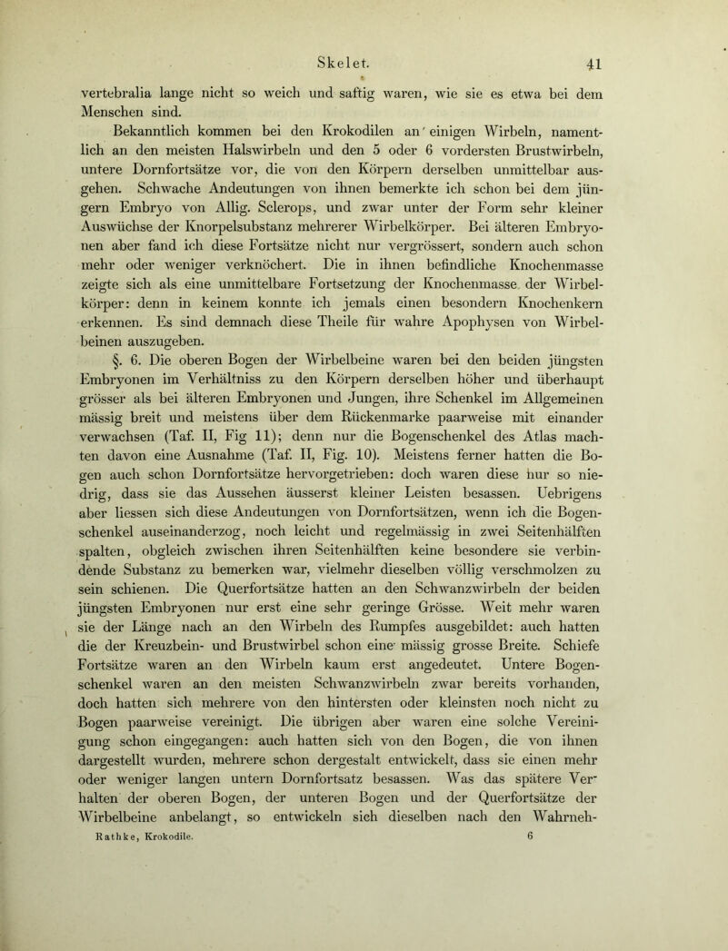 vertebralia lange nicht so weich und saftig waren, wie sie es etwa bei dem Menschen sind. Bekanntlich kommen bei den Krokodilen an 'einigen Wirbeln, nament- lich an den meisten Halswirbeln und den 5 oder 6 vordersten Brustwirbeln, untere Dornfortsätze vor, die von den Körpern derselben unmittelbar aus- gehen. Schwache Andeutungen von ihnen bemerkte ich schon bei dem Jün- gern Embryo von Allig. Sclerops, und zwar unter der Form sehr kleiner Auswüchse der Knorpelsubstanz mehrerer Wirbelkörper. Bei älteren Embryo- nen aber fand ich diese Fortsätze nicht nur vergrössert, sondern auch schon mehr oder weniger verknöchert. Die in ihnen befindliche Knochenmasse zeigte sich als eine unmittelbare Fortsetzung der Knochenmasse der Wirbel- körper: denn in keinem konnte ich jemals einen besondern Knochenkern erkennen. Es sind demnach diese Theile für wahre Apophysen von Wirbel- beinen auszugeben. 6. Die oberen Bogen der Wirbelbeine waren bei den beiden jüngsten Embryonen im Verhältniss zu den Körpern derselben höher und überhaupt grösser als bei älteren Embryonen und Jungen, ihre Schenkel im Allgemeinen mässig breit und meistens über dem Rückenmarke paarweise mit einander verwachsen (Taf. II, Fig 11); denn nur die Bogenschenkel des Atlas mach- ten davon eine Ausnahme (Taf. II, Fig. 10). Meistens ferner hatten die Bo- gen auch schon Dornfortsätze hervorgetrieben: doch waren diese hur so nie- drig, dass sie das Aussehen äusserst kleiner Leisten besassen. Uebrigens aber liessen sich diese Andeutungen von Dornfortsätzen, wenn ich die Bogen- schenkel auseinanderzog, noch leicht und regelmässig in zwei Seitenhälften spalten, obgleich zwischen ihren Seitenhälften keine besondere sie verbin- dende Substanz zu bemerken war, vielmehr dieselben völlig verschmolzen zu sein schienen. Die Querfortsätze hatten an den Schwanzwirbeln der beiden jüngsten Embryonen nur erst eine sehr geringe Grösse. Weit mehr waren ( sie der Länge nach an den Wirbeln des Rumpfes ausgebildet: auch hatten die der Kreuzbein- und Brustwirbel schon eine mässig grosse Breite. Schiefe Fortsätze waren an den Wirbeln kaum erst angedeutet. Untere Bogen- schenkel waren an den meisten Schwanzwirbeln zwar bereits vorhanden, doch hatten sich mehrere von den hintersten oder kleinsten noch nicht zu Bogen paarweise vereinigt. Die übrigen aber waren eine solche Vereini- gung schon eingegangen: auch hatten sich von den Bogen, die von ihnen dargestellt wurden, mehrere schon dergestalt entwickelt, dass sie einen mehr oder weniger langen untern Dornfortsatz besassen. Was das spätere Ver halten der oberen Bogen, der unteren Bogen und der Querfortsätze der Wirbelbeine anbelangt, so entwickeln sich dieselben nach den Wahrneh- Rathke, Krokodile. 6