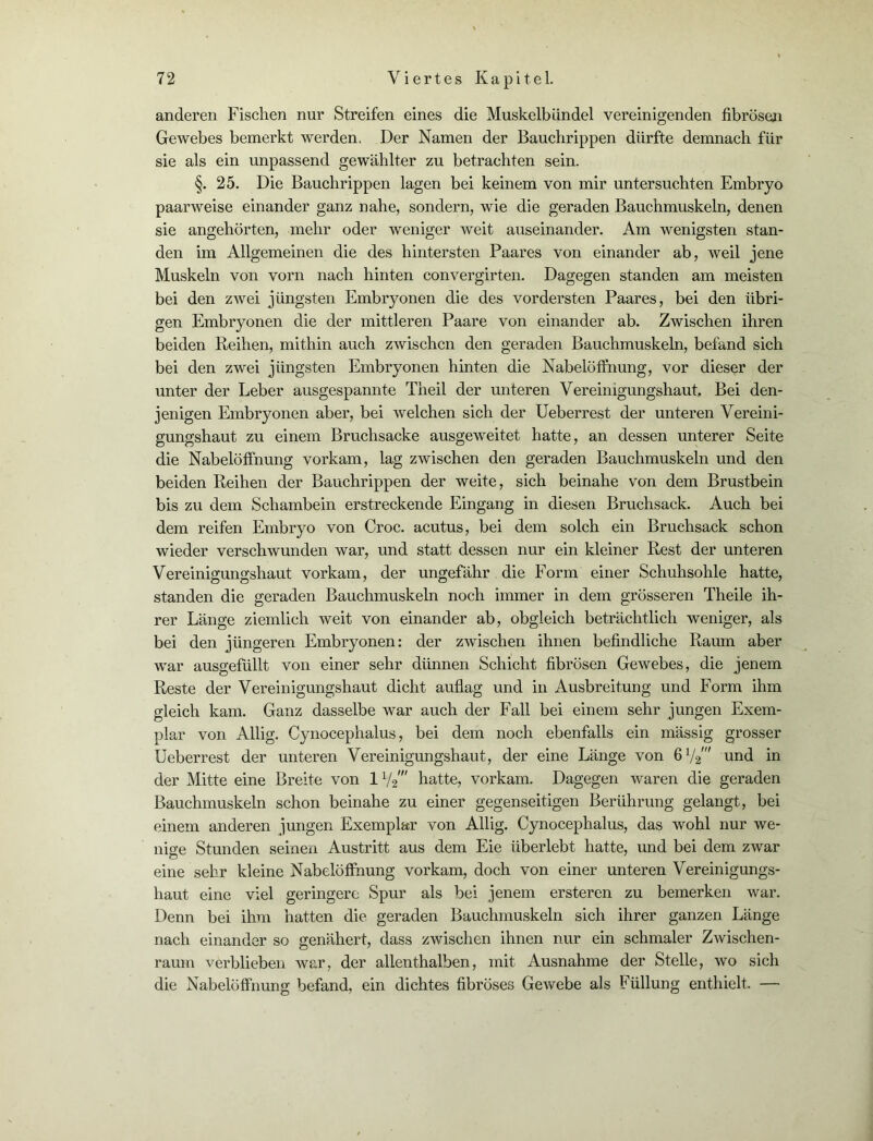 anderen Fischen nur Streifen eines die Muskclbiindel vereinigenden fibrösen Gewebes bemerkt werden. Der Namen der Bauchrippen dürfte demnach für sie als ein unpassend gewählter zu betrachten sein. §. 25. Die Bauchrippen lagen bei keinem von mir untersuchten Embryo paarweise einander ganz nahe, sondern, wie die geraden Bauchmuskeln, denen sie angehörten, mehr oder weniger weit auseinander. Am wenigsten stan- den im Allgemeinen die des hintersten Paares von einander ab, weil jene Muskeln von vorn nach hinten convergirten. Dagegen standen am meisten bei den zwei jüngsten Embryonen die des vordersten Paares, bei den übri- gen Embryonen die der mittleren Paare von einander ab. Zwischen ihren beiden Reihen, mithin auch zwischen den geraden Bauchmuskeln, befand sich bei den zwei jüngsten Embryonen hinten die Nabelöffnung, vor dieser der unter der Leber ausgespannte Theil der unteren Vereinigungshaut. Bei den- jenigen Embryonen aber, bei welchen sich der Ueberrest der unteren Vereini- gungshaut zu einem Bruchsacke ausgeweitet hatte, an dessen unterer Seite die Nabelöffnung vorkam, lag zwischen den geraden Bauchmuskeln und den beiden Reihen der Bauchrippen der weite, sich beinahe von dem Brustbein bis zu dem Schambein erstreckende Eingang in diesen Bruchsack. Auch bei dem reifen Embryo von Croc. acutus, bei dem solch ein Bruchsack schon wieder verschwunden war, und statt dessen nur ein kleiner Rest der unteren Vereinigungshaut vorkam, der ungefähr die Form einer Schuhsohle hatte, standen die geraden Bauchmuskeln noch immer in dem grösseren Theile ih- rer Länge ziemlich weit von einander ab, obgleich beträchtlich weniger, als bei den jüngeren Embryonen: der zwischen ihnen befindliche Raum aber war ausgefüllt von einer sehr dünnen Schicht fibrösen Gewebes, die jenem Reste der Vereinigungshaut dicht auflag und in Ausbreitung und Form ihm gleich kam. Ganz dasselbe war auch der Fall bei einem sehr jungen Exem- plar von Allig. Cynocephalus, bei dem noch ebenfalls ein mässig grosser Ueberrest der unteren Vereinigungshaut, der eine Länge von 6 72' und in der Mitte eine Breite von 11/% hatte, vorkam. Dagegen waren die geraden Bauchmuskeln schon beinahe zu einer gegenseitigen Berührung gelangt, bei einem anderen jungen Exemplar von Allig. Cynocephalus, das wohl nur we- nige Stunden seinen Austritt aus dem Eie überlebt hatte, und bei dem zwar eine sehr kleine Nabelöffnung vorkam, doch von einer unteren Vereinigungs- haut eine viel geringere Spur als bei jenem ersteren zu bemerken war. Denn bei ihm hatten die geraden Bauchmuskeln sich ihrer ganzen Länge nach einander so genähert, dass zwischen ihnen nur ein schmaler Zwischen- raum verblieben war, der allenthalben, mit Ausnahme der Stelle, wo sich die Nabelöffnung befand, ein dichtes fibröses Gewebe als Füllung enthielt. —•