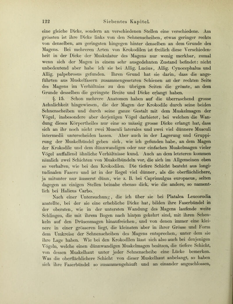 eine gleiche Dicke, sondern an verschiedenen Stellen eine verschiedene. Am grössten ist ihre Dicke links von den Sehnenscheiben, etwas geringer rechts von denselben, am geringsten hingegen hinter denselben an dem Grunde des Magens. Bei mehreren Arten von Krokodilen ist freilich diese Verschieden- heit in der Dicke der Muskulatur des Magens nur wenig merkbar, zumal wenn sich der Magen in einem sehr ausgedehnten Zustand befindet: nicht unbedeutend aber habe ich sie bei Allig. Lucius, Allig. Cynocephalus und Allig. palpebrosus gefunden. Ihren Grund hat sie darin, dass die ange- führten aus Muskelfasern zusammengesetzten Schienen ait der rechten Seite des Magens im Verhältniss zu den übrigen Seiten die grösste, an dem Grunde desselben die geringste Breite und Dicke erlangt haben. §. 15. Schon mehrere Anatomen haben auf die überraschend grosse Aehnlichkeit hingewiesen, die der Magen der Krokodile durch seine beiden Sehnenscheiben und durch seine ganze Gestalt mit dem Muskelmagen der Vögel, insbesondere aber derjenigen Vögel darbietet, bei welchen die Wan- dung dieses Körpertheiles nur eine so massig grosse Dicke erlangt hat, dass sich an ihr noch nicht zwei Musculi laterales und zwei viel dünnere Musculi intermedii unterscheiden lassen. Aber auch in der Lagerung und Gruppi- rung der Muskelbündel geben sich, wie ich gefunden habe, an dem Magen der Krokodile und dem dünnwandigen oder nur einfachen Muskelmagen vieler Vögel auffallend ähnliche Verhältnisse kund. Auch an dem letzteren kommen nämlich zwei Schichten von Muskelbündeln vor, die sich im Allgemeinen eben so verhalten, wie bei den Krokodilen. Die tiefere Schicht besteht aus longi- tudinalen Fasern und ist in der Regel viel dünner, als die oberflächlichere, ja mitunter nur äusserst dünn, wie z. B. bei Caprimulgus europaeus, selten dagegen an einigen Stellen beinahe ebenso dick, wie die andere, so nament- lich bei Halieus Carbo. Nach einer Untersuchung, die ich über sie bei Platalea Leucorodia anstellte, bei der sie eine erhebliche Dicke hat, bilden ihre Faserbündel in der obersten, wie in der untersten Wandung des Magens laufende weite Schlingen, die mit ihrem Bogen nach hinten gekehrt sind, mit ihren Schen- keln auf den Drüsenmagen hinaufreichen, und von denen immer eine klei- nere in einer grösseren liegt, die kleinsten aber in ihrer Grösse und Form dem Umkreise der Sehnenscheiben des Magens entsprechen, unter dem sie ihre Lage haben. Wie bei den Krokodilen lässt sich also auch bei denjenigen Vögeln, welche einen dünnwandigen Muskelmagen besitzen, die tiefere Schicht, von dessen Muskelhaut unter jeder Sehnenscheibe eine Lücke bemerken. Was die oberflächlichere Schicht von dieser Muskelhaut anbelangt, so haben sich ihre Faserbündel so zusammengehäuft und an einander angeschlossen,