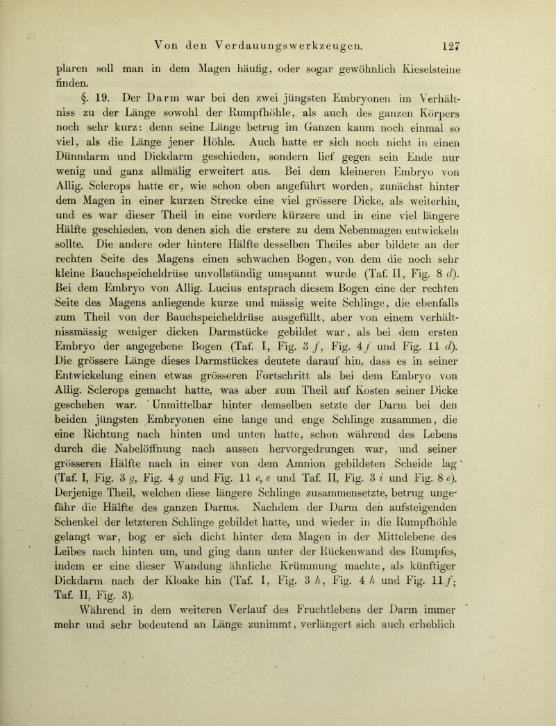 plaren soll man in dem Magen häufig, oder sogar gewöhnlich Kieselsteine finden. §. 19. Der Darm war bei den zwei jüngsten Embryonen im Verhält- nis zu der Länge sowohl der Rumpfhöhle, als auch des ganzen Körpers noch sehr kurz: denn seine Länge betrug im Ganzen kaum noch einmal so viel, als die Länge jener Höhle. Auch hatte er sich noch nicht in einen Dünndarm und Dickdarm geschieden, sondern lief gegen sein Ende nur wenig und ganz allmälig erweitert aus. Bei dem kleineren Embryo von Allig. Sclerops hatte er, wie schon oben angeführt worden, zunächst hinter dem Magen in einer kurzen Strecke eine viel grössere Dicke, als weiterhin, und es war dieser Theil in eine vordere kürzere und in eine viel längere Hälfte geschieden, von denen sich die erstere zu dem Nebenmagen entwickeln sollte. Die andere oder hintere Hälfte desselben Theiles aber bildete an der rechten Seite des Magens einen schwachen Bogen, von dem die noch sehr kleine Bauchspeicheldrüse unvollständig umspannt wurde (Taf. II, Fig. 8 d). Bei dem Embryo von Allig. Lucius entsprach diesem Bogen eine der rechten Seite des Magens anliegende kurze und mässig weite Schlinge, die ebenfalls zum Theil von der Bauchspeicheldrüse ausgefüllt, aber von einem verhält- nissmässig weniger dicken Darmstücke gebildet war, als bei dem ersten Embryo der angegebene Bogen (Taf. I, Fig. 3 /, Fig. 4/ und Fig. 11 d). Die grössere Länge dieses Darmstückes deutete darauf hin, dass es in seiner Entwickelung einen etwas grösseren Fortschritt als bei dem Embryo von Allig. Sclerops gemacht hatte, was aber zum Theil auf Kosten seiner Dicke geschehen war. ' Unmittelbar hinter demselben setzte der Darm bei den beiden jüngsten Embryonen eine lange und enge Schlinge zusammen, die eine Richtung nach hinten und unten hatte, schon während des Lebens durch die Nabelöffnung nach aussen hervorgedrungen war, und seiner grösseren Hälfte nach in einer von dem Amnion gebildeten Scheide lag' (Taf. I, Fig. 3 g, Fig. 4 g und Fig. 11 e, e und Taf. II, Fig. 3 i und Fig. 8 e). Derjenige Theil, welchen diese längere Schlinge zusammensetzte, betrug unge- fähr die Hälfte des ganzen Darms. Nachdem der Darm den aufsteigenden Schenkel der letzteren Schlinge gebildet hatte, und wieder in die Rumpfhöhle gelangt war, bog er sich dicht hinter dem Magen in der Mittelebene des Leibes nach hinten um, und ging dann unter der Rückenwand des Rumpfes, indem er eine dieser Wandung ähnliche Krümmung machte, als künftiger Dickdarm nach der Kloake hin (Taf. I, Fig. 3 h, Fig. 4 A und Fig. 11/; Taf. II, Fig. 3). Während in dem weiteren Verlauf des Fruchtlebens der Darm immer mehr und sehr bedeutend an Länge zunimmt, verlängert sich auch erheblich