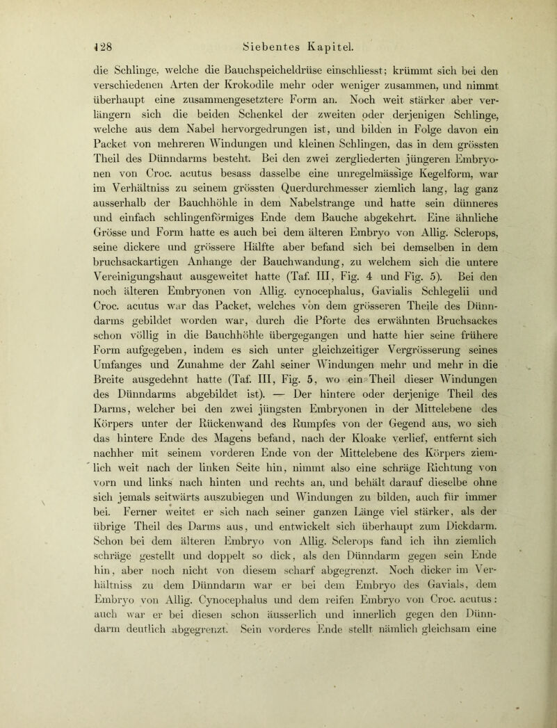 die Schlinge, welche die Bauchspeicheldrüse einschliesst; krümmt sich bei den verschiedenen Arten der Krokodile mehr oder weniger zusammen, und nimmt überhaupt eine zusammengesetztere Form an. Noch weit stärker aber ver- längern sich die beiden Schenkel der zweiten oder derjenigen Schlinge, welche aus dem Nabel hervorgedrungen ist, und bilden in Folge davon ein Packet von mehreren Windungen und kleinen Schlingen, das in dem grössten Theil des Dünndarms besteht. Bei den zwei zergliederten jüngeren Embryo- nen von Croc. acutus besass dasselbe eine unregelmässige Kegelform, war im Verhältniss zu seinem grössten Querdurchmesser ziemlich lang, lag ganz ausserhalb der Bauchhöhle in dem Nabelstrange und hatte sein dünneres und einfach schlingenförmiges Ende dem Bauche abgekehrt. Eine ähnliche Grösse und Form hatte es auch bei dem älteren Embryo von Allig. Sclerops, seine dickere und grössere Hälfte aber befand sich bei demselben in dem bruchsackartigen Anhänge der Bauchwandung, zu welchem sich die untere Vereinigungshaut ausgeweitet hatte (Taf. III , Fig. 4 und Fig. 5). Bei den noch älteren Embryonen von Allig. cynocephalus, Gavialis Schlegelii und Croc. acutus war das Packet, welches von dem grösseren Theile des Dünn- darms gebildet worden war, durch die Pforte des erwähnten Bruchsackes schon völlig in die Bauchhöhle übergegangen und hatte hier seine frühere Form aufgegeben, indem es sich unter gleichzeitiger Vergrösserung seines Umfanges und Zunahme der Zahl seiner Windungen mehr und mehr in die Breite ausgedehnt hatte (Taf. III, Fig. 5, wo ein Theil dieser Windungen des Dünndarms abgebildet ist). — Der hintere oder derjenige Theil des Darms, welcher bei den zwei jüngsten Embryonen in der Mittelebene des Körpers unter der Rückenwand des Rumpfes von der Gegend aus, wo sich das hintere Ende des Magens befand, nach der Kloake verlief, entfernt sich nachher mit seinem vorderen Ende von der Mittelebene des Körpers ziem- lich weit nach der linken Seite hin, nimmt also eine schräge Richtung von vorn und links nach hinten und rechts an, und behält darauf dieselbe ohne sich jemals seitwärts auszubiegen und Windungen zu bilden, auch für immer bei. Ferner weitet er sich nach seiner ganzen Länge viel stärker, als der übrige Theil des Darms aus, und entwickelt sich überhaupt zum Dickdarm. Schon bei dem älteren Embryo von Allig. Sclerops fand ich ihn ziemlich schräge gestellt und doppelt so dick, als den Dünndarm gegen sein Ende hin, aber noch nicht von diesem scharf abgegrenzt. Noch dicker im Ver- hältniss zu dem Dünndarm war er bei dem Embryo des Gavials, dem Embryo von Allig. Cynocephalus und dem reifen Embryo von Croc. acutus: auch war er bei diesen schon äusserlich und innerlich gegen den Dünn- darm deutlich .abgegrenzt. Sein vorderes Ende stellt nämlich gleichsam eine