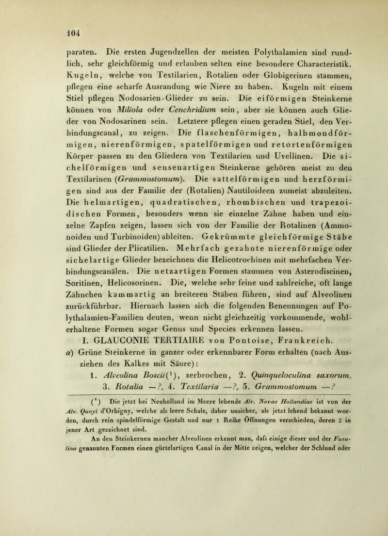 paraten. Die ersten Jugendzellen der meisten Polythalamien sind rund- lich, sehr gleichförmig und erlauben selten eine besondere Characteristik. Kugeln, welche von Textilarien, Rotalien oder Globigerinen stammen, pflegen eine scharfe Ausrandung wie Niere zu haben. Kugeln mit einem Stiel pflegen Nodosarien-Glieder zu sein. Die eiförmigen Steinkerne können von Miliola oder Cenchridium sein, aber sie können auch Glie- der von Nodosarinen sein. Letztere pflegen einen geraden Stiel, den Ver- bindungscanal, zu zeigen. Die flaschenförmigen, halbmondför- migen, nierenförmigen, spatelförmigen und retortenförmigen Körper passen zu den Gliedern von Textilarien und Uvellinen. Die si- chelförmigen und sensenartigen Steinkerne gehören meist zu den Textilarinen [Grammostomum). Die sattelförmigen und herzförmi- gen sind aus der Familie der (Rotalien) Nautiloideen zumeist abzuleiten. Die helmartigen, quadratischen, rhombischen und trapezoi- dischen Formen, besonders wenn sie einzelne Zähne haben und ein- zelne Zapfen zeigen, lassen sich von der Familie der Rotalinen (Ammo- noiden und Turbinoiden) ableiten. Gekrümmte gleichförmige Stäbe sind Glieder der Plicatilien. Mehrfach gezahnte nierenförmige oder sichelartige Glieder bezeichnen die Helicotrochinen mit mehrfachen Ver- bindungscanälen. Die netzartigen Formen stammen von Asterodiscinen, Soritinen, Helicosorinen. Die, welche sehr feine und zahlreiche, oft lange Zähnchen kämm artig an breiteren Stäben führen, sind auf Alveolinen zurückführbar. Hiernach lassen sich die folgenden Benennungen auf Po- lythalamien-Familien deuten, wenn nicht gleichzeitig vorkommende, wohl- erhaltene Formen sogar Genus und Species erkennen lassen. I. GLAUCONIE TERTIAIRE von Pontoise, Frankreich. a) Grüne Sleinkerne in ganzer oder erkennbarer Form erhalten (nach Aus- ziehen des Kalkes mit Säure): 1. Älveolina Boscii[{), zerbrochen, 2. Quinqueloculina saxorum, 3. Rotalia —?, 4. Textilaria —?, 5. Grammostomum —? (’) Die jetzt bei Neuholland im Meere lebende Alv. Novae Hollandiae ist von der Alv. Quoyi d’Orbigny, welche als leere Schale, daher unsicher, als jetzt lebend bekannt wor- den, durch rein spindelförmige Gestalt und nur 1 Reihe Öffnungen verschieden, deren 2 in jener Art gezeichnet sind. An den Steinkernen mancher Alveolinen erkennt man, dafs einige dieser und der Fusu- lina genannten Formen einen gürtelartigen Canal in der Mitte zeigen, welcher der Schlund oder