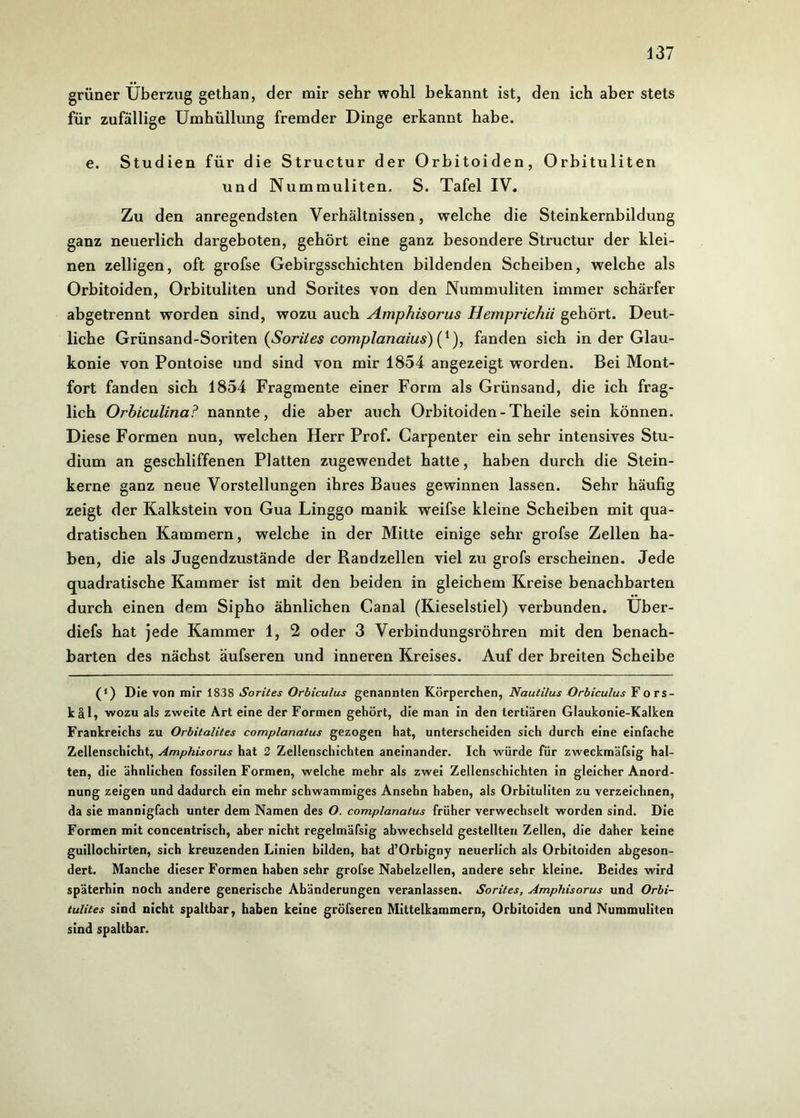 grüner Überzug gethan, der mir sehr wohl bekannt ist, den ich aber stets für zufällige Umhüllung fremder Dinge erkannt habe. e. Studien für die Structur der Orbitoiden, Orbituliten und Nummuliten. S. Tafel IV. Zu den anregendsten Verhältnissen, welche die Steinkernbildung ganz neuerlich dargeboten, gehört eine ganz besondere Structur der klei- nen zelligen, oft grofse Gebirgsschichten bildenden Scheiben, welche als Orbitoiden, Orbituliten und Sorites von den Nummuliten immer schärfer abgetrennt worden sind, wozu auch Amphisorus Hemprichii gehört. Deut- liche Grünsand-Soriten {Sorites complanaius) (*), fanden sich in der Glau- kome von Pontoise und sind von mir 1854 angezeigt worden. Bei Mont- fort fanden sich 1854 Fragmente einer Form als Grünsand, die ich frag- lich Orbiculina? nannte, die aber auch Orbitoiden-Theile sein können. Diese Formen nun, welchen Herr Prof. Garpenter ein sehr intensives Stu- dium an geschliffenen Platten zugewendet hatte, haben durch die Stein- kerne ganz neue Vorstellungen ihres Baues gewinnen lassen. Sehr häufig zeigt der Kalkstein von Gua Linggo manik weifse kleine Scheiben mit qua- dratischen Kammern, welche in der Mitte einige sehr grofse Zellen ha- ben, die als Jugendzustände der Randzellen viel zu grofs erscheinen. Jede quadratische Kammer ist mit den beiden in gleichem Kreise benachbarten durch einen dem Sipho ähnlichen Canal (Kieselstiel) verbunden. Uber- diefs hat jede Kammer 1, 2 oder 3 Verbindungsröhren mit den benach- barten des nächst äufseren und inneren Kreises. Auf der breiten Scheibe (1) Die von mir 1838 Sorites Orbiculus genannten Körperchen, Nautilus Orbiculus Fors- käl» wozu als zweite Art eine der Formen gehört, die man in den tertiären Glaukonie-Kalken Frankreichs zu Orbitalites complanaius gezogen hat, unterscheiden sich durch eine einfache Zellenschicht, Amphisorus hat 2 Zellenschichten aneinander. Ich würde für zweckmäfsig hal- ten, die ähnlichen fossilen Formen, welche mehr als zwei Zellenschichten in gleicher Anord- nung zeigen und dadurch ein mehr schwammiges Ansehn haben, als Orbituliten zu verzeichnen, da sie mannigfach unter dem Namen des O. comp/anatus früher verwechselt worden sind. Die Formen mit concentrisch, aber nicht regelmäfsig abwechseld gestellten Zellen, die daher keine guillochirten, sich kreuzenden Linien bilden, hat d’Orbigny neuerlich als Orbitoiden abgeson- dert. Manche dieser Formen haben sehr grofse Nabelzellen, andere sehr kleine. Beides wird späterhin noch andere generische Abänderungen veranlassen. Sorites, Amphisorus und Orbi- tulites sind nicht spaltbar, haben keine gröfseren Mittelkammern, Orbitoiden und Nummuliten sind spaltbar.