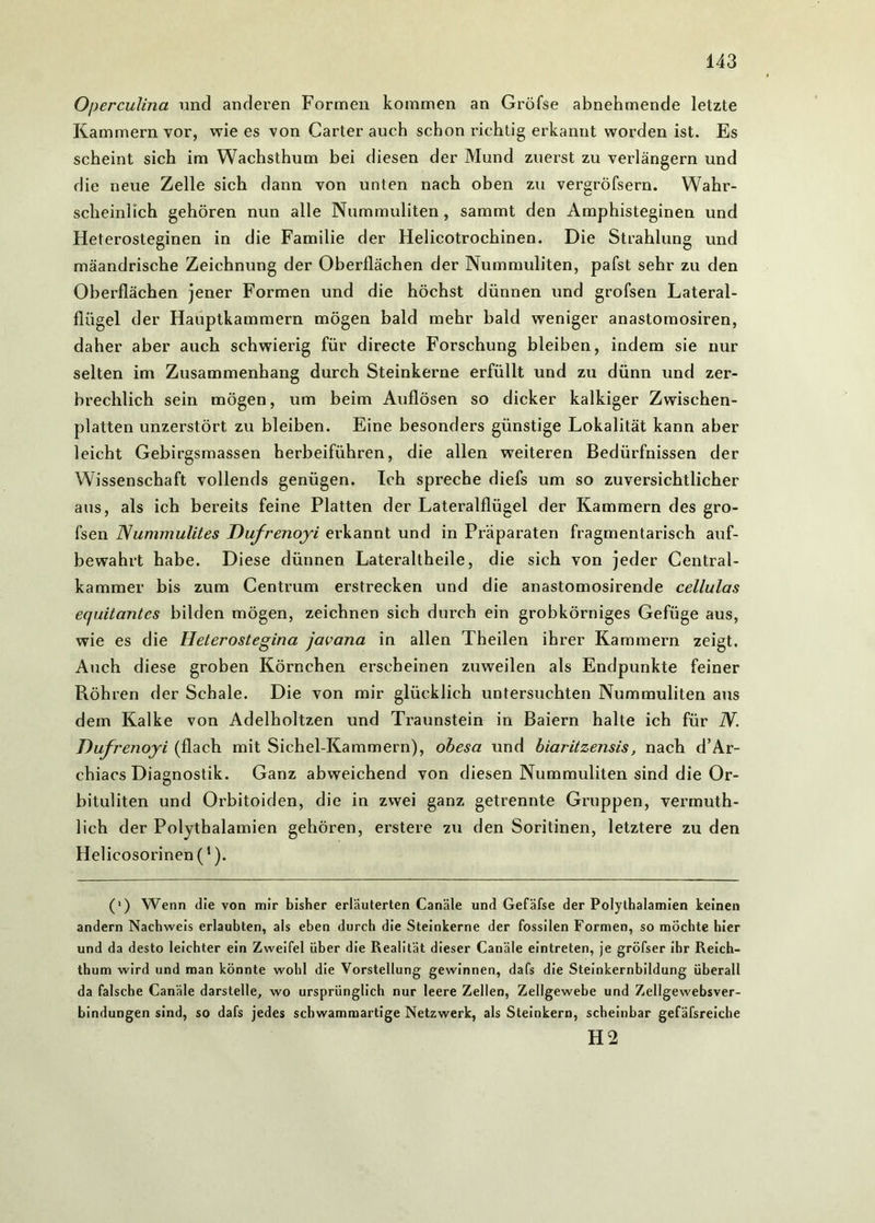 Operculina und anderen Formen kommen an Gröfse abnehmende letzte Kammern vor, wie es von Carter auch schon richtig erkannt worden ist. Es scheint sich im Wachsthum bei diesen der Mund zuerst zu verlängern und die neue Zelle sich dann von unten nach oben zu vergröfsern. Wahr- scheinlich gehören nun alle Nummuliten, sammt den Amphisteginen und Heterosteginen in die Familie der Helicotrochinen. Die Strahlung und mäandrische Zeichnung der Oberflächen der Nummuliten, pafst sehr zu den Oberflächen jener Formen und die höchst dünnen und grofsen Lateral- flügel der Hauptkammern mögen bald mehr bald weniger anastomosiren, daher aber auch schwierig für directe Forschung bleiben, indem sie nur selten im Zusammenhang durch Steinkerne erfüllt und zu dünn und zer- brechlich sein mögen, um beim Auflösen so dicker kalkiger Zwischen- platten unzerstört zu bleiben. Eine besonders günstige Lokalität kann aber leicht Gebirgsmassen herbeiführen, die allen weiteren Bedürfnissen der Wissenschaft vollends genügen. Ich spreche diefs um so zuversichtlicher aus, als ich bereits feine Platten der Lateralflügel der Kammern des gro- fsen Nummulites Dufrenoyi erkannt und in Präparaten fragmentarisch auf- bewahrt habe. Diese dünnen Lateraltheile, die sich von jeder Central- kammer bis zum Centrum erstrecken und die anastomosirende cellulas equitantcs bilden mögen, zeichnen sich durch ein grobkörniges Gefüge aus, wie es die Heterostegina javana in allen Theilen ihrer Kammern zeigt. Auch diese groben Körnchen erscheinen zuweilen als Endpunkte feiner Röhren der Schale. Die von mir glücklich untersuchten Nummuliten aus dem Kalke von Adelholtzen und Traunstein in Baiern halte ich für N. Dufrenoyi (flach mit Sichel-Kammern), obesa und biaritzensis, nach d’Ar- chiacs Diagnostik. Ganz abweichend von diesen Nummuliten sind die Or- bituliten und Orbitoiden, die in zwei ganz getrennte Gruppen, vermuth- lich der Polythalamien gehören, erstere zu den Soritinen, letztere zu den Helicosorinen(1). (’) Wenn die von mir bisher erläuterten Canäle und Gefäfse der Polythalamien keinen andern Nachweis erlaubten, als eben durch die Steinkerne der fossilen Formen, so möchte hier und da desto leichter ein Zweifel über die Realität dieser Canäle eintreten, je gröfser ihr Reich- thum wird und man könnte wohl die Vorstellung gewinnen, dafs die Steinkernbildung überall da falsche Canäle darstelle, wo ursprünglich nur leere Zellen, Zellgewebe und Zellgewebsver- bindungen sind, so dafs jedes schwammartige Netzwerk, als Steinkern, scheinbar gefäfsreiche 112