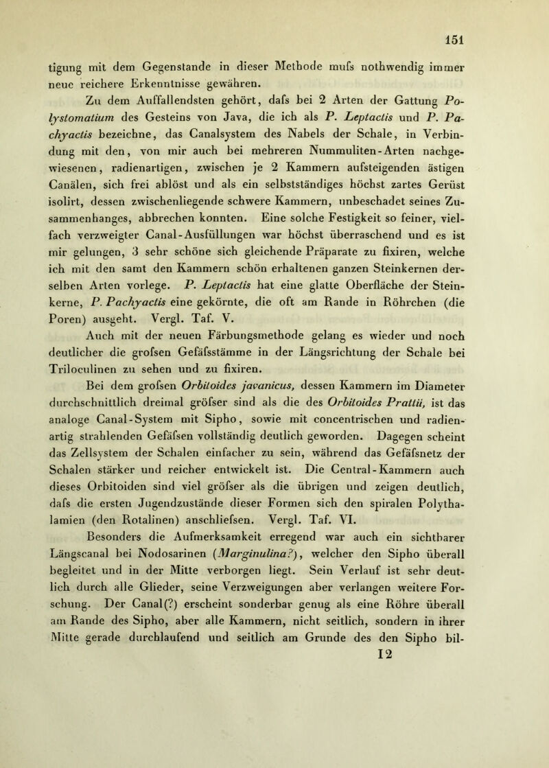 tigung mit dem Gegenstände in dieser Methode mufs nothwendig immer neue reichere Erkenntnisse gewähren. Zu dem Auffallendsten gehört, dafs bei 2 Arten der Gattung Po- lystomatium des Gesteins von Java, die ich als P. Leptactis und P. Pa- chy actis bezeichne, das Canalsystem des Nabels der Schale, in Verbin- dung mit den, von mir auch bei mehreren Nummuliten-Arten nachge- wiesenen , radienartigen, zwischen je 2 Kammern aufsteigenden ästigen Canälen, sich frei ablöst und als ein selbstständiges höchst zartes Gerüst isolirt, dessen zwischenliegende schwere Kammern, unbeschadet seines Zu- sammenhanges, abbrechen konnten. Eine solche Festigkeit so feiner, viel- fach verzweigter Canal-Ausfüllungen war höchst überraschend und es ist mir gelungen, 3 sehr schöne sich gleichende Präparate zu fixiren, welche ich mit den samt den Kammern schön erhaltenen ganzen Steinkernen der- selben Arten vorlege. P. Leptactis hat eine glatte Oberfläche der Stein- kerne, P. Pachyactis eine gekörnte, die oft am Rande in Röhrchen (die Poren) ausgeht. Vergl. Taf. V. Auch mit der neuen Färbungsmethode gelang es wieder und noch deutlicher die grofsen Gefäfsstämme in der Längsrichtung der Schale bei Triloculinen zu sehen und zu fixiren. Bei dem grofsen Orbiloides javanicus, dessen Kammern im Diameter durchschnittlich dreimal gröfser sind als die des Orbiloides Prattii, ist das analoge Canal-System mit Sipho, sowie mit concentrischen und radien- artig sti’ahlenden Gefäfsen vollständig deutlich geworden. Dagegen scheint das Zellsystem der Schalen einfacher zu sein, während das Gefäfsnetz der Schalen stärker und reicher entwickelt ist. Die Central-Kammern auch dieses Orbitoiden sind viel gröfser als die übrigen und zeigen deutlich, dafs die ersten Jugendzustände dieser Formen sich den spiralen Polytha- lamien (den Rotalinen) anschliefsen. Vergl. Taf. VI. Besonders die Aufmerksamkeit erregend war auch ein sichtbarer Längscanal bei Nodosarinen (Marginulina?), welcher den Sipho überall begleitet und in der Mitte verborgen liegt. Sein Verlauf ist sehr deut- lich durch alle Glieder, seine Verzweigungen aber verlangen weitere For- schung. Der Canal (?) erscheint sonderbar genug als eine Röhre überall am Rande des Sipho, aber alle Kammern, nicht seitlich, sondern in ihrer Mitte gerade durchlaufend und seitlich am Grunde des den Sipho bil- 12