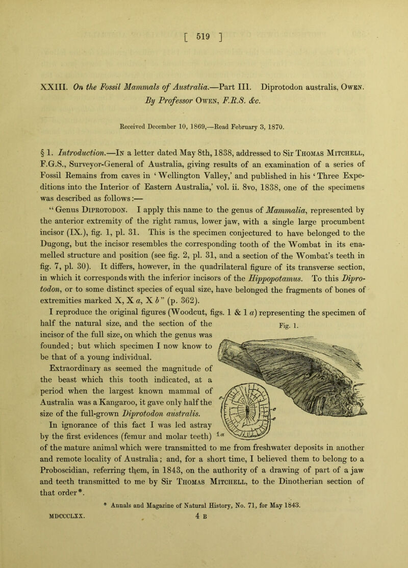 XXIII. On the Fossil Mammals of Australia.—Part III. Diprotodon australis, Owen. By Professor Owen, F.B.S. &c. Received December 10, 1869,—Read February 3, 1870. § 1. Introduction.—In a letter dated May 8th, 1838, addressed to Sir Thomas Mitchell, F.G.S., Surveyor-General of Australia, giving results of an examination of a series of Fossil Remains from caves in ‘ Wellington Valley,’ and published in his ‘ Three Expe- ditions into the Interior of Eastern Australia,’ vol. ii. 8vo, 1838, one of the specimens was described as follows:— “ Genus Diprotodon. I apply this name to the genus of Mammalia, represented by the anterior extremity of the right ramus, lower jaw, with a single large procumbent incisor (IX.), fig. 1, pL 31. This is the specimen conjectured to have belonged to the Dugong, but the incisor resembles the corresponding tooth of the Wombat in its ena- melled structure and position (see fig. 2, pi. 31, and a section of the Wombat’s teeth in fig. 7, pi. 30). It differs, however, in the quadrilateral figure of its transverse section, in which it corresponds with the inferior incisors of the Hippopotamus. To this Bipro- todon, or to some distinct species of equal size, have belonged the fragments of bones of extremities marked X, X «, X J ” (p. 362). I reproduce the original figures (Woodcut, figs. 1 & 1«) representing the specimen of half the natural size, and the section of the incisor of the full size, on which the genus was founded; but which specimen I now know to be that of a young individual. Extraordinary as seemed the magnitude of the beast which this tooth indicated, at a period when the largest known mammal of Australia was a Kangaroo, it gave only half the size of the full-grown Diprotodon australis. In ignorance of this fact I was led astray by the first evidences (femur and molar teeth) of the mature animal which were transmitted to me from freshwater deposits in another and remote locality of Australia; and, for a short time, I believed them to belong to a Proboscidian, referring them, in 1843, on the authority of a drawing of part of a jaw and teeth transmitted to me by Sir Thomas Mitchell, to the Dinotherian section of that order*. * Annals and Magazine of Natural History, No. 71, for May 1843.