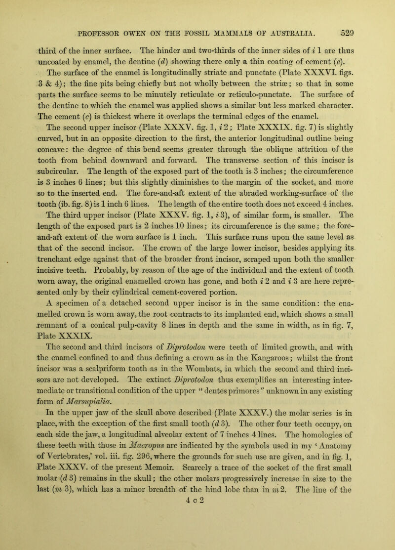 third of the inner surface. The hinder and two-thirds of the inner sides of ^ 1 are thus uncoated by enamel, the dentine [d) showing there only a thin coating of cement (c). The surface of the enamel is longitudinally striate and punctate (Plate XXXVI. figs. 3 & 4); the fine pits being chiefly but not wholly between the striae; so that in some parts the surface seems to be minutely reticulate or reticulo-punctate. The surface of the dentine to which the enamel was applied shows a similar but less marked character. The cement (c) is thickest where it overlaps the terminal edges of the enamel. The second upper incisor (Plate XXXV. fig. 1, ^ 2 ; Plate XXXIX. fig. 7) is slightly curved, but in an opposite direction to the first, the anterior longitudinal outline being concave; the degree of this bend seems greater through the oblique attrition of the tooth from behind downward and forward. The transverse section of this incisor is subcircular. The length of the exposed part of the tooth is 3 inches; the circumference is 3 inches 6 lines; but this slightly diminishes to the margin of the socket, and more so to the inserted end. The fore-and-aft extent of the abraded working-surface of the tooth (ib. fig. 8) is 1 inch 6 lines. The length of the entire tooth does not exceed 4 inches. The third upper incisor (Plate XiXXV. fig. 1, ^ 3), of similar form, is smaller. The length of the exposed part is 2 inches 10 lines; its circumference is the same; the fore- and-aft extent of the worn surface is 1 inch. This surface runs upon the same level as that of the second incisor. The crown of the large lower incisor, besides applying its trenchant edge against that of the broader front incisor, scraped upon both the smaller incisive teeth. Probably, by reason of the age of the individual and the extent of tooth worn away, the original enamelled crown has gone, and both i 2 and i 3 are here repre- sented only by their cylindrical cement-covered portion. A specimen of a detached second upper incisor is in the same condition: the ena- melled crown is worn away, the root contracts to its implanted end, which shows a small xemnant of a conical pulp-cavity 8 lines in depth and the same in width, as in fig. 7, Plate XXXIX. The second and third incisors of Diprotodon were teeth of limited growth, and with the enamel confined to and thus defining a crown as in the Kangaroos; whilst the front incisor was a scalpriform tooth as in the Wombats, in which the second and third inci- sors are not developed. The extinct Diprotodon thus exemplifies an interesting inter- mediate or transitional condition of the upper “ dentes primores ” unknown in any existing form of Marsupialia. In the upper jaw of the skull above described (Plate XXXV.) the molar series is in place, with the exception of the first small tooth {d 3). The other four teeth occupy, on each side the jaw, a longitudinal alveolar extent of 7 inches 4 lines. The homologies of these teeth with those in Macropus are indicated by the symbols used in my ‘ Anatomy of Vertebrates,’ vol. iii. fig. 296, where the grounds for such use are given, and in fig. 1, Plate XXXV. of the present Memoir. Scarcely a trace of the socket of the first small molar (d3) remains in the skull; the other molars progressively increase in size to the last (?)^ 3), which has a minor breadth of the hind lobe than in m 2. The line of the 4 c 2