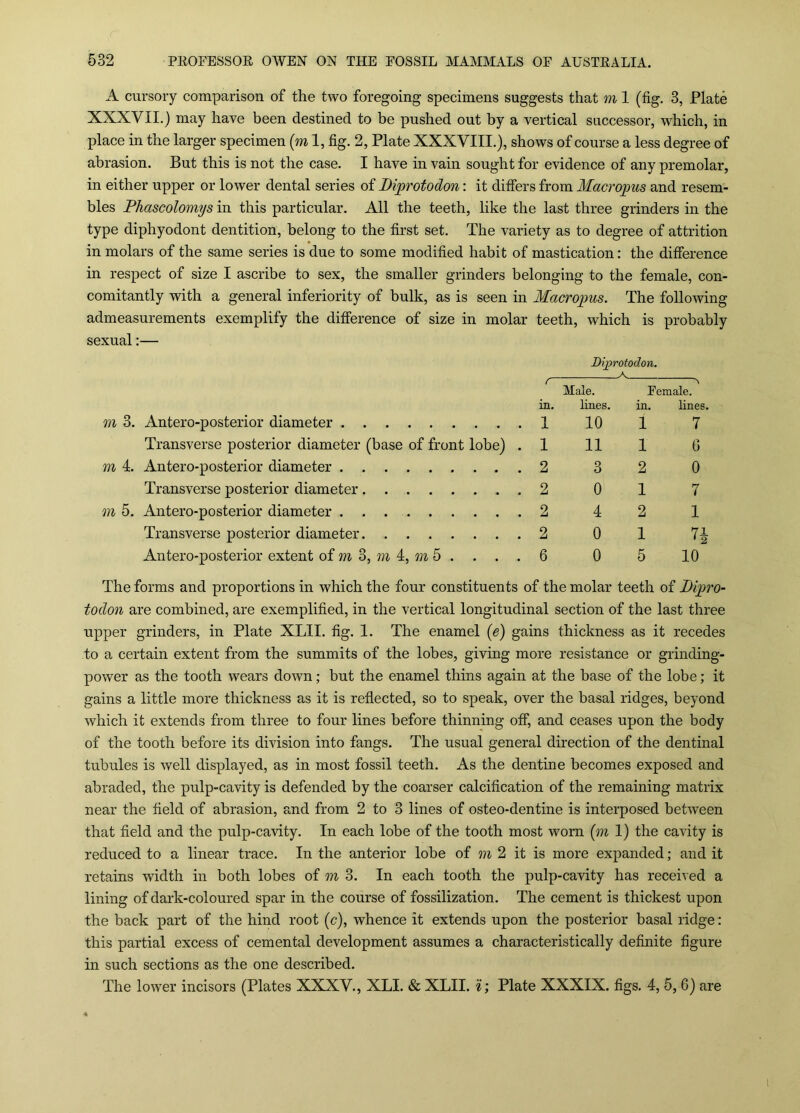 A cursory comparison of the two foregoing specimens suggests that m 1 (fig. 3, Plate XXXVII.) may have been destined to be pushed out by a vertical successor, which, in place in the larger specimen (m 1, fig. 2, Plate XXXVIII.), shows of course a less degree of abrasion. But this is not the case. I have in vain sought for evidence of any premolar, in either upper or lower dental series of Diprotodon: it difiers from Macropus and resem- bles Phascolomys in this particular. All the teeth, like the last three grinders in the type diphyodont dentition, belong to the first set. The variety as to degree of attrition in molars of the same series is due to some modified habit of mastication: the difference in respect of size I ascribe to sex, the smaller grinders belonging to the female, con- comitantly with a general inferiority of bulk, as is seen in Macropus. The following admeasurements exemplify the difference of size in molar teeth, which is probably sexual:— Bijprotodon. r ^ ^ Male. Female, in. lines. in. lines. m 3. Antero-posterior diameter 1 10 1 7 Transverse posterior diameter (base of front lobe) .1 11 1 G m 4. Antero-posterior diameter 2 3 2 0 Transverse posterior diameter 2 0 1 7 m 5. Antero-posterior diameter 2 4 2 1 Transverse posterior diameter 2 0 1 7^ Antero-posterior extent of m 3, 4, m 5 . . . . 6 0 5 10 The forms and proportions in which the four constituents of the molar teeth of Dipro- todon are combined, are exemplified, in the vertical longitudinal section of the last three upper grinders, in Plate XLII. fig. 1. The enamel {e) gains thickness as it recedes to a certain extent from the summits of the lobes, giving more resistance or grinding- power as the tooth wears down; but the enamel thins again at the base of the lobe; it gains a little more thickness as it is reflected, so to speak, over the basal ridges, beyond which it extends from three to four lines before thinning off, and ceases upon the body of the tooth before its division into fangs. The usual general direction of the dentinal tubules is well displayed, as in most fossil teeth. As the dentine becomes exposed and abraded, the pulp-cavity is defended by the coarser calcification of the remaining matrix near the field of abrasion, and from 2 to 3 lines of osteo-dentine is interposed between that field and the pulp-cavity. In each lobe of the tooth most worn (m 1) the cavity is reduced to a linear trace. In the anterior lobe of m 2 it is more expanded; and it retains width in both lobes of m 3. In each tooth the pulp-cavity has received a lining of dark-coloured spar in the course of fossilization. The cement is thickest upon the back part of the hind root (c), whence it extends upon the posterior basal ridge: this partial excess of cemental development assumes a characteristically definite figure in such sections as the one described. The lower incisors (Plates XXXV., XLI. & XLII. 1; Plate XXXIX. figs, 4, 5,6) are