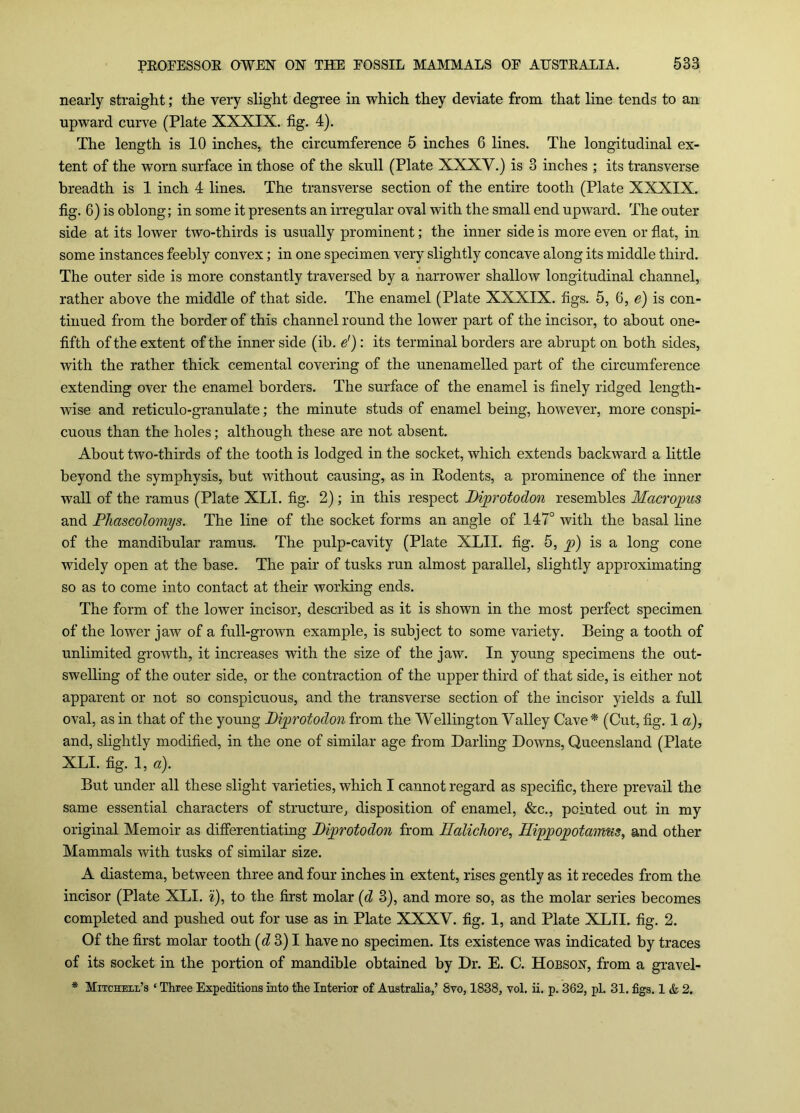 nearly straight; the very slight degree in which they deviate from that line tends to an upward curve (Plate XXXIX. fig. 4). The length is 10 inches, the circumference 5 inches 6 lines. The longitudinal ex- tent of the worn surface in those of the skull (Plate XXXV.) is 3 inches ; its transverse breadth is 1 inch 4 lines. The transverse section of the entire tooth (Plate XXXIX. fig. 6) is oblong; in some it presents an irregular oval with the small end upward. The outer side at its lower two-thirds is usually prominent; the inner side is more even or flat, in some instances feebly convex; in one specimen very slightly concave along its middle third. The outer side is more constantly traversed by a narrower shallow longitudinal channel, rather above the middle of that side. The enamel (Plate XXXIX. figs. 5, 6, e) is con- tinued from the border of this channel round the lower part of the incisor, to about one- fifth of the extent of the inner side (ib. e'): its terminal borders are abrupt on both sides, with the rather thick cemental covering of the unenamelled part of the circumference extending over the enamel borders. The surface of the enamel is finely ridged length- wise and reticulo-granulate; the minute studs of enamel being, however, more conspi- cuous than the holes; although these are not absent. About two-thirds of the tooth is lodged in the socket, which extends backward a little beyond the symphysis, but without causing, as in Podents, a prominence of the inner wall of the ramus (Plate XLI. fig. 2); in this respect Dvprotodon resembles Macro;pus and Phascolomys. The line of the socket forms an angle of 147° with the basal line of the mandibular ramus. The pulp-cavity (Plate XLII. fig. 5, is a long cone widely open at the base. The pair of tusks run almost parallel, slightly approximating so as to come into contact at their working ends. The form of the lower incisor, described as it is shown in the most perfect specimen of the lower jaw of a full-grown example, is subject to some variety. Being a tooth of unlimited growth, it increases with the size of the jaw. In young specimens the out- swelling of the outer side, or the contraction of the upper third of that side, is either not apparent or not so conspicuous, and the transverse section of the incisor yields a full oval, as in that of the young JDifwtodoii from the Wellington Valley Cave * (Cut, fig. 1 a), and, slightly modified, in the one of similar age from Darling Downs, Queensland (Plate XLI. fig. 1, a). But under all these slight varieties, which I cannot regard as specific, there prevail the same essential characters of structure, disposition of enamel, &c., pointed out in my original Memoir as diflferentiating Piprotodon from Halichore, Hippopotamus, and other Mammals with tusks of similar size. A diastema, between three and four inches in extent, rises gently as it recedes from the incisor (Plate XLI. 'i), to the first molar {d 3), and more so, as the molar series becomes completed and pushed out for use as in Plate XXXV. fig. 1, and Plate XLII. fig. 2. Of the first molar tooth (<Z 3) I have no specimen. Its existence was indicated by traces of its socket in the portion of mandible obtained by Dr. E. C. Hobson, from a gravel- * Mitchell’s ‘ Three Expeditions into the Interior of Australia,’ 8vo, 1838, vol. ii. p. 362, pi. 31. figs. Ik 2.