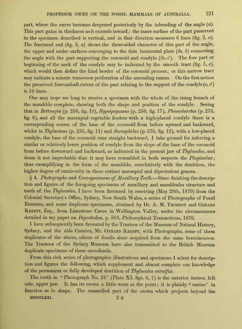 part, where the curve becomes deepened posteriorly by the inbending of the angle {a). This part gains in thickness as it extends inward; the inner surface of the part preserved in the specimen described is vertical, and in that direction measures 6 lines (fig. 2, a). The fractured end (fig. 5, a) shows the three-sided character of this part of the angle, the upper and under surfaces converging to the thin horizontal plate (ib. h) connecting the angle with the part supporting the coronoid and condyle (ib. d). The fore part or beginning of the neck of the condyle may be indicated by the smooth tract (fig. 3, e), which would then define the hind border of the coronoid process; or this narrow tract may indicate a minute transverse perforation of the ascending ramus. On the first notion the preserved fore-and-aft extent of the part relating to the support of the condyle (e, c') is 10 lines. One may hope ere long to receive a specimen with the whole of the rising branch of the mandible complete, showing both the shape and position of the condyle. Seeing that in Bettongia (p. 250, fig. 18), Hypsiprymnus (p. 250, fig. 17), Phascolarctos (p. 233, fig. 6), and all the marsupial vegetable feeders with a high-placed condyle there is a corresponding course of the base of the coronoid from before upward and backward, whilst in Thylacinus (p. 235, fig. 11) and SarcopMlus (p. 235, fig. 12), with a low-placed condyle, the base of the coronoid runs straight backward, I take ground for inferring a similar or relatively lower position of condyle from the slope of the base of the coronoid from before downward and backward, as indicated in the present jaw of Thylacoleo, and deem it not improbable that it may have resembled in both respects the Plagiaulax; thus exemplifying in the form of the mandible, correlatively with the dentition, the higher degree of carnivority in these extinct marsupial and diprotodont genera. § 4. Photographs and Care-specimens of Maxillary Teeth.—Since finishing the descrip- tion and figures of the foregoing specimens of maxillary and mandibular structure and teeth of the Thylacoleo^ 1 have been favoured by receiving (May 20th, 1870) from the Colonial Secretary’s Office, Sydney, New South Wales, a series of Photographs of Fossil Eemains, and some duplicate specimens, obtained by Dr. A. M. Thomson and Geraed Krefft, Esq., from Limestone Caves in Wellington Valley, under the circumstances detailed in my paper on Piprotodon, p. 569, Philosophical Transactions, 1870. 1 have subsequently been favoured by the Trustees of the Museum of Natural History, Sydney, and the able Curator, Mr. Gerard Krefft, with Photographs, some of them duplicates of the above, others of fossils since acquired from the same breccia-caves. The Trustees of the Sydney Museum have also transmitted to the British Museum duplicate specimens of these cave-fossils. From this rich series of photographic illustrations and specimens 1 select for descrip- tion and figures the following, which supplement and almost complete our knowledge of the permanent or fully developed dentition of Thylacoleo carnifex. The tooth in “Photograph No. 28” (Plate XI. figs. 6, 7) is the anterior incisor, left side, upper jaw. It has its crown a little worn at the point; it is plainly “canine” in function as in shape. The enamelled part of the crown which projects beyond the MDCCCLXXI. 2 H