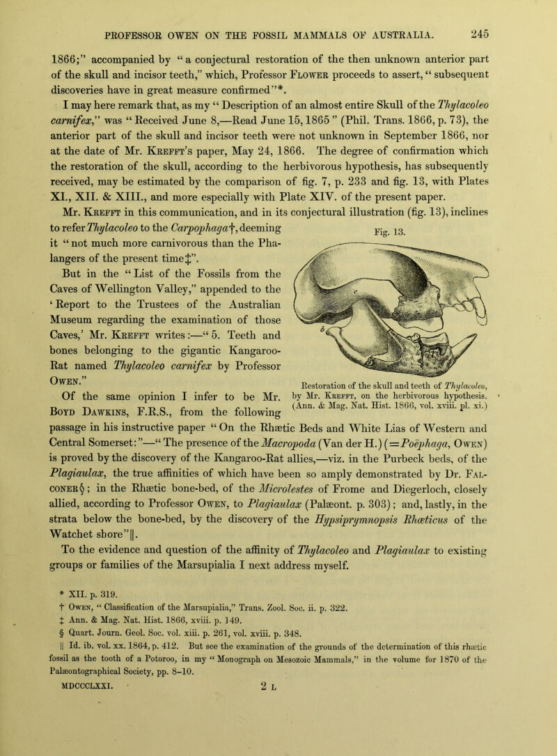 1866;” accompanied by “a conjectiu’al restoration of the then unknown anterior part of the skull and incisor teeth,” which, Professor Flowee proceeds to assert, “ subsequent discoveries have in great measure confirmed”* * * §. I may here remark that, as my “ Description of an almost entire Skull of the Tliylacoleo carnifex” was “ Eeceived June 8,—Read June 15,1865 ” (Phil. Trans. 1866, p. 73), the anterior part of the skull and incisor teeth were not unknown in September 1866, nor at the date of Mr. Keefet’s paper. May 24, 1866. The degree of confirmation which the restoration of the skull, according to the herbivorous hypothesis, has subsequently received, may be estimated by the comparison of fig. 7, p. 233 and fig. 13, with Plates XI., XII. & XIII., and more especially with Plate XIV. of the present paper. Mr. Keefft in this communication, and in its conjectural illustration (fig. 13), inclines to reievThylacoleo to the Carpophaga'\, deeming it “ not much more carnivorous than the Pha- langers of the present time J”. But in the “List of the Fossils from the Caves of Wellington Valley,” appended to the ‘ Report to the Trustees of the Australian Museum regarding the examination of those Caves,’ Mr. Keefft writes;—“ 5. Teeth and bones belonging to the gigantic Kangaroo- Rat named Thylacoleo carnifex by Professor Owen.” Of the same opinion I infer to be Mr. Boyd Dawkins, F.R.S., from the following passage in his instructive paper “ On the Rhsetic Beds and White Lias of Western and Central Somerset: ”—“ The presence of the Macropoda (Van der H.) (—Fo 'ephaga, Owen) is proved by the discovery of the Kangaroo-Rat allies,—viz. in the Purbeck beds, of the Plagiaulax, the true afiinities of which have been so amply demonstrated by Dr. Fal- C0NEE§; in the Rhsetic bone-bed, of the Microlestes of Frome and Diegerloch, closely allied, according to Professor Owen, to Plagiaulax (Palaeont. p. 303); and, lastly, in the strata below the bone-bed, by the discovery of the Hypsiprymnopsis Bhoeticus of the Watchet shore”||. To the evidence and question of the afiinity of Thylacoleo and Plagiaulax to existing groups or families of the Marsupialia I next address myself. * XII. p. 319. t Owen, “ Classification of the Marsupialia,” Trans. Zool. Soc. ii. p. 322. X Ann. & Mag. Nat. Hist. 1866, xviii. p. 149. § Quart. Journ. Geol. Soc. vol. xiii. p. 261, vol. xviii. p. 348. II Id. ib. vol. XX. 1864, p. 412. But see the examination of the grounds of the determination of this rhietic fossil as the tooth of a Potoroo, in my “Monograph on Mesozoic Mammals,” in the volume for 1870 of the Palaeontographical Society, pp. 8-10. MDCCCLXXI. 2 L Fig. 13. Restoration of the skull and teeth of Thylacoleo, by Mr. Kheeft, on the herbivorous hypothesis. • (Ann. & Mag. Nat. Hist. 1866, vol. xviii. pi. xi.)