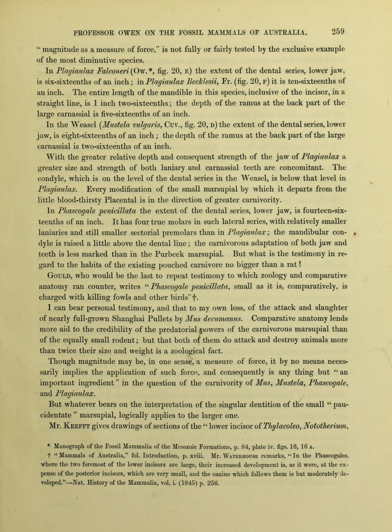 “ magnitude as a measure of force,” is not fully or fairly tested by the exclusive example of the most diminutive species. In Plagiaulax Falconeri{Ow.^, fig. 20, e) the extent of the dental series, lower jaw, is six-sixteenths of an inch; m Plagiaulax BecMesii, Fr. (fig. 20, f) it is ten-sixteenths of an inch. The entire length of the mandible in this species, inclusive of the incisor, in a straight line, is 1 inch two-sixteenths; the depth of the ramus at the back part of the large carnassial is five-sixteenths of an inch. In the Weasel {Mustela vulgaris, Cuv., fig. 20, d) the extent of the dental series, lower jaw, is eight-sixteenths of an inch ; the depth of the ramus at the back part of the large carnassial is two-sixteenths of an inch. With the greater relative depth and consequent strength of the jaw of Plagiaulax a greater size and strength of both laniary and carnassial teeth are concomitant. The condyle, which is on the level of the dental series in the Weasel, is below that level in Plagiaulax. Every modification of the small marsupial by which it departs from the little blood-thirsty Placental is in the direction of greater carnivority. In Phascogale penicillata the extent of the dental series, lower jaw, is fourteen-six- teenths of an inch. It has four true molars in such lateral series, with relatively smaller laniaries and still smaller sectorial premolars than in Plagiaulax; the mandibular con- dyle is raised a little above the dental line; the carnivorous adaptation of both jaw and teeth is less marked than in the Purbeck marsupial. But what is the testimony in re- gard to the habits of the existing pouched carnivore no bigger than a rat 1 Gould, who would be the last to repeat testimony to which zoology and comparative anatomy ran counter, writes “ Phascogale penicillata, small as it is, comparatively, is charged with killing fowls and other birds” f. I can bear personal testimony, and that to my own loss, of the attack and slaughter of nearly full-grown Shanghai Pullets by Mus decumanus. Comparative anatomy lends more aid to the credibility of the predatorial .powers of the carnivorous marsupial than of the equally small rodent; but that both of them do attack and destroy animals more than twice their size and weight is a zoological fact. Though magnitude may be, in one sense, a measure of force, it by no means neces- sarily implies the application of such force, and consequently is any thing but “ an important ingredient ” in the question of the carnivority of Mus, Mustela, Phascogale, and Plagiaulax. But whatever bears on the interpretation of the singular dentition of the small “ pau- cidentate ” marsupial, logically applies to the larger one. Mr. Keefft gives drawings of sections of the “ lower incisor of Thylacoleo, Nototherium, * Monograph of the Eossil Mammalia of the Mesozoic Eormations, p. 84, plate iv. figs. 16, 16 a. t “ Mammals of Australia,” fol. Introduction, p. xviii. Mr. Waterhouse remarks, “ In the Phascogales, where the two foremost of the lower incisors are large, their increased development is, as it were, at the ex- pense of the posterior incisors, which are very small, and the canine which follows them is hut moderately de- veloped.”—Nat. History of the Mammalia, vol. i. (1845) p. 256.