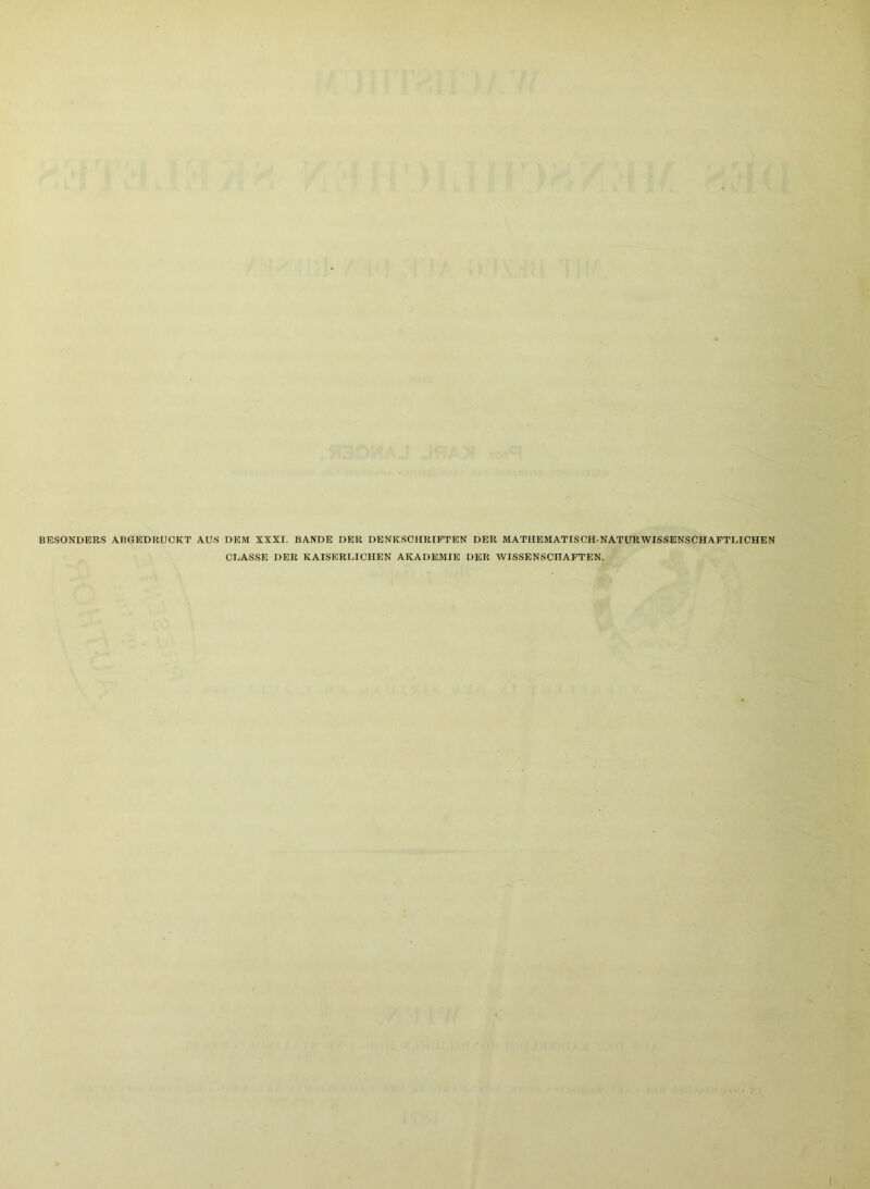 BESONDERS ABGEDRUCKT AUS DEM XXXI. BANDE DER DENKSCHRIFTEN DER MATHEMATISCH-NATURWISSENSCHAFTLICHEN CLASSE DER KAISERLICHEN AKADEMIE DER WISSENSCHAFTEN.