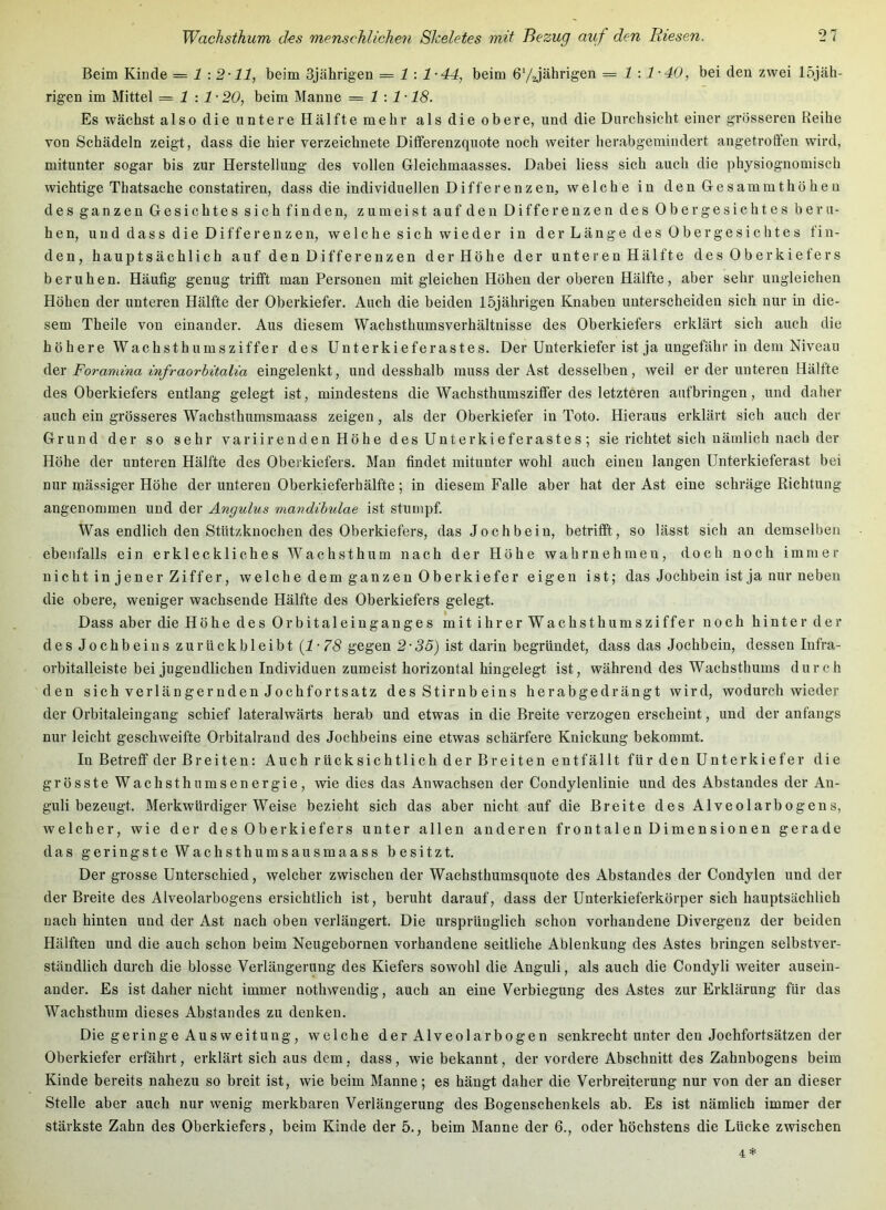 Beim Kinde = 1 : 2-11, beim 3jährigen = 1: 1-44, beim ö'/jährigen = 1 •.1-40, bei den zwei 15jäh- rigen im Mittel = 1:1- 20, beim Manne = 1:1-18. Es wächst also die untere Hälfte mehr als die obere, und die Durchsicht einer grösseren Reihe von Schädeln zeigt, dass die hier verzeichnete Ditferenzquote noch weiter herabgemindert angetrolfen wird, mitunter sogar bis zur Herstellung des vollen Gleichmaasses. Dabei Hess sich auch die physiognomisch wichtige Thatsaehe constatiren, dass die individuellen Differenzen, welche in den Gesamiuthöhen des ganzen Gesichtes sich finden, zumeist auf den Differenzen des Ober gesichtes beru- hen, und dass die Differenzen, we 1 che sich wieder in der Länge des 0bergesichtes fin- den, hauptsächlich auf den Differenzen der Höhe der unteren Hälfte des Oberkiefers beruhen. Häufig genug trifft man Personen mit gleichen Höhen der oberen Hälfte, aber sehr ungleichen Höhen der unteren Hälfte der Oberkiefer. Auch die beiden 15jährigen Knaben unterscheiden sich nur in die- sem Theile von einander. Aus diesem Wachsthumsverhältnisse des Oberkiefers erklärt sich auch die h ö h er e Wach st h um s Ziffer des Unterkieferastes. Der Unterkiefer ist ja ungefähr in dem Niveau der Foramma infraorbüalm eingelenkt, und desshalb muss der Ast desselben, weil er der unteren Hälfte des Oberkiefers entlang gelegt ist, mindestens die Wachsthumsziffer des letzteren aufbringen, und daher auch ein grösseres Wachsthumsmaass zeigen, als der Oberkiefer in Toto. Hieraus erklärt sich auch der Grund der so sehr variirenden Höhe des Unterkieferastes; sie richtet sich nämlich nach der Höhe der unteren Hälfte des Oberkiefers. Man findet mitunter wohl auch einen langen Unterkieferast bei nur mässiger Höhe der unteren Oberkieferhälfte; in diesem Falle aber hat der Ast eine schräge Richtung angenommen und der Angulus mandihulae ist stumpf. Was endlich den Stützknochen des Oberkiefers, das Jochbein, betrifft, so lässt sich an demselben ebe)ifalls ein erkleckliches Wachsthum nach der Höhe wahrnehmen, doch noch immer nicht injener Ziffer, welche dem ganzen Oberkiefer eigen ist; das Jochbein ist ja nur neben die obere, weniger wachsende Hälfte des Oberkiefers gelegt. Dass aber die Höhe des Orbitaleinganges mit ihrer Wachsthumsziffer noch hinter der des Jochbeins zurückbleibt {1-78 gegen 2-35) ist darin begründet, dass das Jochbein, dessen Infra- orbitalleiste bei jugendlichen Individuen zumeist horizontal hingelegt ist, während des Wachsthums durch den sich verlängernden Jochfortsatz des Stirnbeins herabgedrängt wird, wodurch wieder der Orbitaleingang schief lateralwärts herab und etwas in die Breite verzogen erscheint, und der anfangs nur leicht geschweifte Orbitalrand des Jochbeins eine etwas schärfere Knickung bekommt. In Betreff der Breiten: Auch rücksichtlich der Breiten entfällt für den Unterkiefer die grösste Wachsthumsenergie, wie dies das Anwachsen der Condylenlinie und des Abstandes der An- guli bezeugt. Merkwürdigerweise bezieht sich das aber nicht auf die Breite des Alveolarbogens, welcher, wie der des Oberkiefers unter allen anderen frontalen Dimensionen gerade das geringste Wachsthumsausmaass besitzt. Der grosse Unterschied, welcher zwischen der Wachsthumsquote des Abstandes der Condylen und der der Breite des Alveolarbogens ersichtlich ist, beruht darauf, dass der Unterkieferkörper sich hauptsächlich nach hinten und der Ast nach oben verlängert. Die ursprünglich schon vorhandene Divergenz der beiden Hälften und die auch schon beim Neugebornen vorhandene seitliche Ablenkung des Astes bringen selbstver- ständlich durch die blosse Verlängerung des Kiefers sowohl die Anguli, als auch die Condyli weiter ausein- ander. Es ist daher nicht immer nothwendig, auch an eine Verbiegung des Astes zur Erklärung für das Wachsthum dieses Abstandes zu denken. Die geringe Ausweitung, welche der Alveolarbogen senkrecht unter den Jochfortsätzen der Oberkiefer erfährt, erklärt sich aus dem, dass, wie bekannt, der vordere Abschnitt des Zahnbogens beim Kinde bereits nahezu so breit ist, wie beim Manne; es hängt daher die Verbreiterung nur von der an dieser Stelle aber auch nur wenig merkbaren Verlängerung des Bogenschenkels ab. Es ist nämlich immer der