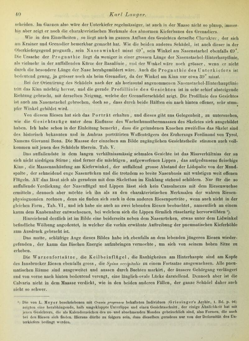 scheiden. Im Ganzen also wäre der Unterkiefer regelmässiger, ist auch in der Masse nicht so plump, immer- hin aber zeigt er noch die charakteristischen Merkmale des abnormen Kieferbaues des Grenadiers. Wie in den Einzelheiten , so liegt auch im ganzen Aufbau des Gesichtes derselbe Charakter, der sich am Krainer und Grenadier bemerkbar gemacht hat. Wie die beiden anderen Schädel, ist auch dieser in der Oberkiefergegend prognath , sein Nasenwinkel misst 69°, sein Winkel am Nasenstachel ebenfalls 69°. Die Ursache der Prognathie liegt da weniger in einer grossen Länge der Nasenstachel-Hinterhauptlinie, als vielmehr in der auffallenden Kürze der Basallinie , und der Winkel wäre noch grösser, wenn er nicht durch die besondere Länge der Nase herabgemildert wäre. Auch die Prognathie des Unterkiefers ist bedeutend genug, ja grösser noch als beim Grenadier, da der Winkel am Kinn nur etwa 39° misst. Bei der Orientirung des Schädels nach der als horizontal angenommenen Nasenstachel-Hinterhauptlinie tritt das Kinn mächtig hervor, und die gerade Profillinie des Gesichtes ist in sehr schief absteigende Richtung gebracht, mit derselben Neigung, welche der Grenadierschädel zeigt. Die Profillinie des Gesichtes ist auch am Nasenstachel gebrochen, doch so , dass durch beide Hälften ein nach hinten offener, sehr stum- pfer Winkel gebildet wird. Von diesem Riesen hat sich das Porträt erhalten , und dieses gibt uns Gelegenheit, zu untersuchen, wie die Gesichtszüge unter dem Einflüsse des Wachsthumsübermaasses des Skeletes sich ausgebildet haben. Ich habe schon in der Einleitung bemerkt, dass die gefundenen Knochen zweifellos das Skelet sind des historisch bekannten und in Ambras porträtirten Waffenträgers des Erzherzogs Ferdinand von Tyrol, Namens Giovanni Bona. Die Maasse der einzelnen am Bilde zugänglichen Gesichtstheile stimmen auch voll- kommen mit jenen des Schädels überein. Tab. V. Das auffallendste in dem langen verhältnissmässig schmalen Gesichte ist das Missverhältniss der an sich nicht niedrigen Stirne ; sind ferner die mächtigen, aufgeworfenen Lippen , das aufgedunsene fleischige Kinn , die Massenanhäufung am Kieferwinkel, der auffallend grosse Abstand der Lidspalte von der Mund- spalte , der schneidend enge Nasenrücken und die trotzdem so breite Nasenbasis mit wulstigen weit offenen Flügeln. All’ das lässt sich als geradezu mit dem Skeletbau im Einklang stehend schildern. Nur für die so auffallende Verdickung der Nasenflügel und Lippen lässt sich kein Causalnexus mit dem Riesenwuchse ermitteln , dennoch aber möchte ich ihn als zu den charakteristischen Merkmalen der wahren Riesen- physiognomien rechnen , denn sie finden sich auch in dem anderen Riesenporträte , wenn auch nicht in der gleichen Form, Tab. VI, und ich habe sie auch an zwei lebenden Riesen beobachtet, namentlich an einem kaum dem Knabenalter entwachsenen, bei welchem sich die Lippen förmlich rüsselartig hervorwölbten'). Hinreichend deutlich ist im Bilde eine beiderseits neben dem Nasenrücken, etwas unter dem Lidwinkel befindliche Wölbung angedeutet, in welcher die vorhin erw'ähnte Auftreibung der pneumatischen Kieferhöhle zum Ausdruck gebracht ist. Das matte, schläfrige Auge dieses Bildes habe ich ebenfalls an dem lebenden jüngeren Riesen wieder- gefunden , der kaum das Bischen Energie aufzubringen vermochte , um sich von seinem hohen Sitze zu erheben. Die Warzenfortsätze, die Keilbein fl ügel, die Rauhigkeiten am Hinterhaupte sind am Kopfe des Innsbrucker Riesen ebenfalls gross, die Sj)ma occipitah's zu einem Fortsatze ausgewachsen. Alle pneu- matischen Räume sind ausgeweitet und aussen durch Buchten markirt, der äussere Gehörgang verlängert und von vorne nach hinten bedeutend verengt, eine länglich-ovale Lücke darstellend. Dennoch aber ist die Calvaria nicht in dem Maasse verdickt, wie in den beiden anderen Fällen, der ganze Schädel daher auch nicht so schwer. i| Die von L. Meyer beschriebenen mit Crania progenaea behafteten Individuen (Griesinger’s Archiv, 1. Bd. p. 96) zeij^ten eine herabhängende, halb umgeklappte Unterlippe und einen Gesichtsschnitt, der einige Ähnlichkeit hat mit jenen Gesichtern, die als Kalenderzeichen des zu- und abnehmenden Mondes gebräuchlich sind, also Formen, die auch bei den Riesen sich finden. Hieraus dürfte zu folgern sein, dass dieselben geradezu nur von der Deformität des Un- terkiefers bedingt werden.