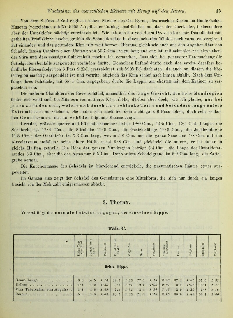 Von dem 8 Fuss 2 Zoll englisch hohen Skelete des Ch. Byrne, des irischen Riesen im Hunter’schen Museum (verzeichnet sub Nr. 5905 A.) gibt der Catalog ausdrücklich an, dass der Oberkiefer, insbesondere aber der Unterkiefer mächtig entwickelt ist. Wie ich aus der von Herrn Dr. Junker mir freundlichst mit- getheilten Profilskizze ersehe, greifen die Sehneidezähne in einem scharfen Winkel nach vorne convergirend auf einander, und das gerundete Kinn tritt weit hervor. Hieraus, gleich wie auch aus den Angaben über den Schädel, dessen Cranium einen Umfang von 59-7 Ctni. zeigt, lang und eng ist, mit schmaler zurückweichen- der Stirn und dem mässigen Cubikinhalt möchte ich vermuthen, dass sich bei genauerer Untersuchung die Sattelgrube ebenfalls ausgeweitet vorfinden dürfte. Denselben Befund dürfte auch das zweite daselbst be- findliche Riesenskelet von 6 Fuss 9 Zoll (verzeichnet sub 5905 B.) darbieten, da auch an diesem die Kie- ferregion mächtig ausgebildet ist und vortritt, obgleich das Kinn schief nach hinten abfällt. Nach dem Um- fange ihr<es Schädels, mit 58-1 Ctm. angegeben, dürfte die Lappin am ehesten mit dem Krainer zu ver- gleichen' sein. Die anderen Charaktere der Riesenschädel, namentlich das lange Gesicht, die hohe Mundregion finden sich wohl auch bei Männern von mittlerer Körperhöhe, dürften aber doch, wie ich glanbe, nur bei jenen zu finden sein, welche sich durch eine schlanke Taille und besonders lange untere Extremitäten auszeichnen. Sie finden sich auch bei dem nicht ganz G Fuss hohen, doch sehr schlan- ken Gens darmen, dessen Schädel folgende Maasse zeigt. Gerader, grösster querer und Höhendurchmesser haben 18-0 Ctm., 14-5 Ctm., 12-1 Cmt. Länge; die Stirnbreite ist 12-4 Cftn. , die Stirnhöhe 11-9 Ctm., die Gesichtslänge 12’3 Ctm., die Jochbeinbreite 11-8 Ctm.'; der Oberkiefer ist 7-6 Ctm. lang, wovon 5-8 Ctm. auf die ganze Nase und 1-8 Ctm. auf den Alveolarsaum entfallen; seine obere Hälfte misst 3-8 Ctm. und gleichviel die, untere, er ist daher in gleiche Hälften getheilt. Die Höhe der ganzen Mundregion beträgt 6-4 Ctm., die Länge des Unterkiefer- randes 8-3 Ctm., aber die des Astes nur 6-5 Ctm. Der vordere Schädelgrund ist 6-2 Ctm, lang, die Sattel- grube normal. Die Knochenmasse des Schädels ist hinreichend entwickelt, die pneumatischen Räume etwas aus- geweitet. Im Ganzen also zeigt der Schädel des Gensdarmen eine Mittelform, die sich nur durch ein langes Gesicht von der Mehrzahl einigermassen abhebt. 3. Thorax. Vorerst folgt der normale Entwicklungsgang der einzelnen Ripp e. Tab. €. • Einige Tage altes Kind 3 Jahre altes Kind Coefficient 15 Jahre alter Knabe Coefficient 9 Coefficient ii| la Ob Krainer Coefficient Grenadier S O Dritte Rippe. Ganze Länge 8-3 14-5 1-74 22-G 1-55 27-1 1-19 3-26 37-2 1-37 37-6 1-38 Collum 1-4 1-9 1-35 2-3 1-21 2-9 1-26 2-.07 3-7 1-27 4-1 1-41 Vom Tuberculum zum Angulus . 1-1 1-6 1-45 2.1 1-31 2-4 1-14 2-18 2-9 1-20 2-8 1-10 Corpus .... 0*8 ll-O 1-89 18-2 1 ■ 05 21-8 1-19 3-75 30-6 1-40 30-7 1-40