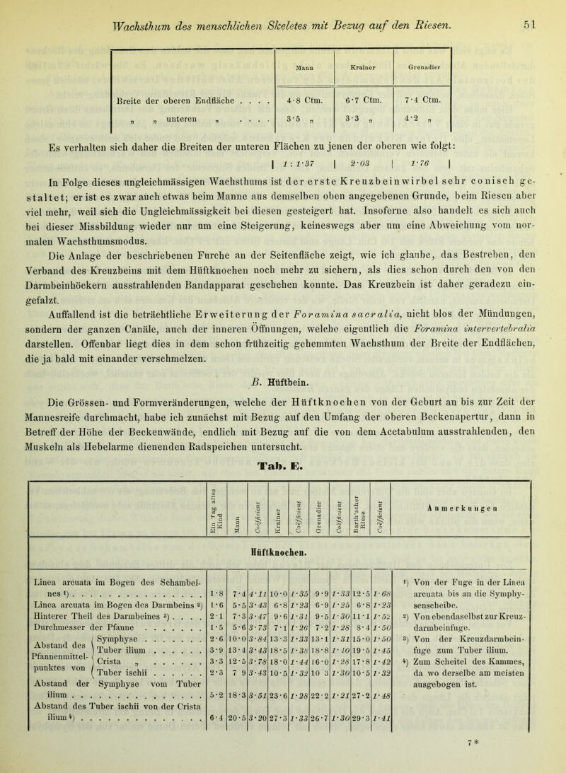 Mann Krainer Grenadier Breite der oberen Endfläche .... 4-8 Ctm. 6*7 Ctm. 7-4 Ctm. „ „ unteren „ .... 3'5 „ 3-3 „ 4-2 „ Es verhalten sich daher die Breiten der unteren Flächen zu jenen der oberen wie folgt: I 1-.1-37 1 2-03 I 1-76 I In Folge dieses ungleichmässigen Wachsthums ist der erste Kreuzbeinwirbel sehr conisch ge- staltet; er ist es zwar auch etwas beim Manne aus demselben oben angegebenen Grunde, beim Riesen aber viel mehr, weil sich die Ungleichmässigkeit bei diesen gesteigert hat. Insoferne also handelt es sich auch bei dieser Missbildung wieder nur um eine Steigerung, keineswegs aber um eine Abweichung vom nor- malen Wachsthumsmodus. Die Anlage der beschriebenen Furche an der Seitenfläche zeigt, wie ich glaube, das Bestreben, den Verband des Kreuzbeins mit dem Hüftknochen noch mehr zu sichern, als dies schon durch den von den Darmbeinhöckern ausstrahlenden Bandapparat geschehen konnte. Das Kreuzbein ist daher geradezu ein- gefalzt. Auffallend ist die beträchtliche Erweiterung der Foramina sacralia, nicht blos der Mündungen, sondern der ganzen Canäle, auch der inneren Öffnungen, welche eigentlich die Foramina intervertehralia darstellen. Offenbar liegt dies in dem schon frühzeitig gehemmten Wachsthum der Breite der Endflächen, die ja bald mit einander verschmelzen. B. Hüftbein. Die Grössen- und Formveränderungen, welche der Hüftknochen von der Geburt an bis zur Zeit der Mannesreife durchinacht, habe ich zunächst mit Bezug auf den Umfang der oberen Beckenapertur, dann in Betreff der Höhe der Beckenwände, endlich mit Bezug auf die von dem Acetabulum ausstrahlenden, den Muskeln als Hebelarme dienenden Radspeichen untersucht. Tab. E. Ein Tag altes Kind Mann Coefficient Krainer Coefficient Grenadier Coefficient Barth’s eher Riese Coefficient A II m e r k IIII g e II Hüftknochen. Linea arcuata im Bogen des Schambei- 1) Von der Fuge in der Linea nes 1) 1-8 7-4 4-11 10-0 1-35 9-9 1-33 12-5 1-68 arcuata bis an die Symphy- Linea arcuata im Bogen des Darmbeins *) 1-6 5 • 5 3-43 6-8 1-23 6-9 l-2b 6-8 1-23 senscheibe. Hinterer Theil des Darmbeines 3) . . . . 21 7-3 3-47 9-6 1-31 9-5 1-30 11-1 1-52 3) Von ebendaselbst zur Kreuz- Durchmesser der Pfanne 1-5 5-6 3-73 7-1 1-2G 7-2 1-28 8-4 1-50 darmbeinfuge. Ua« ( Symphyse 2-6 lO-O 3-84 13-3 1-33 13-1 1-31 15-0 1-60 3) Von der Kreuzdarmbein- .XjL U ä L>ckLlt.L \ f-p y <1. „, . , I Tuber ilmm 3-9 13-4 3-43 18-5 1-38 18-8 1-40 19-5 1-45 fuge zum Tuber ilium. Ptannenmittel- ( ^ I Crista „ 3-3 12-5 3-78 18-0 1-44 16-0 1-28 17-8 1-42 4) Zum Scheitel des Kammes, Punktes von ( 2-3 7 9 3-43 lO-o 1-32 10 3 1-30 10-5 1-32 da wo derselbe am meisten Abstand der Symphyse vom Tuber ausgebogen ist. ilium 5-2 18-3 3-51 23-6 1-28 22’2 1-21 27-2 1-48 Abstand des Tuber ischii von der Crista ilium *) 6-4 20-5 3-20 27-3 1-33 26-7 1-30 29-3 1-41