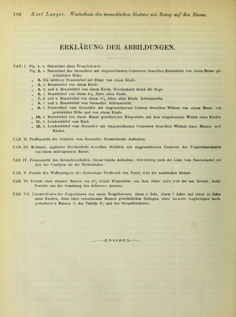 ERKLÄRUNG DER ABBILDUNGEN. TAB. I. Fig. 1. 4. Halswirbel eines Neugeborenen. Fig. 2. 4. Halswirbel des Grenadiers mit eingezeichneten Contouren desselben Halswirbels von einem Manne ge- wöhnlicher Höhe. , 3. Ein mittlerer Brustwirbel mit Rippe von einem Kinde. „ 4. 7. Brustwirbel von einem Kinde. „ 5. 8. und 9. Brustwirbel von einem Kinde. Durchschnitt durch die Fuge. „ 6. 7. Brustwirbel von einem 6V2 Jahre alten Kinde. „ 7. 8. und 9. Brustwirbel von einem 61/2 Jahre alten Kinde. Seitenansicht. „ 8. 1. und 2. Brustwirbel vom Grenadier. Seitenansicht. „ 9. 7. Brustwirbel vom Grenadier mit eingezeichnetem Contour desselben Wirbels von einem Manne von gewönlicher Höhe und von einem Kinde. „ 10. 8. Brustwirbel von einem Manne gewöhnlicher Körperhöhe mit dem vergrösserten Wirbel eines Kindes. „ 11. 3. Lendenwirbel vom Kind. „ 12. 3. Lendenwirbel vom Grenadier mit eingezeichneten Contouren desselben Wirbels eines Mannes un d Kindes. 'l’AB. II. Profilansicht des Schädels vom Grenadier. Geometrische Aufnahme. TAB. III. Medianer, sagittaler Durchschnitt desselben Schädels mit eingezeichneten Umrissen des Vergleichsschädels von einem mittelgrossen Manne. TAB. IV. Frontansicht des Grenadierschädels. Geometrische Aufnahme; Orientirung nach der Linie vom Nasenstachel zur Axe der Condylen als der Horizontalen. TAB. V. Porträt des Waffenträgers des Erzherzogs Ferdinand von Tyrol; 0-53 der natürlichen Grösse. TAB. VI. Porträt eines elsasser Bauern von 8V2 Schuh Körperhöhe aus dem Jahre 1553; 0*53 der nat. Grösse, beide Porträte aus der Sammlung des Schlosses Ambras. TAB. VI1. Linearschemen der Proportionen von einem Neugeborenen, einem 3 Jahr, einem 7 Jahre und einem 10 Jahre alten Knaben, dann eines erwachsenen Mannes gewöhnlichen Schlages, eines äusserst langbeinigen hoch- gewachsenen Mannes (7. der Tabelle P.) und des Grenadierskelets.