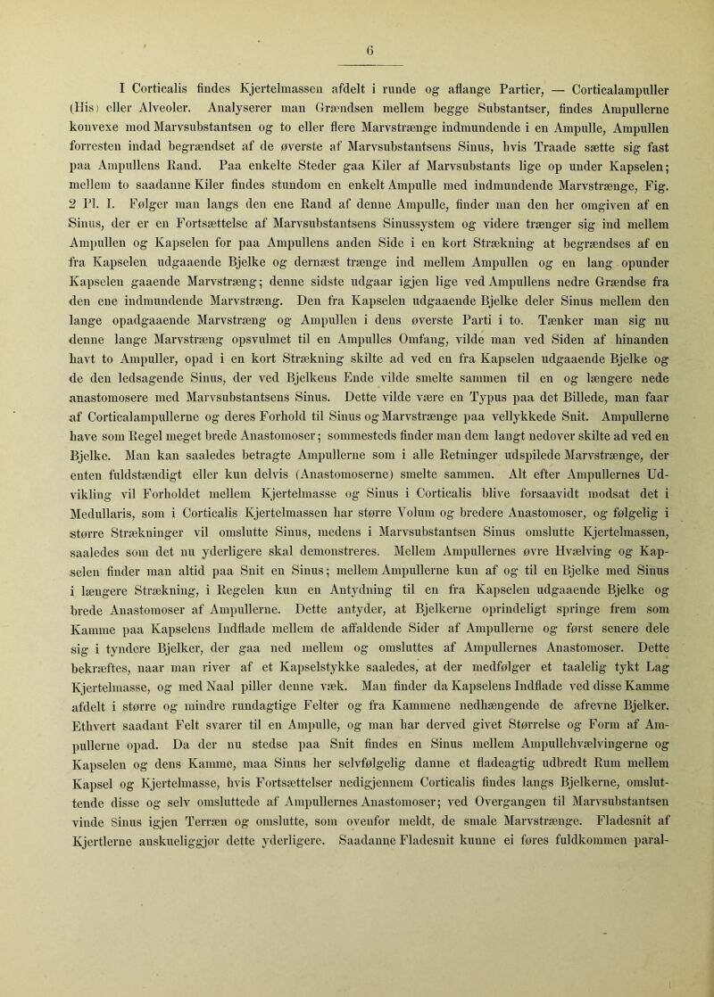 I Corticalis findes Kjertelmassen afdelt i runde og aflange Partier, — Corticalampuller (His) eller Alveoler. Analyserer man Grsondsen mellem begge Substantser, findes Ampullerne konvexe mod Marvsubstantsen og to eller flere Marvstrænge indmundende i en Ampulle, Ampullen forresten indad begrændset af de øverste af Marvsubstantsens Sinus, hvis Traade sætte sig fast paa Ampullens Rand. Paa enkelte Steder gaa Kiler af Marvsubstants lige op under Kapselen; mellem to saadanne Kiler findes stundom en enkelt Ampidle med indmundende Marvstrænge, Fig. 2 PI. I. Følger man langs den ene Rand af denne Ampulle, finder man den her omgiven af en Sinus, der er en Fortsættelse af Marvsubstantsens Sinussystem og videre trænger sig ind mellem Ampullen og Kapselen for paa Ampullens anden Side i en kort Strækning at begrændses af en fra Kapselen udgaaende Bjelke og dernæst trænge ind mellem Ampullen og en lang opunder Kapselen gaaende Marvstræng; denne sidste ndgaar igjen lige ved Ampullens nedre Grændse fra den ene indmundende Marvstræng. Den fra Kapselen udgaaende Bjelke deler Sinus mellem den lange opadgaaende Marvstræng og Ampullen i dens øverste Parti i to. Tænker man sig nu denne lange Marvstræng opsvulmet til en Ampulles Omfang, vilde man ved Siden af hinanden havt to Ampuller, opad i en kort Strækning skilte ad ved en fra Kapselen udgaaende Bjelke og de den ledsagende Sinus, der ved Bjelkens Ende vilde smelte sammen til en og længere nede anastomosere med Marvsubstantsens Sinus. Dette vilde være en Typus paa det Billede, man faar af Corticalampullerne og deres Forhold til Sinus og Marvstrænge paa vellykkede Snit. Ampullerne have som Regel meget brede Anastomoser; sommesteds finder man dem langt nedover skilte ad ved en Bjelke. Man kan saaledes betragte Ampullerne som i alle Retninger udspilede Marvstrænge, der enten fuldstændigt eller kun delvis (Anastomoserne) smelte sammen. Alt efter Ampullernes Ud- vikling vil Forholdet mellem Kjertelmasse og Sinus i Corticalis blive forsaavidt modsat det i Medullaris, som i Corticalis Kjertelmassen har større Volum og bredere Anastomoser, og følgelig i større Strækninger vil omslutte Sinus, medens i Marvsubstantsen Sinus omslutte Kjertelmassen, saaledes som det nu yderligere skal demonstreres. Mellem Ampullernes øvre Hvælving og Kap- selen finder man altid paa Snit en Sinus; mellem Ampullerne kun af og til en Bjelke med Sinus i længere Strækning, i Regelen kun en Antydning til en fra Kapselen udgaaende Bjelke og brede Anastomoser af Ampullerne. Dette antyder, at Bjelkerne oprindeligt springe frem som Kamme paa Kapselens Indflade mellem de affaldende Sider af Ampullerne og først senere dele sig i tyndere Bjelker, der gaa ned mellem og omsluttes af Ampullernes Anastomoser. Dette bekræftes, naar man river af et Kapselstykke saaledes, at der medfølger et taalelig tykt Lag Kjertelmasse, og med Kaal piller denne væk. Man finder da Kapselens Indflade ved disse Kamme afdelt i større og mindre rundagtige Felter og fra Kammene nedhængende de afrevne Bjelker. Ethvert saadant Felt svarer til en Ampulle, og man har derved givet Størrelse og Form af Am- pullerne opad. Da der nu stedse paa Snit findes en Sinus mellem Ampullehvælvingerne og Kapselen og dens Kamme, maa Sinus her selvfølgelig danne et fladeagtig udbredt Rum mellem Kapsel og Kjertelmasse, hvis Fortsættelser nedigjennem Corticalis findes langs Bjelkerne, omslut- tende disse og selv omsluttede af Ampullernes Anastomoser; ved Overgangen til Marvsubstantsen vinde Sinus igjen Terræn og omslutte, som ovenfor meldt, de smale Marvstrænge. Fladesnit af Kjertierne anskueliggjør dette yderligere. Saadanne Fladesnit kunne ei føres fuldkommen paral- 1