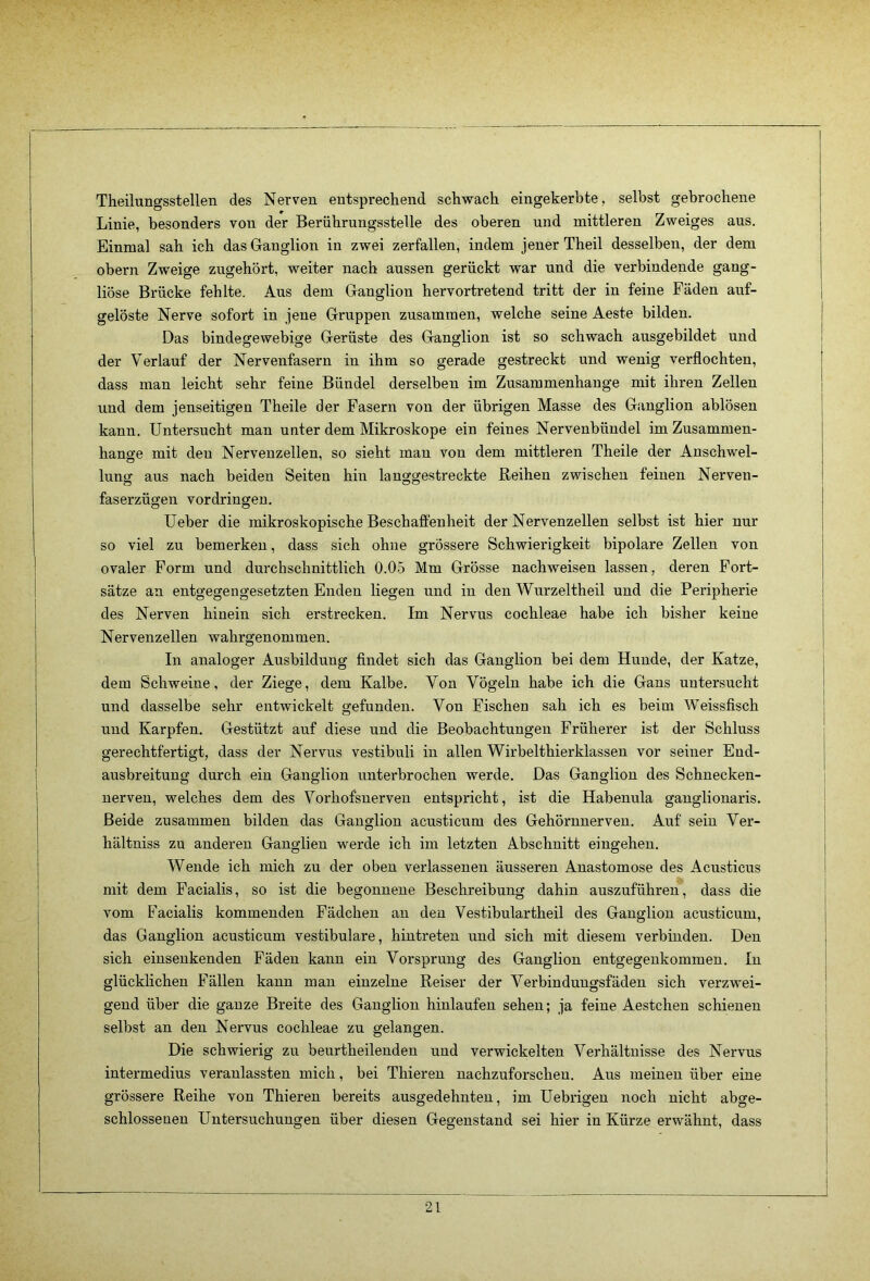 Theilungsstellen des Nerven entsprechend schwach, eingekerbte, selbst gebrochene Linie, besonders von der Berührungsstelle des oberen und mittleren Zweiges aus. Einmal sah ich das G-anglion in zwei zerfallen, indem jener Theil desselben, der dem obern Zweige zugehört, weiter nach aussen gerückt war und die verbindende gang- liöse Brücke fehlte. Aus dem Ganglion hervortretend tritt der in feine Fäden auf- gelöste Nerve sofort in jene Gruppen zusammen, welche seine Aeste bilden. Das bindegewebige Gerüste des Ganglion ist so schwach ausgebildet und der Verlauf der Nervenfasern in ihm so gerade gestreckt und wenig verflochten, dass man leicht sehr feine Bündel derselben im Zusammenhänge mit ihren Zellen und dem jenseitigen Theile der Fasern von der übrigen Masse des Ganglion ablösen kann. Untersucht man unter dem Mikroskope ein feines Nervenbündel im Zusammen- hänge mit den Nervenzellen, so sieht mau von dem mittleren Theile der Anschwel- lung aus nach beiden Seiten hin langgestreckte Reihen zwischen feinen Nerven- faserzügen Vordringen. lieber die mikroskopische Beschaffenheit der Nervenzellen selbst ist hier nur so viel zu bemerken, dass sich ohne grössere Schwierigkeit bipolare Zellen von ovaler Form und durchschnittlich 0.05 Mm Grösse nachweisen lassen, deren Fort- sätze an entgegengesetzten Enden liegen und in den Wurzeltheil und die Peripherie des Nerven hinein sich erstrecken. Im Nervus cochleae habe ich bisher keine Nervenzellen wahrgenommen. In analoger Ausbildung findet sich das Ganglion bei dem Hunde, der Katze, dem Schweine, der Ziege, dem Kalbe. Von Vögeln habe ich die Gans untersucht und dasselbe sehr entwickelt gefunden. Von Fischen sah ich es beim Weissfisch und Karpfen. Gestützt auf diese und die Beobachtungen Früherer ist der Schluss gerechtfertigt, dass der Nervus vestibuli in allen Wirbelthierklassen vor seiner End- ausbreitung durch ein Ganglion unterbrochen werde. Das Ganglion des Schnecken- uerven, welches dem des Vorhofsuerven entspricht, ist die Habenula ganglionaris. Beide zusammen bilden das Ganglion acusticum des Gehörnnerven. Auf sein Ver- hältniss zu anderen Ganglien werde ich im letzten Abschnitt eingehen. Wende ich mich zu der oben verlassenen äusseren Anastomose des Acusticus mit dem Facialis, so ist die begonnene Beschreibung dahin auszuführen, dass die vom Facialis kommenden Fädchen an den Vestibulär theil des Ganglion acusticum, das Ganglion acusticum vestibuläre, hintreten und sich mit diesem verbinden. Den sich einsenkenden Fäden kann ein Vorsprung des Ganglion entgegenkommen. In glücklichen Fällen kann man einzelne Reiser der Verbindungsfäden sich verzwei- gend über die ganze Breite des Ganglion hinlaufen sehen; ja feine Aestchen schienen selbst an den Nervus cochleae zu gelangen. Die schwierig zu beurtheilenden und verwickelten Verhältnisse des Nervus intermedius veranlassten mich, bei Thieren nachzuforscheu. Aus meinen über eine grössere Reihe von Thieren bereits ausgedehnten, im üebrigen noch nicht abge- schlossenen Untersuchungen über diesen Gegenstand sei hier in Kürze erwähnt, dass