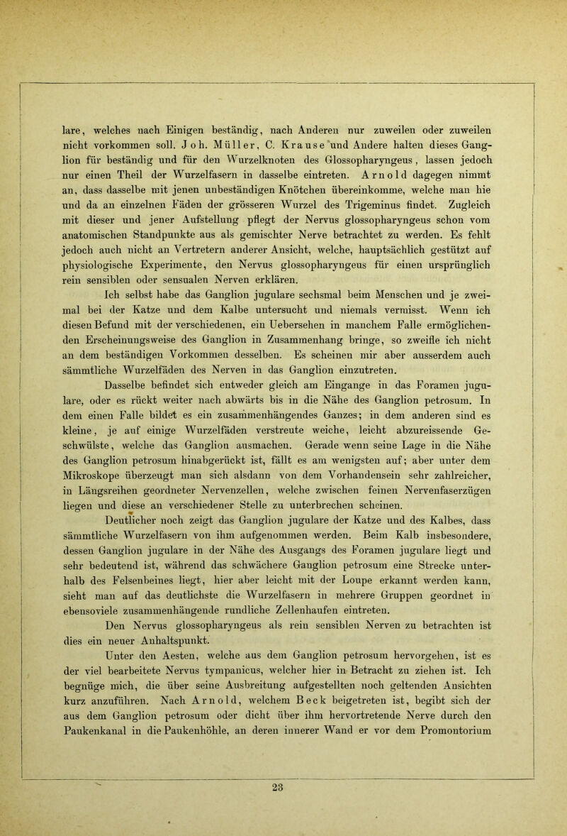 lare, welches nach Einigen beständig, nach Anderen nur zuweilen oder zuweilen nicht Vorkommen soll. Joh. Müller, C. Krause‘und Ändere halten dieses Gang- lion für beständig und für den Wurzelknoten des Glossopharyngeus , lassen jedoch nur einen Theil der Wurzelfasern in dasselbe eintreten. Arnold dagegen nimmt an, dass dasselbe mit jenen unbeständigen Knötchen übereinkomme, welche man hie und da an einzelnen Fäden der grösseren Wurzel des Trigeminus findet. Zugleich mit dieser und jener Aufstellung pflegt der Nervus glossopharyngeus schon vom anatomischen Standpunkte aus als gemischter Nerve betrachtet zu werden. Es fehlt jedoch auch nicht an Vertretern anderer Ansicht, welche, hauptsächlich gestützt auf physiologische Experimente, den Nervus glossopharyngeus für einen ursprünglich rein sensiblen oder sensualen Nerven erklären. Ich selbst habe das Ganglion jugulare sechsmal beim Menschen und je zwei- mal bei der Katze und dem Kalbe untersucht und niemals vermisst. Wenn ich diesen Befund mit der verschiedenen, ein Uebersehen in manchem Falle ermöglichen- den Erscheinungsweise des Ganglioii in Zusammenhang bringe, so zweifle ich nicht an dem beständigen Vorkommen desselben. Es scheinen mir aber ausserdem auch sämmtliche Wurzelfaden des Nerven in das Ganglion einzutreten. Dasselbe befindet sich entweder gleich am Eingänge in das Foramen jugu- lare, oder es rückt weiter nach abwärts bis in die Nähe des Ganglion petrosum. In dem einen Falle bildet es ein zusammenhängendes Ganzes; in dem anderen sind es kleine, je auf einige Wurzelfäden verstreute weiche, leicht abzureissende Ge- schwülste , welche das Ganglion ausmachen. Gerade wenn seine Lage in die Nähe des Ganglion petrosum hinabgerückt ist, fällt es am wenigsten auf; aber unter dem Mikroskope überzeugt man sich alsdann von dem Vorhandensein sehr zahlreicher, in Längsreihen geordneter Nervenzellen, welche zwischen feinen Nervenfaserzügen liegen und diese an verschiedener Stelle zu unterbrechen scheinen. Deutlicher noch zeigt das Ganglion jugulare der Katze und des Kalbes, dass sämmtliche Wurzelfasern von ihm aufgenommen werden. Beim Kalb insbesondere, dessen Ganglion jugulare in der Nähe des Ausgangs des Foramen jugulare liegt und sehr bedeutend ist, während das schwächere Ganglion petrosum eine Strecke unter- halb des Felsenbeines liegt, hier aber leicht mit der Loupe erkannt werden kann, sieht man auf das deutlichste die Wurzelfaseru in mehrere Gruppen geordnet in ebensoviele zusammenhängende rundliche Zellenhaufen eintreten. Den Nervus glossopharyngeus als rein sensiblen Nerven zu betrachten ist dies ein neuer Anhaltspunkt. Unter den Aesten, welche aus dem Ganglion petrosum hervorgehen, ist es der viel bearbeitete Nervus tympanicus, welcher hier in Betracht zu ziehen ist. Ich begnüge mich, die über seine Ausbreitung aufgestellten noch geltenden Ansichten kurz anzuführeu. Nach Arnold, welchem Beck beigetreten ist, begibt sich der aus dem Ganglion petrosum oder dicht über ihm hervortretende Nerve durch den Paukenkanal in die Paukenhöhle, an deren innerer Wand er vor dem Promontorium
