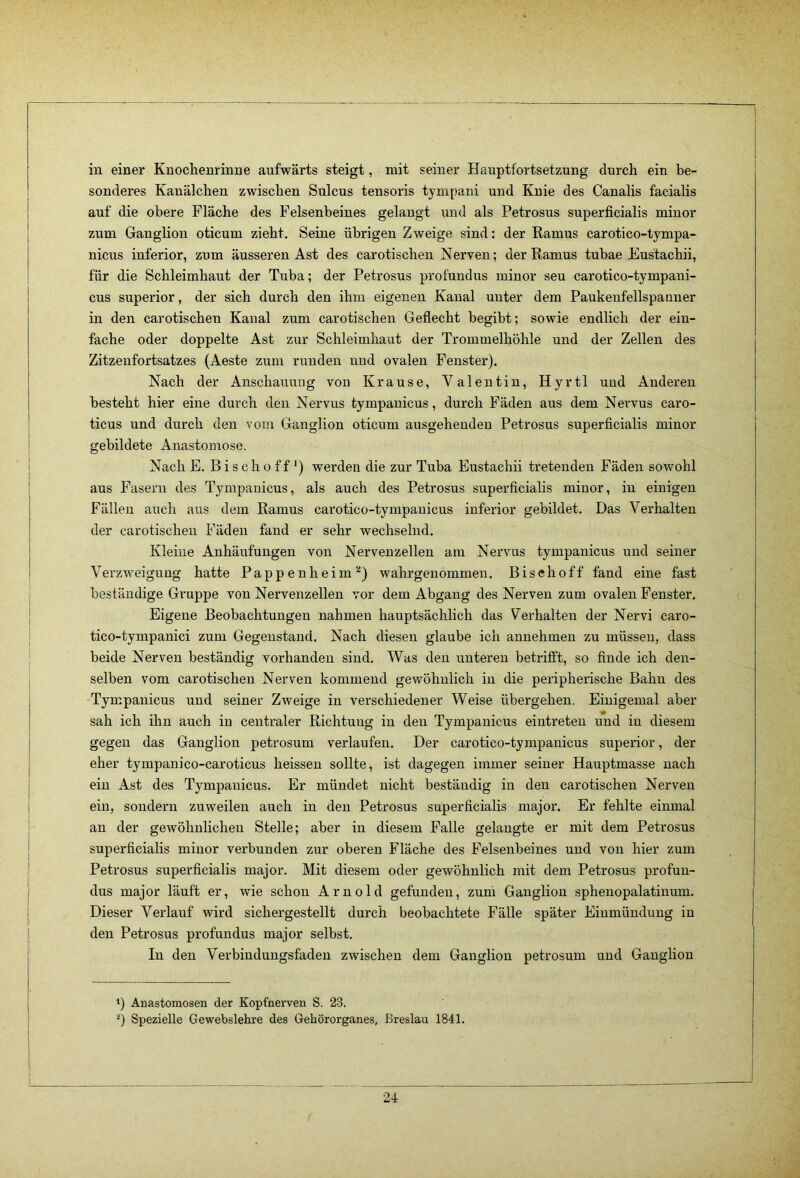 sonderes Kanälchen zwischen Sulcus tensoris tympani und Knie des Canalis facialis auf die obere Fläche des Felsenbeines gelangt und als Petrosus superficialis minor zum Ganglion oticum zieht. Seine übrigen Zweige sind: der Ramus carotico-tympa- nicus inferior, zum äusseren Ast des carotischen Nerven; der Ramus tubae Kustachii, für die Schleimhaut der Tuba; der Petrosus profundus minor seu carotico-tympani- cus Superior, der sich durch den ihm eigenen Kanal unter dem Paukenfellspauner in den carotischen Kanal zum carotischen Geflecht begibt; sowie endlich der ein- fache oder doppelte Ast zur Schleimhaut der Trommelhöhle und der Zellen des Zitzenfortsatzes (Aeste zum runden uud ovalen Fenster). Nach der Anschauung von Krause, Valentin, Hyrtl uud Anderen besteht hier eine durch den Nervus tympanicus, durch Fäden aus dem Nei’vus caro- ticus und durch den vom Ganglion oticum ausgehenden Petrosus superficialis minor gebildete Anastomose. Nach E. B i s c h 0 f f ') werden die zur Tuba Eustachii tretenden Fäden sowohl aus Fasern des Tympanicus, als auch des Petrosus superficialis minor, in einigen Fällen auch aus dem Ramus carotico-tympauicus inferior gebildet. Das Verhalten der carotischen Fäden fand er sehr wechselnd. Kleine Anhäufungen von Nervenzellen am Nervus tympanicus uud seiner Verzweigung hatte Pappenheimwahrgenommen. Bise hoff fand eine fast beständige Gruppe von Nervenzellen vor dem Abgang des Nerven zum ovalen Fenster. Eigene Beobachtungen nahmen hauptsächlich das Verhalten der Nervi caro- tico-tympanici zum Gegenstand. Nach diesen glaube ich annehmeu zu müssen, dass beide Nerven beständig vorhanden sind. Was den unteren betrifft, so finde ich den- selben vom carotischen Nerven kommend gewöhnlich in die peripherische Bahn des Tympanicus uud seiner Zweige in verschiedener Weise übergehen. Einigemal aber sah ich ihn auch in centraler Richtung in den Tympanicus eintreten uud in diesem gegen das Ganglion petrosum verlaufen. Der carotico-tympauicus superior, der eher tympanieo-caroticus heissen sollte, ist dagegen immer seiner Hauptmasse nach ein Ast des Tympanicus. Er mündet nicht beständig in den carotischen Nerven ein, sondern zuweilen auch in den Petrosus superficialis major. Er fehlte einmal an der gewöhnlichen Stelle; aber in diesem Falle gelangte er mit dem Petrosus superficialis minor verbunden zur oberen Fläche des Felsenbeines und von hier zum Petrosus superficialis major. Mit diesem oder gewöhnlich mit dem Petrosus profun- dus major läuft er, wie schon Arnold gefunden, zum Ganglion sphenopalatinum. Dieser Verlauf wird sichergestellt durch beobachtete Fälle später Einmündung in den Petrosus profundus major selbst. In den Verbindungsfaden zwischen dem Ganglion petrosum uud Ganglion 1) Auastomosen der Kopfnerven S. 23. Spezielle Gewebslehre des Gehörorganes, Breslau 1841. 24 i