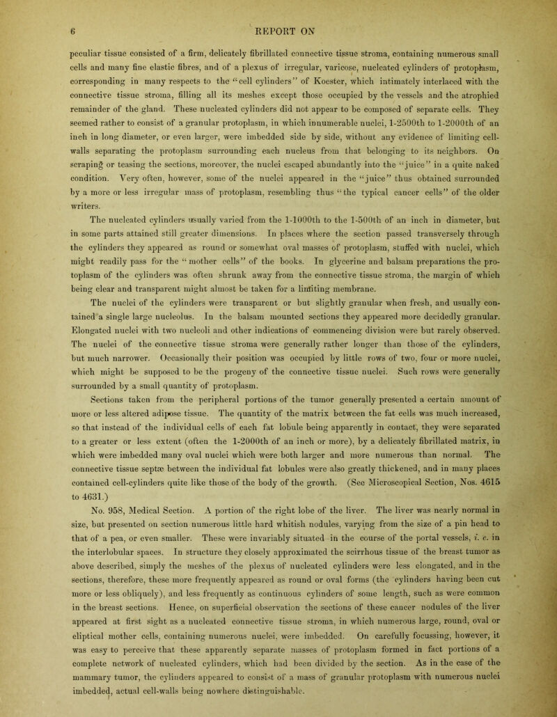 peculiar tissue consisted of a firm, delicately fibrillated connective tissue stroma, containing numerous small cells and many fine elastic fibres, and of a plexus of irregular, varicose, nucleated cylinders of protophsm, corresponding in many respects to the ^‘cell cylinders” of Koester, which intimately interlaced with the connective tissue stroma, filling all its meshes except those occupied by the vessels and the atrophied remainder of the gland. These nucleated cylinders did not appear to be composed of separate cells. They seemed rather to consist of a granular protoplasm, in which innumerable nuclei, l-2500th to l-2000th of an inch in long diameter, or even larger, were imbedded side by side, without any evidence of limiting cell- walls separating the protoplasm surrounding each nucleus from that belonging to its neighbors. On scraping or teasing the sections, moreover, the nuclei escaped abundantly into the “juice” in a quite naked condition. Very often, however, some of the nuclei appeared in the “juice” thus obtained surrounded by a more or less irregular mass of protoplasm, resembling thus “the typical cancer cells” of the older writers. The nucleated cylinders iTSually varied from the 1-lOOOth to the l-500th of an inch in diameter, but in some parts attained still greater dimensions. In places where the section passed transversely through the cylinders they appeared as round or somewhat oval masses of protoplasm, stuffed with nuclei, which might readily pass for the “ mother cells” of the books. In glycerine and balsam preparations the pro- toplasm of the cylinders was often shrunk away from the connective tissue stroma, the margin of which being clear and transparent might almost be taken for a linliting membrane. The nuclei of the cylinders were transparent or but slightly granular when fresh, and usually con- tained a single large nucleolus. In the balsam mounted sections they appeared more decidedly granular. Elongated nuclei with two nucleoli and other indications of commencing division were but rarely observed. The nuclei of the connective tissue stroma were generally rather longer than those of the cylinders, but much narrower. Occasionally their position was occupied by little rows of two, four or more nuclei, which might be supposed to be the progeny of the connective tissue nuclei. Such rows were generally .surrounded by a small quantity of protoplasm. Sections taken from the peripheral portions of the tumor generally presented a certain amount of more or less altered adipose tissue. The quantity of the matrix between the fat cells was much increased, so that instead of the individual cells of each fat lobule being apparently in contact, they were separated to a greater or less extent (often the l-2000th of an inch or more), by a delicately fibrillated matrix, in which were imbedded many oval nuclei which were both larger and more numerous than normal. The connective tissue septae between the individual fat lobules were also greatly thickened, and in many places contained cell-cylinders quite like those of the body of the growth. (See Microscopical Section, Nos. 4615 to 4631.) No. 958, Medical Section. A portion of the right lobe of the liver. The liver was nearly normal in size, but presented on section numerous little hard whitish nodules, varying from the size of a pin head to that of a pea, or even smaller. These were invariably situated in the course of the portal vessels, i. e. in the interlobular spaces. In structure they closely approximated the scirrhous tissue of the breast tumor as above described, simply the meshes of the plexus of nucleated cylinders were less elongated, and in the sections, therefore, these more frequently appeared as round or oval forms (the cylinders having been cut more or less obliquely), and less frequently as continuous cylinders of some length, such as were common in the breast sections. Hence, on superficial observation the sections of these cancer nodules of the liver appeared at first sight as a nucleated connective tissue stroma, in which numerous large, round, oval or eliptical mother cells, containing numerous nuclei, were imbedded. On carefully focussing, however, it was easy to perceive that these apparently separate masses of protoplasm formed in fact portions of a complete network of nucleated cylinders, which had been divided by the section. As in the case of the mammary tumor, the cylinders appeared to consist ol a mass of granular protoplasm with numerous nuclei imbedded, actual cell-walls being nowhere distinguishable.