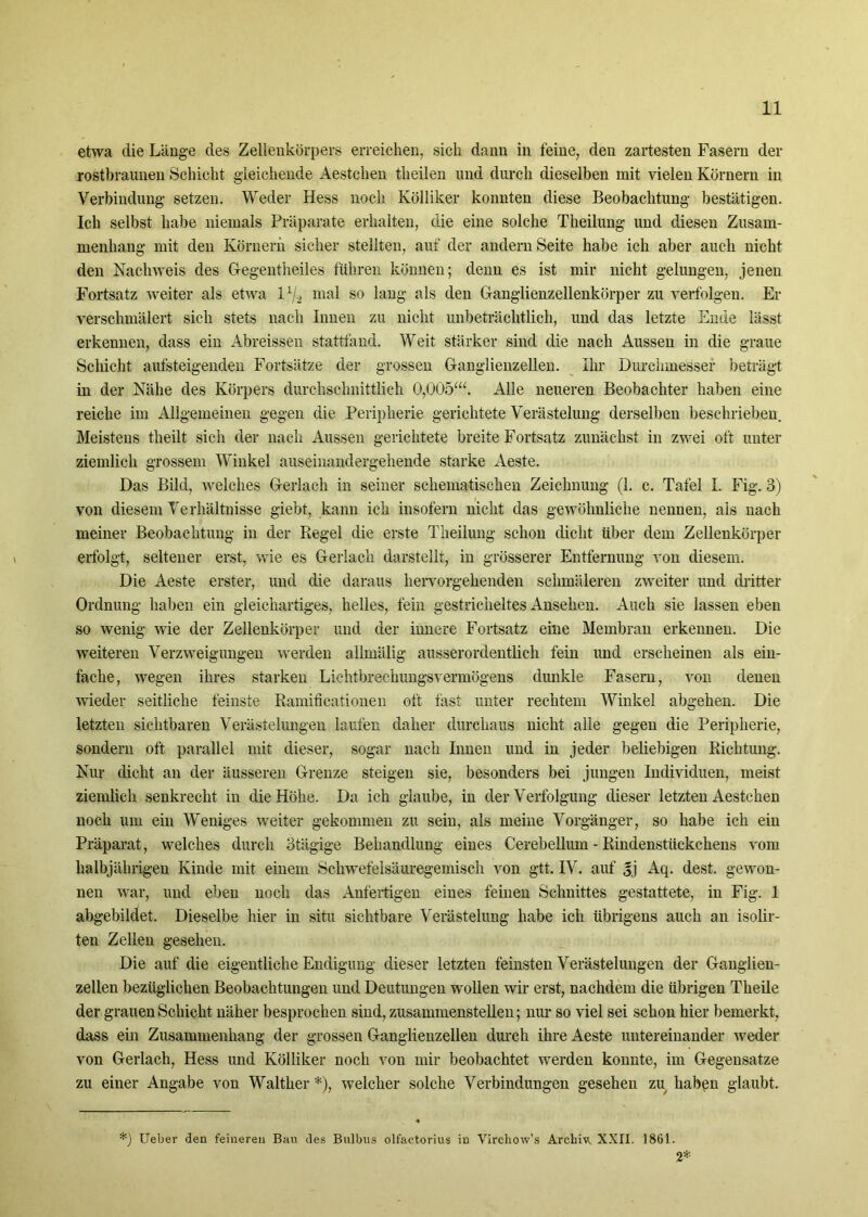 etwa die Länge des Zellenkörpers erreichen, sich dann in feine, den zartesten Fasern der rostbraunen Schicht gleichende Aestchen tlieilen und durch dieselben mit vielen Körnern in Verbindung setzen. Weder Hess noch Kölliker konnten diese Beobachtung bestätigen. Ich selbst habe niemals Präparate erhalten, die eine solche Theilung und diesen Zusam- menhang mit den Körnern sicher stellten, auf der andern Seite habe ich aber auch nicht den Nachweis des Gegentheiles führen können; denn es ist mir nicht gelungen, jenen Fortsatz weiter als etwa llj.2 mal so lang als den Ganglienzellenkörper zu verfolgen. Er verschmälert sich stets nach Innen zu nicht unbeträchtlich, und das letzte Ende lässt erkennen, dass ein Abreissen stattfand. Weit stärker sind die nach Aussen in die graue Schicht aufsteigenden Fortsätze der grossen Ganglienzellen. Ihr Durchmesser beträgt in der Nähe des Körpers durchschnittlich 0,005‘“. Alle neueren Beobachter haben eine reiche im Allgemeinen gegen die Peripherie gerichtete Verästelung derselben beschrieben. Meistens theilt sich der nach Aussen gerichtete breite Fortsatz zunächst in zwei oft unter ziemlich grossem Winkel auseinandergehende starke Aeste. Das Bild, welches Gerlach in seiner schematischen Zeichnung (1. c. Tafel I. Fig. 3) von diesem Verhältnisse giebt, kann ich insofern nicht das gewöhnliche nennen, als nach meiner Beobachtung in der Regel die erste Theilung schon dicht über dem Zellenkörper erfolgt, seltener erst, wie es Gerlach darstellt, in grösserer Entfernung von diesem. Die Aeste erster, und die daraus hervorgehenden schmäleren zweiter und dritter Ordnung haben ein gleichartiges, helles, fein gestricheltes Ansehen. Auch sie lassen eben so wenig wie der Zellenkörper und der innere Fortsatz eine Membran erkennen. Die weiteren Verzweigungen werden allmälig ausserordentlich fein und erscheinen als ein- fache, wegen ihres starken Lichtbrechungsvermögens dunkle Fasern, von denen wieder seitliche feinste Ramificationen oft fast unter rechtem Winkel abgehen. Die letzten sichtbaren Verästelungen laufen daher durchaus nicht alle gegen die Peripherie, sondern oft parallel mit dieser, sogar nach Innen und in jeder beliebigen Richtung. Nur dicht an der äusseren Grenze steigen sie, besonders bei jungen Individuen, meist ziemlich senkrecht in die Höhe. Da ich glaube, in der Verfolgung dieser letzten Aestchen noch um ein Weniges weiter gekommen zu sein, als meine Vorgänger, so habe ich ein Präparat, welches durch 3 tägige Behandlung eines Cerebelliun - Rindenstückchens vom halbjährigen Kinde mit einem Schwefelsäuregemisch von gtt. IV. auf sj Aq. dest. gewon- nen war, und eben noch das Anfertigen eines feinen Schnittes gestattete, in Fig. 1 abgebildet. Dieselbe hier in situ sichtbare Verästelung habe ich übrigens auch an isolir- ten Zellen gesehen. Die auf die eigentliche Endigung dieser letzten feinsten Verästelungen der Ganglien- zellen bezüglichen Beobachtungen und Deutungen wollen wir erst, nachdem die übrigen Theile der grauen Schicht näher besprochen sind, zusammenstellen; nur so viel sei schon hier bemerkt, dass ein Zusammenhang der grossen Ganglienzellen durch ihre Aeste untereinander weder von Gerlach, Hess und Kölliker noch von mir beobachtet werden konnte, im Gegensätze zu einer Angabe von Walther *), welcher solche Verbindungen gesehen zu haben glaubt. *) Ueber den feineren Bau des Bulbus olfactorius in Virchow’s Archiv. XXII. 1861. 2*