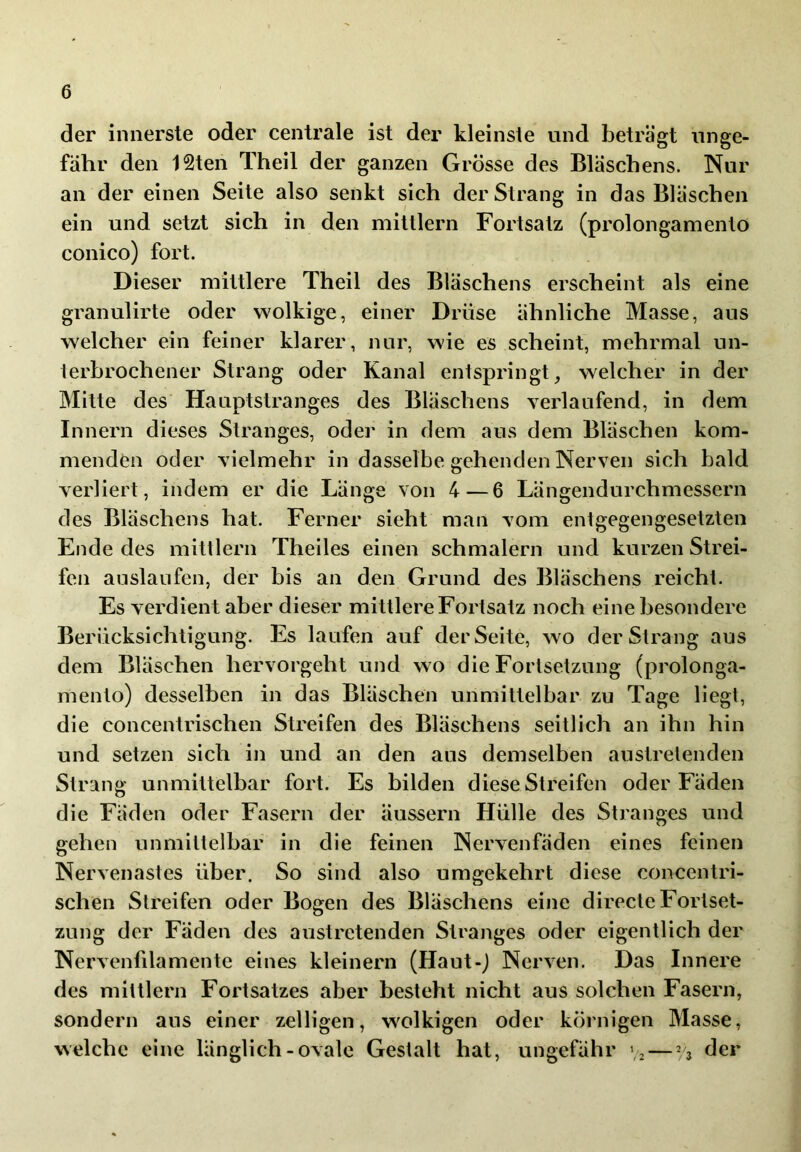 der innerste oder centrale ist der kleinste und beträgt unge- fähr den 12ten Theil der ganzen Grösse des Bläschens. Nur an der einen Seite also senkt sich der Strang in das Bläschen ein und setzt sich in den mittlern Fortsatz (prolongamento conico) fort. Dieser mittlere Theil des Bläschens erscheint als eine granulirte oder wolkige, einer Drüse ähnliche Masse, aus welcher ein feiner klarer, nur, wie es scheint, mehrmal un- lerbrochener Strang oder Kanal entspringt, welcher in der Mitte des Hauptstranges des Bläschens verlaufend, in dem Innern dieses Stranges, oder in dem aus dem Bläschen kom- menden oder vielmehr in dasselbe gehenden Nerven sich bald verliert, indem er die Länge von 4—6 Längendurchmessern des Bläschens hat. Ferner sieht man vom entgegengesetzten Ende des mittlern Theiles einen schmälern und kurzen Strei- fen auslaufen, der bis an den Grund des Bläschens reicht. Es verdient aber dieser mittlere Fortsatz noch eine besondere Berücksichtigung. Es laufen auf der Seite, wo der Strang aus dem Bläschen hervorgeht und wo die Fortsetzung (prolonga- mento) desselben in das Bläschen unmittelbar zu Tage liegt, die concentrischen Streifen des Bläschens seitlich an ihn hin und setzen sich in und an den aus demselben austretenden Strang unmittelbar fort. Es bilden diese Streifen oder Fäden die Fäden oder Fasern der äussern Hülle des Stranges und gehen unmittelbar in die feinen Nervenfäden eines feinen Nervenastes über. So sind also umgekehrt diese concentri- schen Streifen oder Bogen des Bläschens eine directe Fortset- zung der Fäden des austretenden Stranges oder eigentlich der Nervenfilamente eines kleinern (Haut-) Nerven. Das Innere des mittlern Fortsatzes aber besteht nicht aus solchen Fasern, sondern aus einer zelligen, wolkigen oder körnigen Masse, welche eine länglich-ovale Gestalt hat, ungefähr Vz — * 3 der