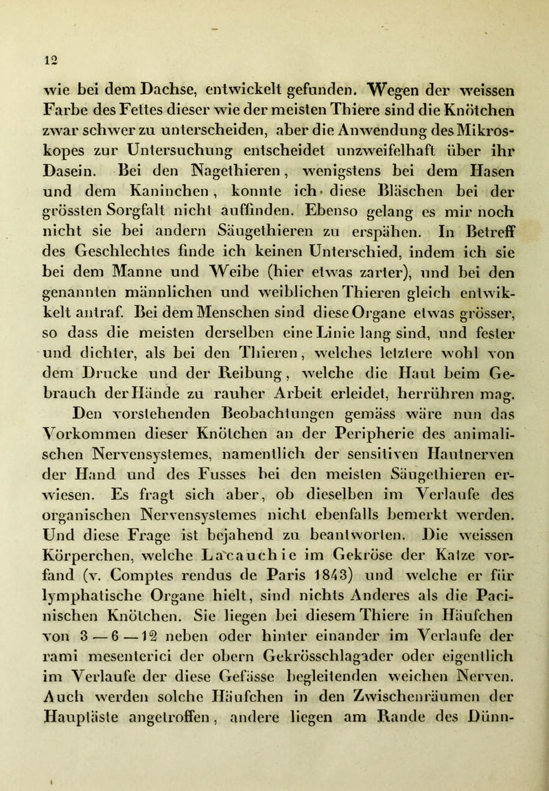 wie bei dem Dachse, entwickelt gefunden. Wegen der w'eissen Farbe des Fettes dieser wie der meisten Thiere sind die Knötchen zwar schwer zu unterscheiden, aber die Anwendung des Mikros- kopes zur Untersuchung entscheidet unzweifelhaft über ihr Dasein. Bei den Nagethieren, wenigstens bei dem Hasen und dem Kaninchen, konnte ich* diese Bläschen bei der grössten Sorgfalt nicht auffinden. Ebenso gelang es mir noch nicht sie bei andern Säugethieren zu erspähen. In Betreff des Geschlechtes finde ich keinen Unterschied, indem ich sie bei dem Manne und Weibe (hier etwas zarter), und bei den genannten männlichen und weiblichen Thieren gleich entwik- kelt antraf. Bei dem Menschen sind diese Oj’gane etwas grösser, so dass die meisten derselben eine Linie lang sind, und fester und dichter, als bei den Thieren, welches letztere wohl von dem Drucke und der Reibung, welche die Haut beim Ge- brauch der Hände zu rauher Arbeit erleidet, herrühren mag. Den vorstehenden Beobachtungen gemäss wäre nun das Vorkommen dieser Knötchen an der Peripherie des animali- schen Nervensystemes, namentlich der sensitiven Hautnerven der Hand und des Fusses bei den meisten Säugethieren er- wiesen. Es fragt sich aber, ob dieselben im Verlaufe des organischen Nervensystemes nicht ebenfalls bemerkt werden. Und d lese Frage ist bejahend zu beantworten. Die weissen Körperchen, welche Lacauchie im Gekröse der Katze vor- fand (v. Comptes rendus de Paris 1843) und welche er für lymphatische Organe hielt, sind nichts Anderes als die Paci- nischen Knötchen. Sie liegen bei diesem Thiere in Häufchen von 3—6—12 neben oder hinter einander im Verlaufe der rami mesenterici der obern Gekrösschlagader oder eigentlich im Verlaufe der diese Gefässe begleitenden weichen Nerven. Auch werden solche Häufchen in den Zwischenräumen der Hauptäste angelroffen, andere liegen am Rande des Dünn- (