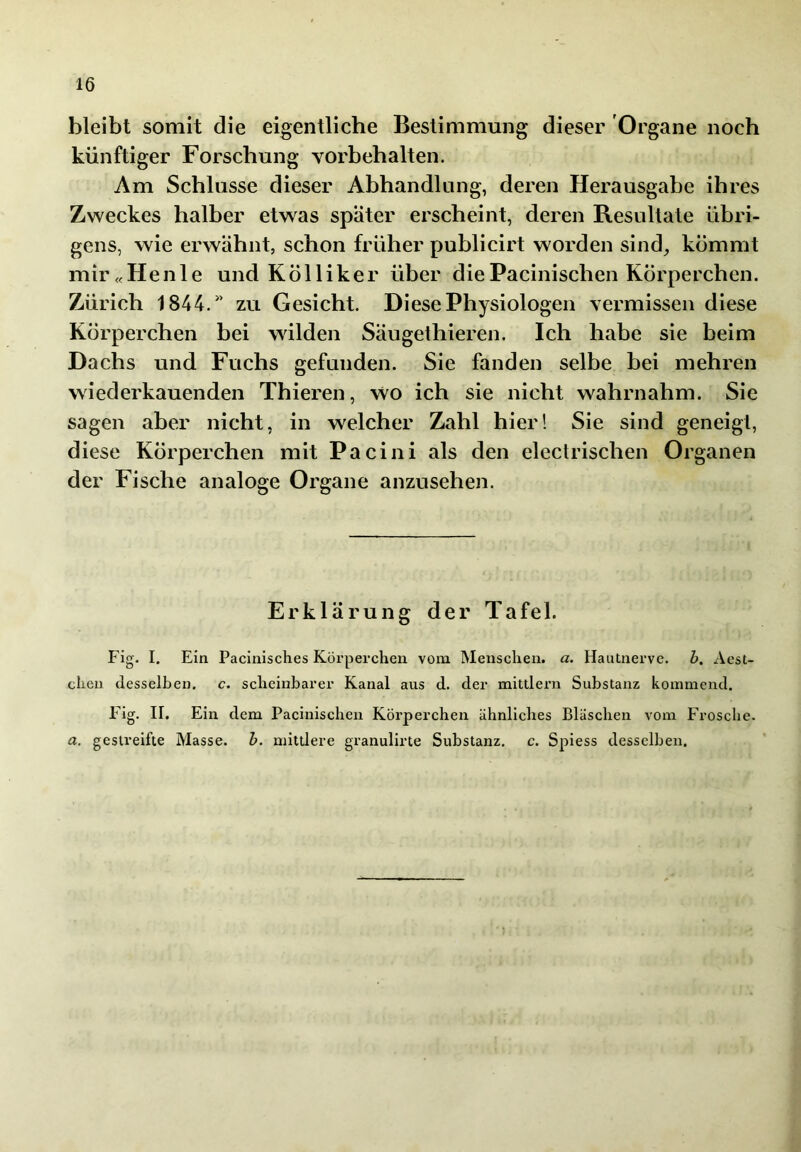 bleibt somit die eigentliche Bestimmung dieser 'Organe noch künftiger Forschung Vorbehalten. Am Schlüsse dieser Abhandlung, deren Herausgabe ihres Zweckes halber etwas später erscheint, deren Resultate übri- gens, wie erwähnt, schon früher publicirt worden sind^ kömmt mir«Henle und Kölliker über diePacinischen Körperchen. Zürich 1844.'' zu Gesicht. Diese Physiologen vermissen diese Körperchen bei wilden Säugelhieren. Ich habe sie beim Dachs und Fuchs gefunden. Sie fanden selbe bei mehren wiederkauenden Thieren, wo ich sie nicht wahrnahm. Sie sagen aber nicht, in welcher Zahl hier! Sie sind geneigt, diese Körperchen mit Pacini als den eleclrischen Organen der Fische analoge Organe anzusehen. Erklärung der Tafel. Fig. I. Ein Pacinisches Körperchen vom Menschen, a. Hautnerve. Z>. Aest- chen desselben, c, scheinbarer Kanal aus d. der mittleni Substanz kommend. Fig. ir. Ein dem Pacinischen Körperchen ähnliches Bläschen vom Frosche. a. gestreifte Masse, h. mittlere granulirte Substanz, c. Spiess desselben.