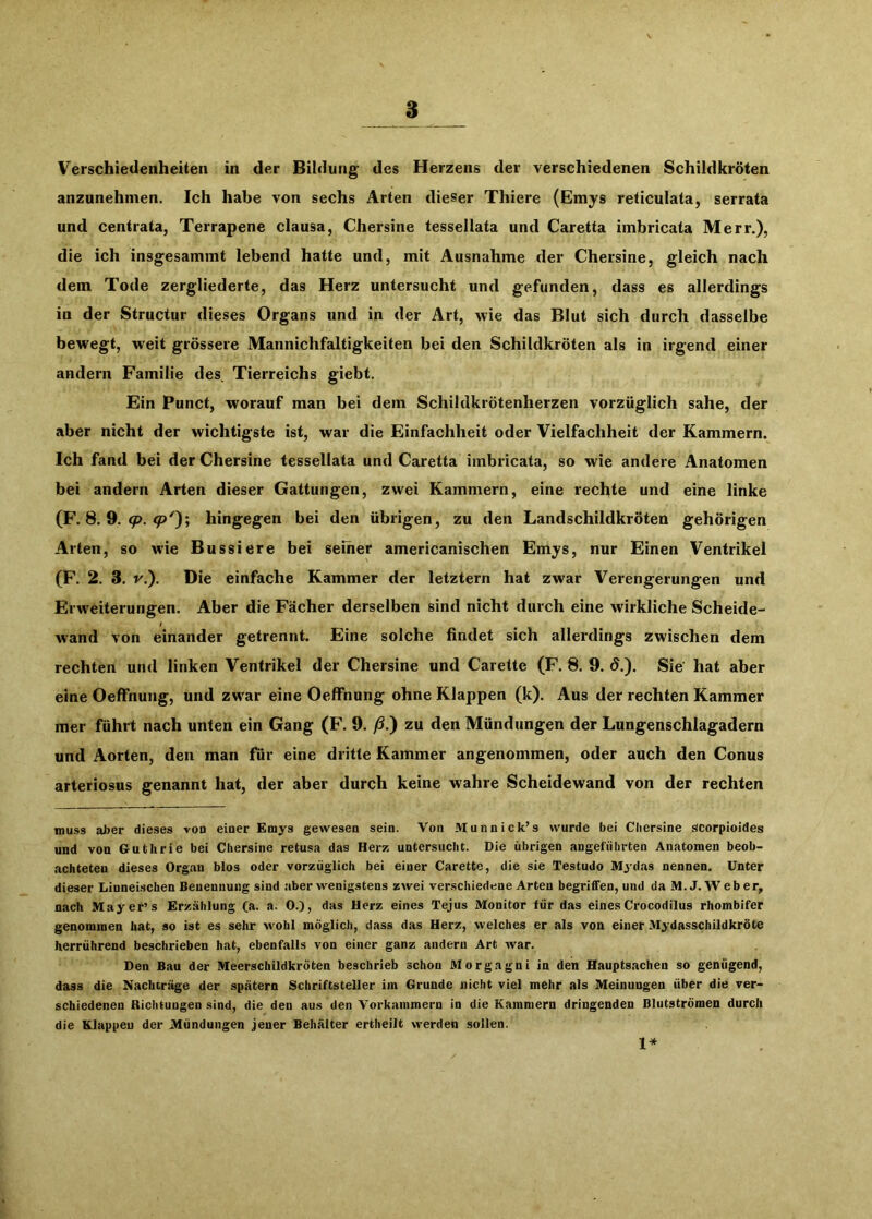 Verschiedenheiten in der Bildung des Herzens der verschiedenen Schildkröten anzunehmen. Ich habe von sechs Arten dieser Thiere (Emys reticulata, serrata und centrata, Terrapene clausa, Chersine tessellata und Caretta imbricata Merr.), die ich insgesammt lebend hatte und, mit Ausnahme der Chersine, gleich nach dem Tode zergliederte, das Herz untersucht und gefunden, dass es allerdings in der Structur dieses Organs und in der Art, wie das Blut sich durch dasselbe bewegt, w'eit grössere Mannichfaltigkeiten bei den Schildkröten als in irgend einer andern Familie des Tierreichs giebt. Ein Punct, worauf man bei dem Schildkrötenherzen vorzüglich sähe, der aber nicht der wichtigste ist, war die Einfachheit oder Vielfachheit der Kammern. Ich fand bei der Chersine tessellata und Caretta imbricata, so wie andere Anatomen bei andern Arten dieser Gattungen, zwei Kammern, eine rechte und eine linke (F. 8. 9. hingegen bei den übrigen, zu den Landschildkröten gehörigen Arten, so wie Bussiere bei seiner americanischen Emys, nur Einen Ventrikel (F. 2. 3. V.). Die einfache Kammer der letztem hat zwar Verengerungen und Erweiterungen. Aber die Fächer derselben sind nicht durch eine Avirkliche Scheide- Avand von einander getrennt. Eine solche findet sich allerdings zwischen dem rechten und linken Ventrikel der Chersine und Carette (F. 8. 9. d.). Sie hat aber eine Oeffnung, und zwar eine Oeffnung ohne Klappen (k). Aus der rechten Kammer mer führt nach unten ein Gang (F. 9. ß.') zu den Mündungen der Lungenschlagadern und Aorten, den man für eine dritte Kammer angenommen, oder auch den Conus arteriosus genannt hat, der aber durch keine wahre Scheidewand von der rechten muss aJjer dieses von einer Emys gewesen sein. Von Munnick’s wurde bei Chersine scorpioides und von Guthrie bei Chersine retusa das Herz untersucht. Die übrigen angeführten Anatomen beob- achteten dieses Organ blos oder vorzüglich bei einer Carette, die sie Testudo Mjdas nennen. Unter dieser Linnei.schen Benennung sind aber wenigstens zwei verschiedene Arten begriffen, und da M. J. AV eher, nach Mayer’s Erzählung (a. a. 0.), das Herz eines Tejus Monitor für das einesCrocodilus rhombifer genommen hat, so ist es sehr wohl möglich, dass das Herz, welches er als von einer Mydasschildkröte herrührend beschrieben hat, ebenfalls von einer ganz andern Art war. Den Bau der Meerschildkröten beschrieb schon Morgagni in den Hauptsachen so genügend, dass die Nachträge der spätem Schriftsteller iin Grunde nicht viel mehr als Meinungen über die ver- schiedenen Richtungen sind, die den aus den Vorkammern in die Kammern dringenden Blutströmen durch die Klappeu der Mündungen jener Behälter ertheilt werden sollen. 1*