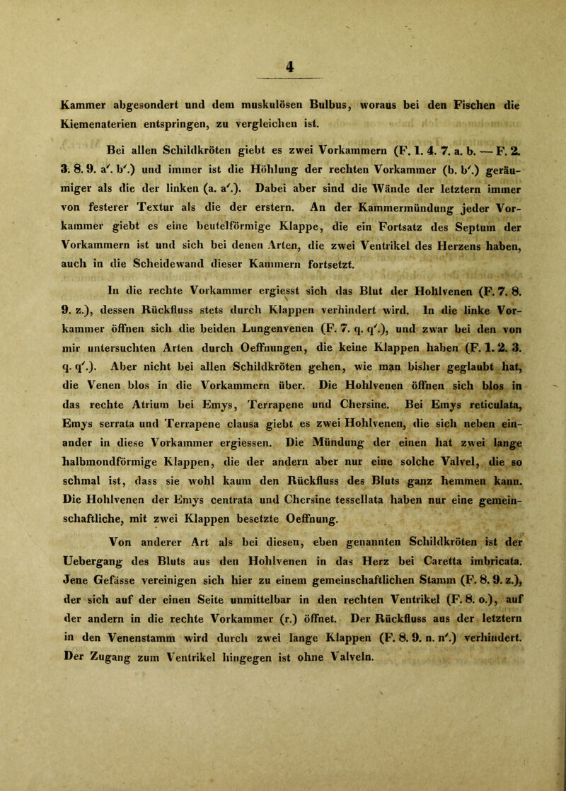 Kammer abgesondert und dem muskulösen Bulbus, woraus bei den Fischen die Kiemenaterien entspringen, zu vergleiclien ist. Bei allen Schildkröten giebt es zwei Vorkammern (F. 1. 4. 7. a. b. — F. 2. 3. 8.9. di\ b'.) und immer ist die Höhlung der rechten Vorkammer (b. b'.) geräu- miger als die der linken (a, a'.). Dabei aber sind die Wände der letztem immer von festerer Textur als die der erstem. An der Kammermündung jeder Vor- kammer giebt es eine beutelförmige Klappe, die ein Fortsatz des Septum der Vorkammern ist und sich bei denen Arten, die zwei Ventrikel des Herzens haben, auch in die Scheidewand dieser Kammern fortsetzt. In die rechte Vorkammer ergiesst sich das Blut der Hohlvenen (F. 7. 8. 9. z.), dessen Rückfluss stets durch Klappen verhindert wird. In die linke Vor- kammer öffnen sich die beiden Lungenvenen (F. 7. q. q'.), und zwar bei den von mir untersuchten Arten durch Oeffnungen, die keine Klappen haben (F. 1.2. 3. q. q'.). Aber nicht bei allen Schildkröten gehen, wie man bisher geglaubt hat, die Venen blos in die Vorkammern über. Die Hohlvenen öffnen sich blos in das rechte Atrium bei Emys, Terrapene und Chersine. Bei Emys reticulata, Emys serrata und Terrapene clausa giebt es zwei Hohlvenen, die sich neben ein- ander in diese Vorkammer ergiessen. Die Mündung der einen hat zwei lange halbmondförmige Klappen, die der andern aber nur eine solche Valvel, die so schmal ist, dass sie wohl kaum den Rückfluss des Bluts ganz hemmen kann. Die Hohlvenen der Emys centrata und Chersine tessellata haben nur eine gemein- schaftliche, mit zwei Klappen besetzte Oeffnung. Von anderer Art als bei diesen, eben genannten Schildkröten ist der Uebergang des Bluts aus den Hohlvenen in das Herz bei Caretta imbricata. Jene Gefässe vereinigen sich hier zu einem gemeinschaftlichen Stamm (F. 8.9. z.), der sich auf der einen Seite unmittelbar in den rechten Ventrikel (F. 8. o.), auf der andern in die rechte Vorkammer (r.) öflfnet. Der Rückfluss aus der letztem in den Venenstamm wird durch zwei lange Klappen (F. 8.9. n. n'.) verhindert. Der Zugang zum Ventrikel hingegen ist ohne Valveln.