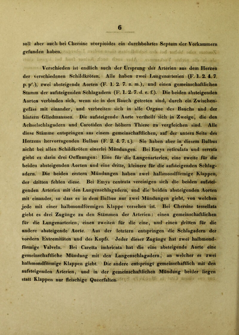 soll aber auch bei Chersine scorpioides ein durchbohrtes Septum der Vorkammern gefunden haben. Verschieden ist endlich auch der Ursprung der Arterien aus dem Herzen der verschiedenen Schildkröten. Alle haben zwei Lungenarterien (F. 1. 2. 4. 7. p. p'.), zwei absteigende Aorten (F. 1. 2. 7. n. m.), und einen gemeinschaftlichen Stamm der aufsteigenden Schlagadern (F. 1. 2. 7. d. e. f.). Die beiden absteigenden Aorten verbinden sich, wenn sie in den Bauch getreten sind, durch ein Zwischen- gefäss mit einander, und verbreiten sich in alle Organe des Bauchs und der hintern Gliedmaassen. Die aufsteigende Aorte vertheilt sich in Zweige, die den Achselschlagadern und Carotiden der höhern Thiere zu vergleichen sind. Alle \ diese Stämme entspringen aus einem gemeinschaftlichen, auf der untern Seite des Herzens hervorragenden Bulbus (F. 2. 4. 7. t.). Sie haben aber in diesem Bulbus m nicht bei allen Schildkröten einerlei Mündungen. Bei Emys reticulata und serrata giebt es darin drei OefFnungen: Eine für die Lungenarterien, eine zweite für die beiden absteigenden Aorten und eine dritte, kleinere für die aufsteigenden Schlag- adern. Die beiden erstem Mündungen haben zwei halbmondförmige Klappen, der dritten fehlen diese. Bei Emj's centrata vereinigen sich die beiden aufstei- genden Arterien mit den Lungenschlagadern, und die beiden absteigenden Aorten mit einander, so dass es in dem Bulbus nur zw^ei Mündungen giebt, von welchen jede mit einer halbmondförmigen Klappe versehen ist. Bei Chersine tessellata giebt es drei Zugänge zu den Stämmen der Arterien: einen gemeinschaftlichen für die Lungenarterien, einen zweiten für die eine, und einen dfihen für die andere absteigende Aorte. Aus der letztem entspringen die Schlagadern der vordem Extremitäten und des Kopfs. Jeder dieser Zugänge hat zwei halbmond- förmige Valveln. Bei Caretta imbricata hat die eine absteigende Aorte eine gemeinschaftliche Mündung mit den Lungenschlagadern, an welcher es zwei halbmondförmige Klappen giebt. Die andere entspringt gemeinschaftlich mit den aufsteigenden Arterien, und in der gemeinschaftlichen Mündung beider liegen statt Klappen nur fleischige Qiieerfalten.