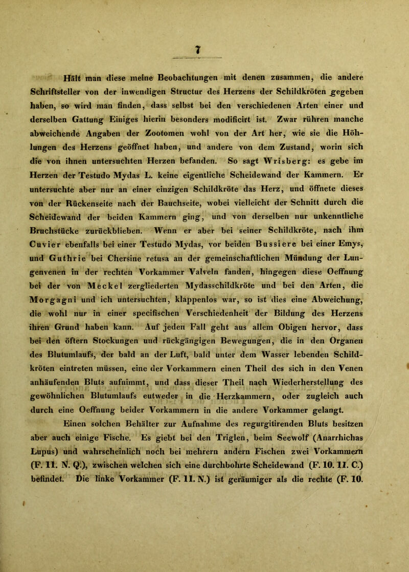 T Halt man diese meine Beobachtungen mit denen zusammen, die andere Schriftsteller von der inwendigen Structur des Herzens der Schildkröten gegeben haben, so wird man finden, dass selbst bei den verschiedenen Arten einer und derselben Gattung Einiges hierin besonders modificitt ist. Zwar rühren manche abweichende Angaben der Zootomen wohl von der Art her, w'ie sie die Höh- lungen des Herzens geöffnet haben, und andere von dem Zustand, w^orin sich die von ihnen untersuchten Herzen befanden. So sagt Wrisberg: es gebe im Herzen der Testudo Mydas L. keine eigentliche Scheidewand der Kammern. Er untersuchte aber nur an einer einzigen Schildkröte das Herz, und öffnete dieses von der Rückenseite nach der Bauchseite, wobei vielleicht der Schnitt durch die Scheidewand der beiden Kammern ging, und Von derselben nur unkenntliche Bruchstücke zurückblieben. Wenn er aber bei seiner Schildkröte, nach ihm Cuvier ebenfalls bei einer Testudo Mydas, vor beiden Bussiere bei einer Emys, und Guthrie bei Chersine retusa an der gemeinschaftlichen Mündung der Lun- genvenen in der rechten Vorkammer Valveln fanden, hingegen diese Oeffnung bei der von Meckel zergliederten Mydasschildkröte und bei den Arten, die Morgagni und ich untersuchten, klappenlos war, so ist dies eine Abweichung, die wohl nur in einer specifischen Verschiedenheit der Bildung des Herzens ihren Grund haben kann. Auf jeden Fall geht aus allem Obigen hervor, dass bei den öftern Stockungen und rückgängigen Bewegungen, die in den Organen des Blutumlaufs, der bald an der Luft, bald unter dem Wasser lebenden Schild- kröten eintreten müssen, eine der Vorkammern einen Theil des sich in den Venen anhäufenden Bluts aufnimmt, und dass dieser Theil nach Wiederherstellung des gewöhnlichen Blutumlaufs eutweder in die' Herzkammern, oder zugleich auch durch eine Oeffnung beider Vorkammern in die andere Vorkammer gelangt. Einen solchen Behälter zur Aufnahme des regurgitirenden Bluts besitzen aber auch einige Fische. Es giebt bei den Triglen, beim Seewolf (Anarrhichas Lupus) und wahrscheinlich noch bei raehrern andern Fischen zwei Vorkammern (F. 11. N. Ql), zwischen welchen sich eine durchbohrte Scheidewand (F. 10.11. C.)